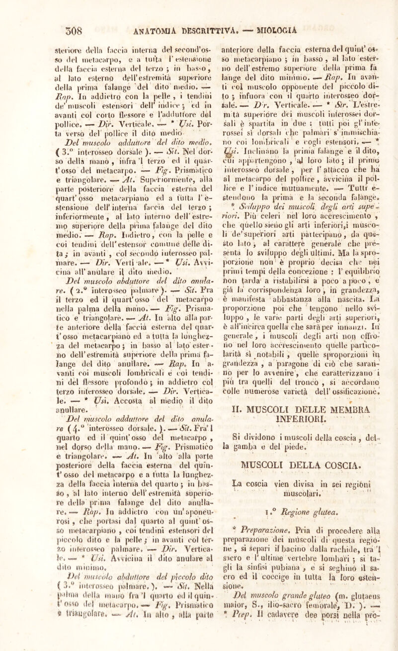 sto'iot’tì della faccia interna del second’os- so del nietacarpo, a a tui'ta 1’ estensione della faccia esterna dej ter/o ; in basso ^ al lato e&ternp dell’estremità sii|ieriore della prima falange del dito niedio, Jìoff. In addietro con la pelle , i tendini de’muscoli estensori deir indice I ed in avanti col corto flessore e radduliore dèi pollice, — Dir. AViticale, * Por- la verso del' pollice il dito medio Del muscolo adduliore del dito medio, ( 3.“ interdsseo dorsale ). — Sit. INeldor- so della manò , iiifia ’l tèrzo ed il quàr- l’osso del metacarpo. • Fig. Prismatico e triangolare. — Àt. Superiormente, alla parte posteriore de)la faccia esterna del quart’óssò metacarpiaub ed a tùlta l’è- stensioue dell' intei iia faccia del terzo ; inferiormente, al lato interno dell estre- mo superiore della prima falange del dito medio. — Rap. Indietro, con la pelle e coi tendini deirestensdr comune delle di- la in avanti , col secondò interosseo pal- mare.— Dir. Yeill ale.—* f/^/. Avvi- cina air anulare i^ dito liiedio. Del muscolo abduttore del dito anula- re. (2,® interosseo palmare). —^ Sit. Fra il terzo ed il quart’osso del metacarpo nella palma della mono.— Fig. Prisma- tico e triaugolaré. •— Al, In alto alla par- ie anteriore della faccia esterna del quar- l’osso metacarpianò ed a tutta la lunghez- za del metacarpo j in basso al iato’ester - no dell’estremità superiore della prima fa- lange del dito anullare. — Rap^ In a- vanti eoi muscoli lombricali e coi tendi- ni del flessore profondò j in addietro còl terzo interosseo dorsale, —- Dir. Vertica- le. — * Us\, Accosta al medio il dito anullare. Del muscolo adduttore del dito anula- re ( 4-** iutt^> Òsseo dorsale. ) .— AlV. Fra’1 quarto ed il quint’osso del metacarpo, nel dorso della mano Fg. Prismatico e triangolare. — At. In alto alla parie posteriore della faccia esterna del quia- t’ osso del metacarpo e a tutta la lunghez- za della faccia interna del quarto ; in bas- so , al lato interno dell’estremità superio- re della prima falange del dito anuHa- re,—» Rap, in addietro con un’aponeu- rosi , che portasi da) quarto al quiut’os- so metacarpianò , coi lendini estensori del piccolo dito e la pelle,* in avanti col tèi’’ to interosseo palmare, — Dir, Vertica- le,* Usi. Avvicina il dito anulare al dito minimo, Dei muscolo abduttore del piccolo dito ( interasseo palmare,), «A/A J^ella palma della roano fra’l quarto ed il quia» l'osso del metacarpo, Fg, Prismatico ® triangolare» At» In alto j, alla parla anteriore della faccia esterna del quinl' os® so metacarpianò ; in bassò , al lato ester» no dell’estremo superiore della prima fa lange del dito mininio. — Rap, In avan- ti col muscolo opponente del piccolo di- to 5 i'nfuora con il quarto interosseo dor- sale.—1 Dr, Verticale. —- * Str. F'estie- rnità superiore dèi muscoli Inìerossei dor- sali è spartita in due i tutti poi grinte- rosse! sì dorsali epe palmàri s’ immiiicbia- no coi lombricali e cogli estensori,—-* I^ù. Inclinàno la prinia falange e il dito, cui appartengono ,’id loro iato j il primo interosseò dorsale, per l’attacco che ha al metacarpo del pollice , avvicina il pòl- lice e l’indice 'mutuamente. — Tutti' e- gtendono la prima e la seconda falange, ^ Sviluppo dei muscoli degli arti supei^ riori. Più celeri nel loro accrescimento , che quello siedo gli arti inferióri,! musco- li de’supei’iori arti pàitecipano, da que- sto lato j al caràttere generale che pré- sénta lo sviluppo degli ultimi. Ma la spro- porzione non è proprio decisa che nei primi tempi delia concezione ; 1’equilibrio non larda'a i istabilii’si a poco a poco , e’ già la' corrispondenza loro j in grandezza, è manifesta abbastanza alla nàscita. La proporzione pòi che tengono nello svi- luppo , le varie parli degli arti superiori, è all’incirca quella che sarà per Innanzi. Li generale, i muscoli degli arti noi) offro- no nel loro accrescimento cjuelle partico- larità sì notabili , quelle sproporzioni fu grandezza , a paragone di ciò che saraii- lìò per Io avvenire, che caratterizzano i più tra quelli del troncò , si accordano colle numeróse varietà dell’ossifìcazionè,’ IL MUSCOLI DELLE MEMBRA INFERIORI. Si dividono i muscoli della coscia , del- la gamba e del piede, MUSCOLI DELLA COSCIA. Da coscia vien divisa in sei regioni muscolari. i 0° Regione glutea. * Preparazione, Pria di procedere alla preparazione dei mùscoli di questa regió- ne, si separi il bacino dalla rachide, Irà '! sacro e l’ultime vertebre lombari 5 si ta-> gli la sinfisi pubiana , e si seghino il sa- cro ed U coccige in tutta la foro esten- sione. Del muscolo grande gluteo (m. gìntaeus maior, S., ilio-sacro'femòraleVD. )'. •— ! Piep» Il cadavere dee porsi nella prò-