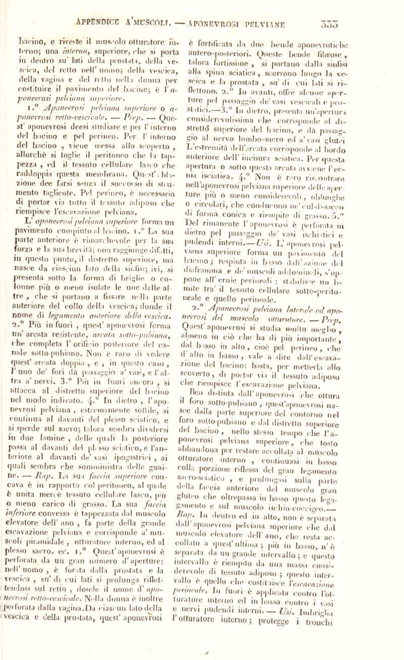 Lacino, e riveste il muscolo oHiiralore in- feriio; una interna, supci iore, che si porla in (lenirò sn’ tali della piostata, della ve- scica, del l'elio nell' uonioj della vescica, della vagina e del rcllo nella donna per cosliluire il pavrmeulo del bacins; è Ta- poneerasi pehiana superiore. I Aponevrosi pelviana superiore o a- -poneerosi rctto-vesa'cale. — Prep. — Que- st’ aponevrosi deesi sludiare e per l’interno del bacino e pel perineo. Per 1’ uilerno del bacino , viene messa allo scojìcrlo , allorché si toglie il peritoneo che la tap- pezza , ed il tessuto cellulare Insto che raddoppia questa membrana. Qurst’abli- zione dee farsi senza il soccoiso di stiu- mento tagliente. Pel perineo, è necessario di portar via lutto il tessuto adiposo che riempisce rescavazione pelviana. L’ aponevrosi pelviana superiore forma un pavimento compiuto al barino, i La sua parte anteriore è r'unarrh'cvole per la sua forza e la sua breviljq non raggiungedib,iti, in questo punto, il (ìistretto supcriore, ma nasce da eiasriun lato della siidis:* ivi, si presenta sotto la forma di briglie o co- lonne più o meno isolate le une dalle al tre , che si portano a fissare m Ha parie anteriore del eolio della vescicaj donde il nome di legamento anteriore della vescica. 2.® Più in fuori , quest’ aponevrosi forma Un’ arcata resistente, arcata sotfo-pul/iana, che completa 1’ orifiiùo posteriore del ca- nale solto-pnhiano. Non è raro di vedere quest’ arcata doppia , e , in cpicsto caso , l'uno de’ fori dà passaggio a’vasi, e l’al- tra a’ nervi. 3.° Piti in fuori ancora , si attacca al distretto superiore del bacino nel modo indicato. In dietro , l’apo- nevrosi [lelviana , estieinamente sottile, si continua al davanti del plesso sciatico, e si sperde sul sacro; talora sendira dividersi in due lamine , delle quali la posteriore passa al davanti del jd, sso S(‘iiitieo, e l’an- teriore al davanti de’ vasi ipogastrici , ai quali sembra che somministra delle guai- me. — Jlap. La sua faccia superiore con- cava è in rapporto col peritoneo, al quale è unita meiaè tessuto eellulare lasco, più o meno carico di grasso. La sua faccia inferiore convessa è tappezzala dal muscolo elevatore dell’ ano , fa parte della grande escavazione pelviana e corrisponde a’ mu- scoli piramidale, otturatore iiilerno, ed al plesso sacro, ec. i.'^ Quest’aponevrosi è perlorata da un gran numero d’aperture: Dell’ uomo , è forata dalla prostata e la vescica , su’ di cui lati si prolunga riflet- leiidosi sul rollo , donde il nome d’ apo- nevrosi retto-vescicale. Nella donna è inoltre perforala dalla vagina.Da ciasi uu lato della vescica c della prostata, quest’ aponevrosi è fortificata da due heiide aponevrotiehe antero-postenori. Queste heirde fibrose, talora fortissime , si portano dalla siniìsi alla spina sciatica , scorrono hing(* la ve- scica e fa prostata , su’ di cui lati si ri- flettono. 2.° In avanti, ofFre hIcuhc aper- ture pel passaggio de’vasi veseieali e jiro- st;ilici.—3.® In dietro, presenta uii’aporluri considerevolissima che corrisjioiide al di- stretf(5 superiore del bacino, e dà passag- gio a! nervo lomlio-sacro ed a’vasi glutei L estremità deIJ’arcala cori'isponde al Ì>ordo anterioie dell’ iiieisura sciasicM. Per (juesta apertura o sotto questa arcata avviene l’er- nia isciafiea. Non è raro riscontrare neH’aponevrosi pelviana superiore delle aper- ture più o meno coiisideievoli , ohlungbe o circolari, che coiidueoiu) n.e'cu1-<1ks;icco di forma conica e riempite di grasso, ó.” Del rimanente l’aponevrosi è |ierfoi-ala lu dietro pel passaggio de’ vasi ischialiei c fjudeiidi interni.— Usi. L’aponev rosi jiel- viana superiore forma un pavimento del haemo; respinta in bisso dairazloue dei diaframma e de muscoli addominali, >’op- jxme all’ernie perineali : slabilis 'e un li- milo tra il tessuto eellulare sotlc-perilo- neale e quello perineale. ’2. Apanevrosi pelviana interni e od apo- nevrosi elei muscolo otturatore. —Prep, Quest’aponevrosi si studia molto meglio, almeno in ciò (he ha di più importante, da! b isso in allo , cioè pel perineo , elio fl’ abo in liasso , vale a dire dall'escava- 2ione del bacino: basta, per metterla allo seoverto, di poitar via il tessuto adiposo che riempisce I escavazione pelviana. fìeii distinta dall’aponevrosi che ottura d foro solto-pubiaiio , (jtmsl’apoiievrosi na- sce dalla parte superiore del eoiitomo nel foro sollo-pnbiano e dal distretto siqierìore del bacino, nello stesso tempo che l’a- ponevrosi pelviana superiore, elle tosto abbandona per l estare aei oliata al musi'olo otturatore interno , continuasi in basso rolla porzione riflessa del gran legamento saero-seialico , e prolungasi sulla parte teda faccia anteriore del muscolo gran g uteo che oltivpassa in basso (juesio ìcm- gamento e sul muscolo isebio-coccigeo.- .^(7/z. Ili dentro ed in alto, non è separata dall’aponevrosi pelviana superiore che dal muscolo elevatore dell’ano, che resta ac- collalo a quest’ultima ; più in basso, n’è separata da un grande intervallo ; e questo intervallo h riempito da una massa eoiisi- derevole di tessuto adiposo ; qiu'sio inler- vallo è quello che costituisce Vesravazione permeale. In fuori è applicala contro l’ol- turalore inlenio ed in basso contro i vasi 0 nervi pudendi interni. — Imbriglia 1 ollui atore iulerno ; protegge i troiicbs