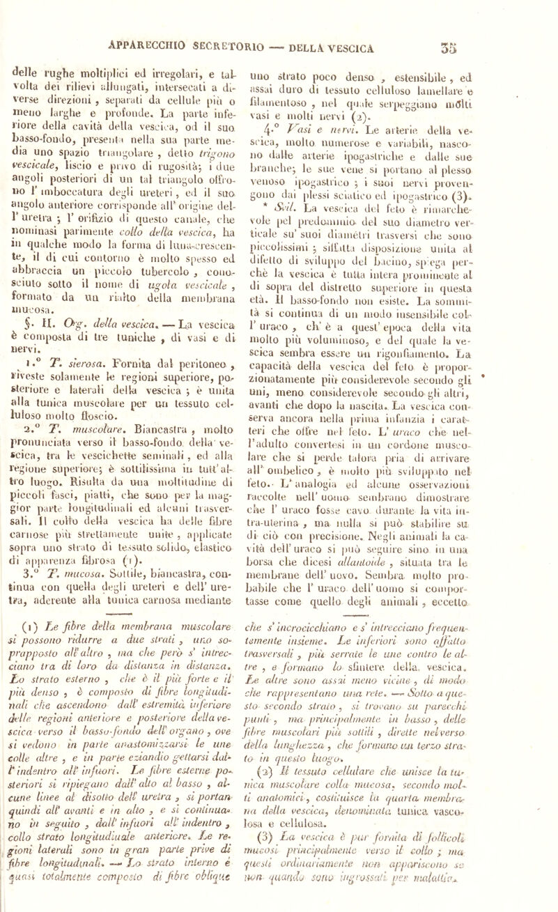 delle rughe moltiplici ed inegolaii, e tal- volta dei rilievi aliliiigali, intersecali a di- verse direzioni , separali da cellule più o meno larghe e profonde. La parte infe- riore della cavità della vescica, od il suo basso-fondo, presenta nella sua parte me- dia uno spazio triangolare , dello trigona vescicale, liscio e privo di rugosità*, i due angoli posteriori di un tal triangolo offro- i>o r imboccatura degli ureteri, ed il suo angolo anteriore corrisponde alb origine del- r uretra *, 1’orifuio di questo canale, che nominasi parimente colio delta vescica, ha in qualche modo la forma di luna-crescen- te, il di cui contorno è mollo spesso ed abbraccia un piccolo tubercolo , cono- sciuto sotto il nome di ugola vescicale , formato da un rialto della membrana mucosa. §• II. 0;g. della vescica^ — La vescica è composta di tre tuniche , di vasi e di nervi. IT. sierosa. Fornita dal peritoneo , riveste solamente le regioui superiore, por steriore e laterali della vescica ; è unita alla tunica muscolare per un tessuto cel- luloso molto floscio. 2. *^ T*. muscolare. Biancastra , molto pronunciata verso il basso-fondo della' ve- scica, tra le vescichette seminali , ed alla regione superiore^ è sottilissima iu luti’al- tro luogo. Risulta da una moltiludiiie di piccoli fasci, piatti, ciie sono per la mag- gior parte lougitm-liiiali ed alcuni trasver- sali. 11 collo delia vescica ha delle fibre carnose pm streltaineute unite , applicate sopra uno strato di tessuto solida, elastico di apparenza fibrosa (i). 3. *^ T. mucosa. Sottile, biancastra, con- tinua con quella degli uieleri e dell’ ure- tra, aderente alla tunica carnosa mediante (i) Le fibre della membrana muscolare si possono ridurre a due strati , uno S0‘ prappaslo all’ altro , ma che pera s' intrec- ciano ira di loro da distanza in distanza. Lo strato esterno , che è il più forte e il' pia denso , è composto di fibre lonpuudi- nali che ascendono dall’ estremità inferiore delle regioni anteiiore e posteriore della ve- scica verso il basso-fondo deli’organo , ove si vedono in parte anastoniiz^zarsi le une colle altre , e in parte eziandio gettarsi dal- t indentro all’ infuori. Le fibre esterne po- steriori si ripiegano da’d' allo al basso , al- cune linee al disotto dell' uretra , si portati quindi all' avanti e in alio , e sì conlinua» no in seguito , dall’ infuori ali' Indentro , collo strato longiiudiuale anteriore. Le re- gioni laterali sono in gran parie prive di fibre longitudinali. — Lo sitato interno è quasi totalmente composto di fibre oblique uno strato poco denso , estensibile , ed assai duro di tessuto celluloso lamellare e filamentoso , nel quale serpeggiano inditi vasi e molti nervi (2). 4-° Vasi e nervi. Le arterie della \e* scica, molto numerose e variabili, nasco- no dalle arterie ipogastriche e dalle sue braachej le sue vene si portano al plesso venoso ipogastrico ; i suoi nervi proven- gono dai plessi sciatico ed i[)Ogastrico (3). * S^'il. La vescica del feto è rimarche- vole [lel piedonuuio. del suo diametro ver- ticale su’ suoi diaméti i trasversi che sono pii'colissimi j silfalta disposizione unita al difetto di svilup[io del bacino, sp ega per-* chè la vescica è tutta intera promiueute al di sopra del disti etto superiore in «juesla età. Il basso-londo uoa esiste. La sommi- là si coulinua di un modo insensibile coL 1’uraco , eh’è a quest’epoca della vita mollo più voluminoso, e del quale la ve- scica sembra essere un rigonfiamento. La capacità della vescica del feto è propor- zionatamente più considerevole secondo gli uni, meno considerevole secondo gli altri, avanti che dopo la nascila. La vescica con- serva ancora nella prima infanzia i carat- teri che olfre nel feto. L’ uraco che nel- l’adulto convertesi in un cordone musco- lare che si perde talora pria di arrivare air omiielico , è molto più sviluppato nel telo.- L’analogia ed ulcune osservazioni raccolte nell’ uomo sembrano dimostrare che r uraco fosse cavo durante lu vita iii- tra-uterina , ma nulla si può stabilire su. di ciò con precisione. Negli ammali la ca- vità dell’uraco si può seguire sino in una borsa che dicesi ullaiUoide , situala tra le membrane dell’ uovo. Sembra, molto pro- babile che r uraco deir uomo si compor- tasse come quello degli animali , eccetto che s’incrocicchiano e s’ intrecciano frequen- temente insieme. Le inferiori sono ciffluia trasversali , più serrate le une contro le al- tre , 0 fortnano lo sfiulere della, vescica. Le altre sono assai meno vicine , di modo che rappresentano una rete. *—Sotto a que- sto secondo strato , si trovano su parecchi punti , ma priucipalinenlc in basso , delle fibre muscolari più solidi , dirette nel verso della lunghezza , che Jormano un terzo stra- to in questo luogo. (3) Il tessuto cellulare che unisce la tu- rfica muscolare colla mucosa, secondo mol- ti anatomici, costituisce la quarta membra- ìia della vescica, denominala tunica vasco- losa e cellulosa. (3) La ves cica ò pur fornita di follicoli mucosi pnnclpaimenlc verso il collo ; ma questi ordinariamente non appariscono se noti- quando sono ingrossali, per rnalattiu...