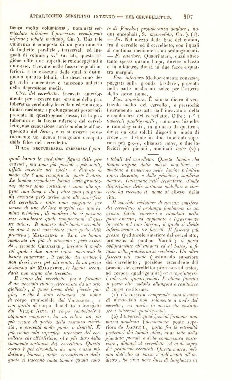 Denza molto voluminosa , nominata ver- tnicolure inferiore ( processus vermiformìs inferior ; lobulo mediano, Ch. ). Una tale eminenza è composta di un gran numero di foglielle parallele , trasversali ed ine guali di volume ; a.® sui lati, questa re- gione ofifre due supeifii:ie roloudeggianli e convesse, ricevute nelle fosse occipitali in feriori, e in ciascuna delle quali s; distili guoiio quattro lobuli, che descrivono de- gli archi concentrici e finiscono indietro nella depressione media. Ciré, del cervelletto. Incavata aulei ior- meute per ricevere una |)or7Ìone della pro- tuberanza cerebrale,che colla medesima con- tinuasi mediante i prolungamenti posteriori: presenta in questo senso islesso, tra la pro- tuberanza e la l'accia inferiore del cervel- letto, una escavazione corrispondante all’ac- quedotto del Sivìo , e vi si osserva posU:- i’iormente un incavo triangolare occupalo dalla falce del cervelletto. Della, pbotuberanza cerebrale ( ijualì hanno la medesirna figura delle pre- cedenti , ma sono più picciofe , più sottili, aff atto nascoste nei solchi , e. disposte in modo che /’ una ricuopre. in parte t altra. Le lamine secondarie hanno varia grandez- za; alcune sono cortissime e. sono alte ap- pena una linea o due; altre sono più gran- di', nessuna però arriva sino alla superficie del cervelletto : tutte sono congiunte per mezzo di uno de loro margini con una la • mina primitiva , di maniera che si possono esse considerare (juali ramifivazioni di (que- ste ultime. Il numero delle, (amine seconda- 7'ie non è così consistente come (ptello delle prirnirive ; Malacarne e Reil ne hanno numerate sin più di ottocento : però essen- do , secondo Chaussier , inesatto il modo col quale i due autori sopra mentovali le hanno enumerate , il calcolo dei medesimi non deesl avere pel più esalto. In un pazzo sezionato da Malacarne, le lamine secon- dane non erano che trecento. Il centro del cervelletto poi è formalo d’ un nocciolo elittico, circoscritto da un orlo gialliccio , il quale forma delle piccole pie- ghe, e che è stato chiamato col nome di corpo romboidale dal Vieussens , e con quello di corpo dentei filo o fiMugiato dal Vicg-o’ Azyr. Il corpo romboidale è alquanto compresso, ha un colore un pò più oscuro di quello della sostanza cineri- zia , e presenta molte punte o dentelli. E più vicino alla superficie superiore, del cer- velletto che all’inferiore, ed è più duro della rimanente sostanza del cervelletto. Questo corpo è poi circondato da una massa mi- doUare , bianca , dada circonferenza della quale si staccano tante lamine quanti sono te di Earolio; protuberanza anulare , no- dus encephali , S. mesocefalo, Cu. ). (j). •— Su. Nel mezzo della base del cranio, fra il cervello ed il cervelletto, con i quali si continua mediante i suoi prolungamenti. —' F. esteriore. Quadrilatera, quasi altret- tanto spessa quanto larga, diletta in basso e in addietro, divisa in due facce e quat- tro margini. Fac. inferiore. Mediocremente convessa, poggiala sulla gronda basilare ; presenta nella parte media uu solco per l’arteria dello stesso nome. Fac. superiore. È situata dietro il ven- tricolo medio del cervello , e pressoché iuterameute nascosta dall’ incavatura della circoufeieuza del cei veilelto. Olfre ; ii tubercoli guadrigemelli , emiiieuze bianche e rotondeggianti , in numero di quattro , divise da due solchi disposti a modo di croce , e distinte iu due tubercoli supe- riori più grossi, chiamali nates, e due in- feriori più piccoli , nominati testes (2) ; i [oblili del cervelletto. Queste lamine che hanno origine dalla massa midollare, si dividono e penetrano nelle lamine primitive sopra descritte, e dalle primitive, suddivise, ancora, s’internano nelle secondarie. Simile disposizione delle sostanze midollare e cìne- rizia ha ricevuto il nome di albero della vita. Il nocciolo midollare eh ciascun emisfero del cervelletto si prolunga fincdinente in un grosso fitscio convesso e ntondato nella parte esterna, ed appianato e leggermente incavalo nel lato interno, il quale, si divide inferiormente, in tre fasceltL LI fuicetto più grosso (peduncolo anteriore del cervellettoj processus ad poalem Yurolii ) si porta obliquamente all' Innanzi ed al basso, e fi- nisce nella protuberanza cerebrale. Un altro fascetta più sottile (peduncolo supcriore del cervelletto ; porzione ascendente del braccio del.cervelletto; processus ad testes, ad corpora qpadrigemina) va a raggiungere i tubercoli (juadrigeinlin. L’ ultimo fasr.etto SI porla alla midolla allungata e costituisce il corpo le'.lit’oi'me. (i) Chaussier comprende sotto il nome di mesocef.ilo non solamente il nodo dei cervello , na anche la massa che costitui- sce i tubercoli quadugemiiii. fi) 1 tubercoli quadrigemini formano una massa quadrata ( denonnaaia ponte supe- riore da Lauth ) , posta fra le estremità posteriori dei talami ottici, al di sotto della gianduia pineale e della commessura poste- riore , dinanzi ai cervelletto ed al di sopra dei peduncoli cerebrali. Questa massa, obli- qua dall'alto al basso e dall’avanti all' in- dietro , ha circa nove linee di luniihezza su