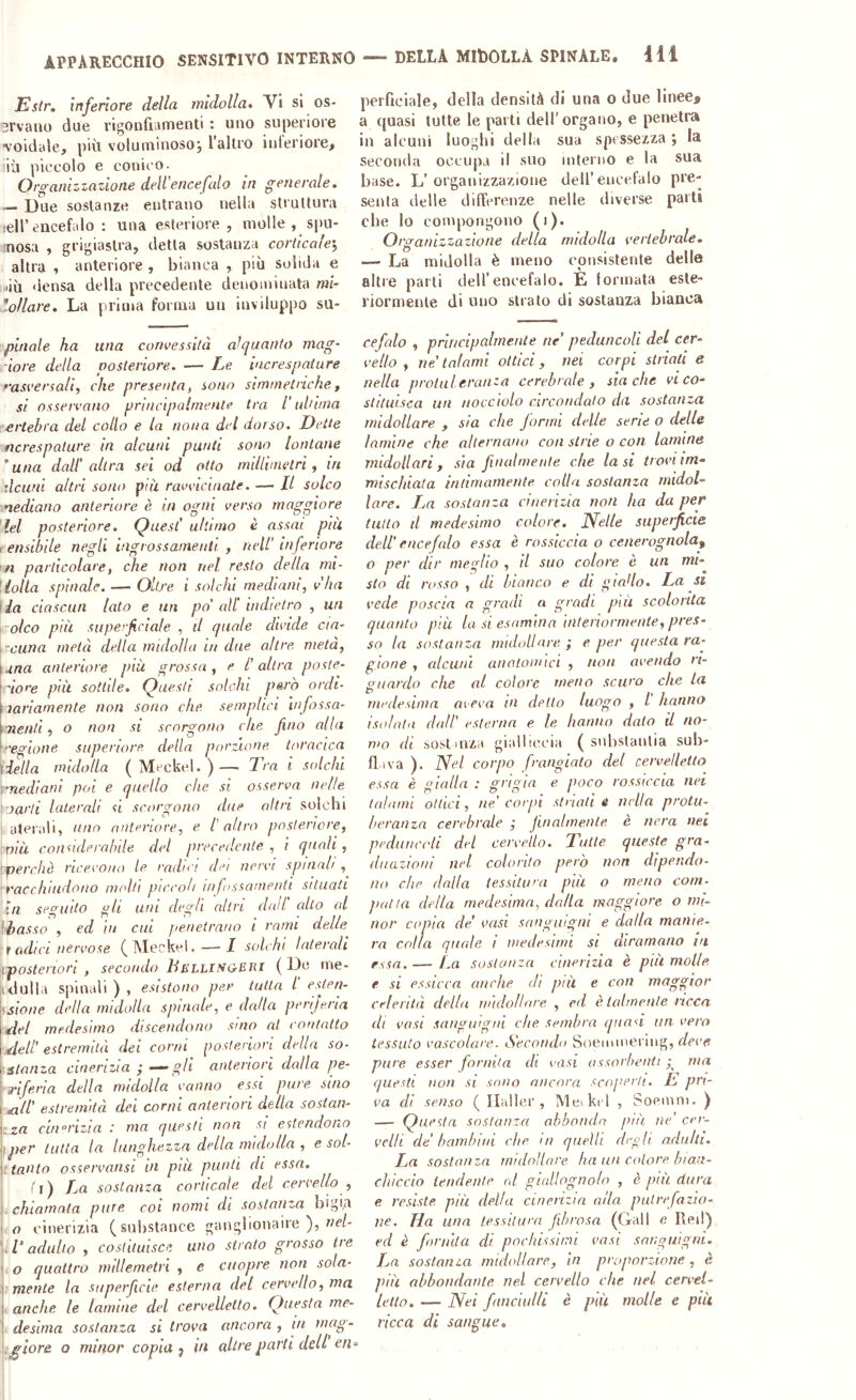 Estr. inferiore della midolla» Vi si os- srvano due rigonfiamenti : uno superiore voidale, più voluminosoj l’altro interiore, ili piccolo e conico. Organizzazione dell’encefalo in generale. — Due sostanze entrano nella struttura leirencefalo : una esteriore, molle, spu- mosa , grigiastra, detta sostanza corticale'.^ altra , anteriore , bianca , più solida e liù <lensa della precedente denominata mì- 'l.oHare. La prima forma un inviluppo su- pinale ha una convessità alquanto mag- ■iore della posteriore. — Le increspature •'aspersali, che presenta^ sono simmetrichef sì osservano principalmente tra Ì uh ima ertebra del colio e la nona del dorso. Dette ticrespature in alcuni punti sono lontane ‘una dall’altra sei od otto millvnelri ^ in deuni altri sono più ravvicinate. — Il solco nediano anteriore è in ogni verso maggiore lei posteriore. Quest' ultimo è assai più t ensibile negli ingrossamenti , nell’ inferiore n particolare, che non nel resto della mi- Lolla spinale. — Oltre i solchi mediani, v’ha \ia ciascun lato e un po' all' indietro , un coleo più superficiale , il quale divide eia- \-cuna metà della midolla in due altre metà, \4na anteriore più grossa, e l’altra poste- t dorè più sottile. Questi solchi p^rò ardi- \variamente non sono che semplici infossa- \7ìenti, o non si scorgono che fino alla \egione superiore, della porzione toracica jiella midolla ( Meckel. )—■ Tra i solchi [mediani poi e quello che si osserva nelle ìoarti laterali d scorgono due altri solchi uterali, uno anteriore, e l’altro posteriore, nià considerabile del precedente , i quali, 'perché ricevono le rndn'i dei nervi spinali , racchiudono molti piccoli infossamenti situati in seguilo gli uni degli altri dad. alto al Lasso , ed in cui penetrano i rami delle T adici nervose ( Meckel. — I solchi laterali \posteriort , secondo TliLLlSQEHi ( De rne- idulla spinali ) , esistono per tutta I ssione della midolla spinale, e dalla periferia del medesimo discendono sino al contatto [dell’ estremità dei corni posteriori della so- [stanza cinerizia ; — anteriori dalla pe- ' ri feria della midolla vanno essi pure sino rill’ estremità dei corni anteriori della sostan- zza cui°rizia ma questi non si estendono ]per tutta la lunghezza della midolla , e sol- K tanto osservatisi in più punti di essa. > 'l) La sostanza corticale del cervello , I chiamata pure coi nomi di sostanza bigi,a |, o cinerizia (substance ganglionaire ), we/- ]■. l’adulto , costituisce uno strato grosso ire o quattro mlllernetri , c cuopre non sola- \ mente la superficie esterna del cervello, ma < anche le lamine del cervelletto. Questa me- desima sostanza si trova ancora , in mag- ,^ior& o minor copia ^ in altre parti dell ^n^ perficiale, della densità di una o due lìnee# a quasi tutte le parti dell’organo, e penetra in alcuni luoghi della sua spessezza ; la seconda occupa il suo interno e la sua base. L’organizzazione dell’encefalo pre- senta delle differenze nelle diverse parti che lo compongono (i). Organizzazione della midolla vertebrale. — La midolla è meno consistente delle altre parti dell’encefalo. È formata este- riormente di uno strato di sostanza bianca cefalo , prifjcipalrnente ne’ peduncoli dei cer- vello , ne talami ottici, nei corpi striati e nella prolaleranza cerebrale, sia che vi co- stituisca un nocciolo circondato da sostanza midollare , sia che formi delle serie o delle lamine che alternano con strie o con lamine midollari, sia finalmente che la si trovi im- mischiata intimamente colla sostanza midol- lare. L.a sostanza cinerizia non ha da per tutto il medesimo colore. Nelle superficie dell’ encefalo essa è rossiccia o cenerognola^ o per dir meglio , il suo colore è un mi-^ sto di rosso , di bianco e di f^iado. La si vede poscia a gradi a gradi più scolorita quanto più la si esamina 'interiormente, pres- so la sostanza midollare. ; e per questa ra- gione , alcuni anatomici , non avendo ri- guardo che al colore meno scuro che la medesima aveva in detto luogo , l hanno isolata dall' esterna e le hanno dato il no- mo di sostmza gialliccia ( subslanlia sub- flava ). Nel corpo frangiato del cervelletto essa è pialla : e poco rossiccia nei talami ottici, ne' corpi striati £ nella protu- beranza cerebrale ; finalmente, è nera nei pediincrli del cervello. Tutte queste gra- duazioni nel colorito però non dipendo- no che dalla tessitura più o meno coni- fiotta delta medesima, dalla maggiore o mi- nor copia de' vasi sanguigni e dalla manie- ra colla quale i medesimi si diramano hi essa. — La sostanza einerizia è più molle e si essicca anche di più e con maggior celerità della midollare , ed è talmente ricca di vasi sanguigni che. sembra (filasi un vero tessuto vascolare. Secondo Soeminering, deve pure esser fornita di vasi assorbenti ma questi non si sono ancora scoperti. L pri- va di senso ( Ilaller , Meikel , Soemni. ) — Questa sostanza abbonda /mi ne’ cer- velli de bambù a che ni quelli deph adulti. LjO sostanza midollare ha un colore bian- chiccio tendente ed. giallognolo , è più dura e resiste più della cinerizia aita putrefazio- ne. Ha una tessitura fibrosa (Gali e Reil) ed è fornita di pochissimi vasi sanguigni. IjU sostanza midollare, in proporzione, è più abbondante nel cervello che nel cervel- letto. — Nei fanciulli è più molte e più ricca di sangue.