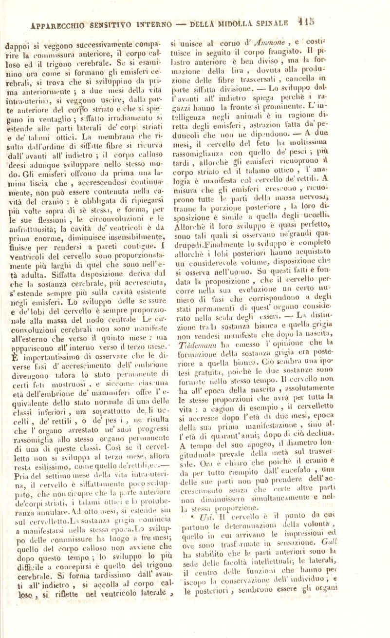 IPPÀRECCHIO SENSITIVO INTERNO — dappoi si veggono successivamente compa- rire la coiiimissura anteriore, il corpo cal- loso ed il trigono cerebrale. Se si esaiui- lìino ora come si formano gli eiiiisleii ce- rebrali, si trova che si sviluppino da pri- ma anteriormente , a ilue mesi della vita intra-ulei'iiia, si veggono uscire, dalla par- te anteriore del corjfo striato e che si spie- gano in ventaglio ; s;lFaUo irradiamento si estende alle parti laterali de corpi striati e de talami ottici- La membrana che ri- sulta daH’ordine di silTatte fibre si ricurva dall’avanti all’indietro ; il corpo calloso deesi adunque sviluppare nello stesso mo- do. Gli emisferi olirono da prima una la- mina liscia che , accrescendosi continua- mente, non può essere contenuta nella ca- vità del cranio : è obbligala di ripiegarsi ])iìi volte sopra di sè stessa, e forma, per le sue flessioni , le circonvolu/.ioni e le anfrattuosita-, la cavità de’ ventricoli è da prima enorme, diminuisce insensibilmente, finisce per rendersi a pareti contigue. 1 ventricoli del cervello sono proporzionata- mente più larghi di quel che sono nell e- tà adulta. Siffatta disposizione deriva dal che la sostanza cerebrale, più accresciuta, s’ estende sempre più sulla cavità esistente negli emisferi. Lo sviluppo delle se ssure e de’lobi del cervello è sempre proporzio- nale alla massa del nodo centrale Le cir- convoluzioni cerebrali non sono manifeste all’esterno che verso il quinto mese ; ma appariscono all’interno verso il terzo mese-’ È importantissimo di osservare che le di- verse fasi d’ accrescimento dell’ embrione divengono talora lo stato permunente ili certi feti mostruosi , e siccome ciascuna età dell’embrione de’ mammiferi offre 1’ e- quivalente dello stato normale di una delle classi inferiori , ufa soprattutto de, li uc- celli , de’ rettili , o de’ pes i , uè risulta che 1’ organo arrestalo ue’ suoi progressi rassomiglia allo stesso organo permanente di una di queste classi. Così se d ceivel* letto non si sviluppa al terzo mese, allora resta esilissimo, come quello ile’reUÌIi,ec.— Pria del sellimome.se della vita iulra-uteii- na, il cervello è siffattamente poco svilup- pato, elle non r.icopre che la p o le anteriore de’coipi striati, i talami ottici e la protulae- ranza aunnlare.Ad otto mesi, si estende sm sul cervclletto.L i sostanza grigia coiuiucia a manifestarsi nella stessa ejioca.Lo svilup- po delle commi ssure ha luogo a tre mesi; quello del corpo calloso uoji avviene che dopo questo tempo ’, lo sviluppo lo più difficile a eoiieepirsi è quello del trigono cerebrale. Si forma tardissimo dall avau- |i all’ indietro , si accolla al corpo cal ^so , si rifluite nel ventricolo laterale j si unisce al corno d’ ^dinmofìe , e costi- tuisce in seguito il corpo frangiato. Il pi- lastro anteriore è bea diviso , ma la fot- mazione della lira , dovuta alla produ- zione delle fibre trasversali , cancella in parte siffatta divisione.-—Lo sviluppo dal- l’avanti all’ indietro spiega perchè i ^ ra- gazzi hanno la fronte sì prominente. L in- telligenza negli animali è in ragione di- retta degli emisferi , astrazion latta da pe- duncoli che non ne dipendono. — A due mesi, il cervello del feto ha mollissima rassomiglianza con quello de pesci ; pHi tardi , allorché gli emisferi ricuoprono fl corpo strialo ed il talamo ottico , I ana- logia è manifesta col cervello de lettili. A misura che gli emisferi crescono , ricuo- prono tutte le parli della massa nervosa, tranne la [loizione posteriore , la loro di- sposizione è simile a quella degli ueoailli. Alloriffiè il loro sviluppo è (piasi perfetto, sono tali quali si osservano ne’grandi qua- drupedi.Fiualmeute lo svilu[>po è completo allorché i lobi posteriori hanno acquist&lo un considerevole volume, disposizione che si osserva neH’uomo. Su questi falli è fon- data la proposizione , che il cervello \>ei- eoire. nella sua evoluzione un certo uu- mero di fasi ohe eorrispoudouo a degli stali permanenti di quest’ organo coiiside- rato nella scala degli esseri. — La disliu- zioue tra la sostanza bianca e quella grigia non veudesi manifesta che do[)o la uastil-i, Tèdemunn ha emesso 1’ opiuioue che la formazione della sostanza grigia era poste- riore a quella bianca. Ciò sembra una ipo* lesi gratuita, poiché le due sostanze sono formale nello stesso tempo. Il cervello uoa ha all’ epoca della nascita , assolutamente le stesse proporzioni che avrà pei tutta la vita : a eagiou di esempio , il cervelletto si accresce dopo l’età di due mesi, epoca della sua prima mauilestazione , sino al- l’età di qUriranl'aulii; dopo di ciò deeliua. A tempo del suo apogeo, d diametro loii giludmale prevale della metà sul trasvei sde. OiM e chiaro che poiché il cranio è da per tutto riempito dall’encefalo , una delle sue li uti non può prendere dell ac- crescimento senza che certe altre patti non dinunuissei'o simulUuieamenle e nel- la stessa proporzione. * Usi. Il cervello è il punto da cm partono le determinazioni della volontà , quello in cui arrivano le impressioni ed ove sono trasf ninale in sensazione. Gull ha stabilito che le parti anlenori sono la sede delle facoltà intellettuali; le laterali, il centro delle funzioni ohe hanno pei iscopo la conservazione dell’ individuo ; e le posteriori , seiubruuo essere gli organi