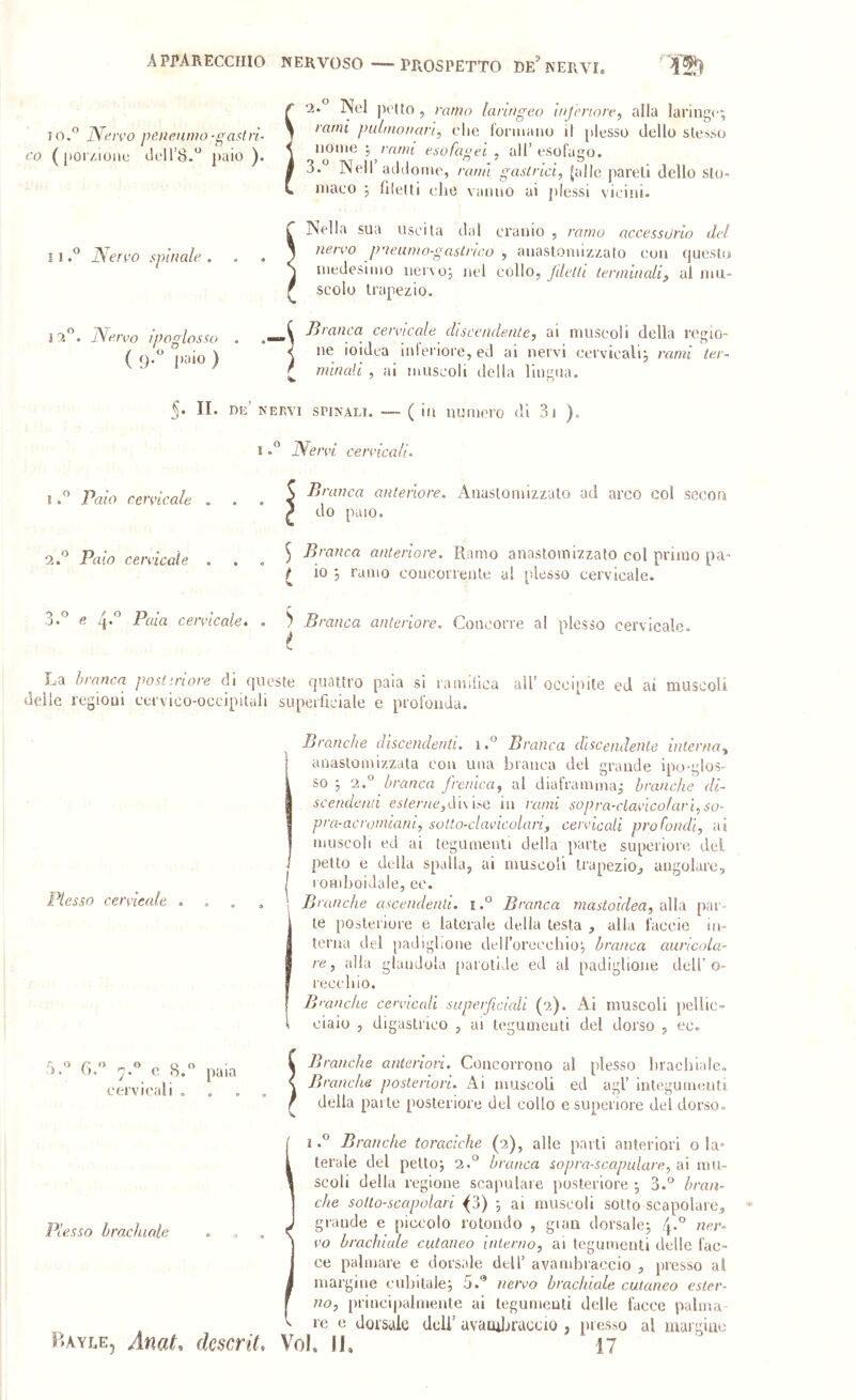 IO. JVeiro peiienmo-gastri- co ({toi/oonc deH’S. })aio ). ì 1Nereo spinale . so ÌO.. Ne reo ipogloss ( 9'^ ) •2. Nel jM'tto 5 ramo laringeo inferiore^ alla laringe; rami palmonan, die ronuanu il [desso dello slesso nome ; rami esofagei , all’ esofago. 3. Nell adtiome, rana gastrici, Jalle pareli dello sto- maco ; nielli (die vanno ai plessi vicini. Nella sua uscita dal cranio , ramo accessorio del nereo p'ieumo-gastrico , anastomiz,zalo con c|uesio medesimo nervo; nel collo, fdetli terminali^ al mu- scolo trapezio. Jj ranca cerei cale discendente, ai muscoli della regio- ne ioidea inferiore, ed ai nervi cervicali; rami ter- minali , ai muscoli della lingua. 5* II. dk’ nervi spinali. — ( in numero di 3i ), I Nerei cereicali. IPaio ccreicale •2. Palo cereicale 5 Pi'nnca anteriore. Anaslomizzalo ad arco eoi secou / do paio. 5 Branca anteriore. Ramo anaslomizzalo col primo pa- } io ; ramo concorrente al plesso cervicale. ^ *• 3. e 4**^ Paia cereicale. ^ Branca anteriore. Concorre al plesso cervicale. ; La branca post more di r|ueste ('{uaitro paia si ramilica all’ occipite ed ai muscoli delle regioni cervico-occipituli sunerllciale e profonda. -occipitali superficiale e profonda. Plesso cereicale . 5. G. 'j. e 8. paia cervicali . Plesso brachiale Branche discendenti, i. Branca discendente interna., anastomizzata con una branca del grande ipo-glos- so ; 2. branca frenica, al diaframma; branche di- scendenti esterne,i\ì\dQ in rami sopra-claeicolarl,so- pra-acromiani, solto-claelcolan, cereicali profondi, ai muscoli ed ai tegumenti della parte superiore del petto e della spalla, ai muscoli trapezio^ angolare, romboidale, ec. Branche ascendenti, iBranca mastoidea, alla par- te poslei'iore e laterale della lesta , alla faccie in- terna del padiglione deH’oreeehio; branca auricola- re, alla glandola [larotide ed al padiglione deli’o- reccliio. B'■anche cervicali superficiali (2). Al muscoli pellic- ciaio , digastrico , ai tegumenti del dorso , ec. Branche anteriori. Concorrono al plesso brachiale. Branche posteriori. Ai muscoli ed agl’ integumenti della parte posteriore del collo e superiore del dorso- I. Branche toraciche (2), alle parti anteriori o la- terale del petto; 2. branca sopra-scapulare, ai mu- scoli della regione scapulaie posteriore ; 3. bran- che sotto-scapolari ^3) ; ai muscoli sotto scapolare, grande e piccolo rotondo , gran dorsale; 4*'’ eo brachiale cutaneo interno, al tegumenti delle fac- ce palmare e dorsale dell’ avambraccio , presso al margine cubitale; 5.® nereo brachiale cutaneo ester- no, principalmente ai legumeuti delle facce palma le e doi'saie deli’ avaoiJjraccio , presso al margine P.AYbE, Amt, descrit. Voi, Ih 17