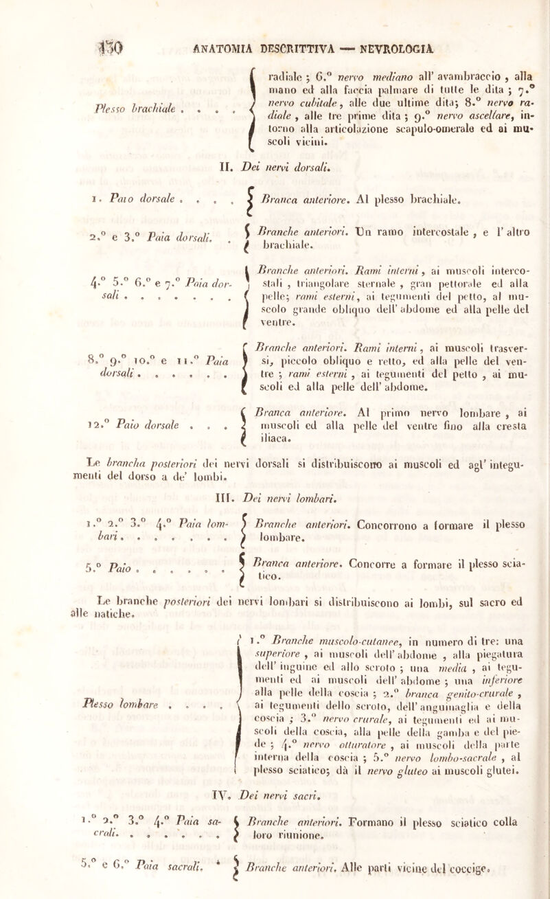 Plesso hrachiale 1. Pai o dorsale . 2. *^ e 3.” Paia dorsali. 4. 5. 6. e 7. Paia dor- sali S.'’ 9.^ io.« e Paia dorsali 12.^ Paio dorsale radiale 5 G.” nerro mediano all’ avambraccio , alla mano ed alla faccia paln)are di tulle le dila ; 7.® nereo cubitale, alle due ultime ditaj 8.” nervo ra- diale , alle tre prime dila ; 9.® nervo ascellare, in- torno alla articolazione scapulo-omerale ed ai mu- scoli vicini. II. Dei nervi dorsali, , ^ Branca anteriore. Al plesso brachiale. ^ Branche anteriori. I3n ramo intercostale, e l’altro * ^ brachiale. l B ranche anteriori. Barrii interni, ai muscoli interco- j stali , triangolare sternale , gran pettorale eJ alla pelle; rami esterni, ai tegumenti del petto, al mu- scolo grande obliquo dell’ abdome ed alla pelle del ventre. Branche anteriori. Rami interni, ai muscoli trasver- si, piccolo obliquo e retto, ed alla pelle del ven- tre *, rami esterni , ai tegumenti del petto , ai mu- scoli ed alla pelle dell’ abdome. Branca anteriore. Al primo nervo lombare , ai muscoli ed alla pelle del ventre fino alla cresta iliaca. Le hrancha posteriori dei nervi dorsali si distvibuiscoiTO al muscoli ed agl’ integu- menti del dorso a de’ lombi. IH. Dei nervi lombari. anteriori. Concorrono a formare il plesso 1.® 2.*’ 3,® 4'” Paia lom- bari , 5.® Palo ) Branche < . ) lombare. Branca anteriore. Concorre a formare il plesso scia- tico. Le branche posteriori del nervi lombari si distribuiscono ai lombi, sul sacro ed alle natiche. I P Branche muscolo-cutanee, in numero di tre: una superiore, ai muscoli dell’abdome , alla piegatura dell’ inguine ed allo scroto ; una media , ai tegu- menti ed ai muscoli dell’ abdome ; una inferiore alla pelle della coscia ; 2.'^ branca genito-crurale , ai tegumenti dello sci oto, dell’anguinaglia e delia coscia ; 3.” nervo crurale, ai tegumenti ed ai mu- scoli della coscia, alla pelle della gandra e del pie- de ; 4-^ nervo otturatore , ai muscoli della parte interna della coscia ; 5.” nervo lombo-sacrale , al plesso sciatico; dà il nervo gluteo ai muscoli glutei. Plesso ìombare IV, Dei nervi sacri. 1.” 2.® 3.® 4.® Pai CI all, • g - aia sa- Branche anteriori. Formano il plesso sciatico colla loro riunione. 5. e 6, Paia sacrali, * ^ Branche anteriori, parli vicine del coccige «