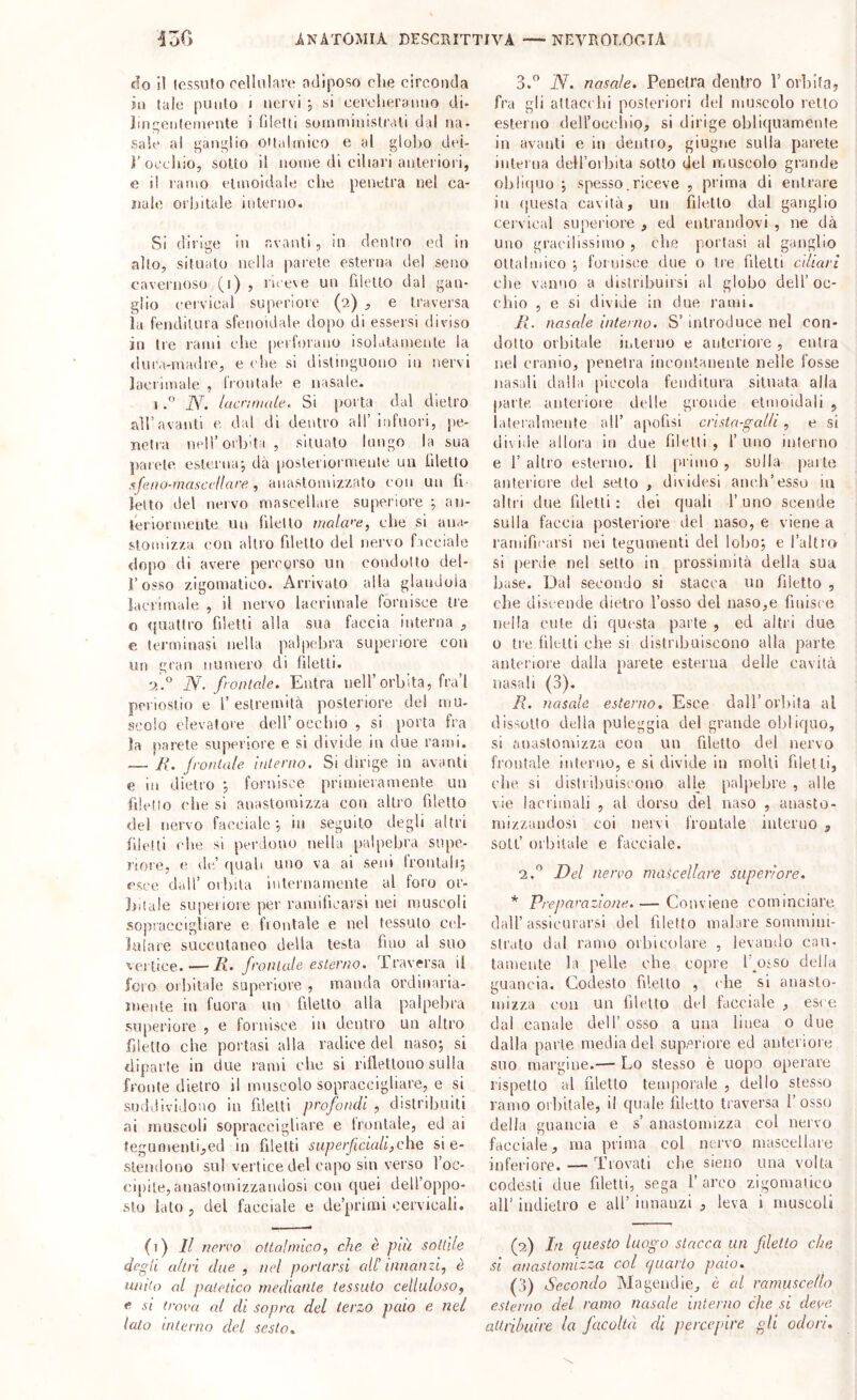 fio il lossuto rellnlaì’e adiposo die circonda in tale punto i nervi j si cercherà mio di- lin;;oiiteiiiente i hletti soiiiniiiiislrali dal na- sale al fallii;!io citaiinico e al globo dei- ì’occhio, sotto il nome di ciliari anteriori, e i! ramo etmoidale che penetra nel ca- nale orbitale interno. Si dirige in avanti, in dentro ed in alto, situato nella parete esterna del seno cavernoso (i) ? riceve un fdetto dal gan- glio cei'vieal superiore (2) , e traversa la fenditura sfeiioidale dopo di essersi diviso in tre rami che perforano isolalaivienle la dura-madre, e die si distinguono in nervi lacrimale , frontale e nasale- I N. lacrinude. Si {lorta dal dietro all’avanti e, dal di dentro all’ infuori, pe- netra nell’orbita , situalo lungo la sua parete esternaj dà posleriornieiile un hlelto .^fei>o-inasci‘!lare , aiiastomizzato con un fi letto del nervo mascellare superiore ; aii- leriormeiite un hlelto molcve, die si aiia- stonuzza con altro filetto del nervo facciale dopo di avere percorso un condotto del- l’osso zigomatico. Arrivalo alla glandola lacrimale , il nervo lacrimale fornisce tre o ([uattro filetti alla sua faccia interna , e terminasi nella palpebra superiore con un gran numero di hletti. 2.° iV. frontale. Entra nell’orbita, fra 1 periostio e 1’ estremità posteriore dei mu- scolo elevatore dell’occhio, si porta fra la parete superiore e si divide in due rami. — R. frontale interno. Si dirige in avanti e in dietro ; fornisce primieramente un filetto die si anastomizza con altro filetto del nervo facciale', in seguito degli altri filetti che si pei’dono nella palpebra supe- riore, e de,’ fjuab uno va ai seni frontali*, esce dall’ orbila iuleriiamente al foro or- Jiiiale su[ìeiiore per ramificarsi nei niuseoli sopraccigliare e fionlale e nel tessuto cel- lulare suceulaneo della testa fino al suo vertice. — R, frontale esterno. Traversa il l'ero oiliitale superiore , manda ordinaria- mente in fuora un hlelto alla palpebra superiore , e lornisce ui dentro un altro hlelto che {tortasi alla radice del naso*, si diparte in due rami che si riflettono sulla fronte dietro il muscolo sopraccigliare, e si suddividono in filetti profondi , distribuiti ai muscoli sopraccigliare e troiilale, ed ai tegunieuti,ed in filetti superficiali,che si e- sleiidono sul vertice del capo sin verso l’oc- cipite, auastomizzaiulosi con quei dell’oppo- sto lato , del facciale e de’primi cervicali. (1) li nervo otialmico, che è pai sottile degli altri due, nel portarsi all'innanzi, è unito ai patetico mediante tessuto celluloso, e si trova al di sopra del terzo paio e nel lato interno del sesto. 3. N. nasale. Penetra dentro 1’ orbita, fra gli aflaccbi posteriori del muscolo retto esterno dell’occliio, si dirige obliquamente in avanti e in dentro, giugiie sulla parete interna dell’orbita sotto del muscolo grande ohliipio spesso.riceve , prima di entrare in (juesta cavità, un filetto dal ganglio cervical superiore , ed entrandovi , ne dà uno gracilissimo , che portasi al ganglio oltalmico •, fornisce due o tre filetti ciliari elle vanno a distribuirsi al globo dell’ oc- chio , e si divide in due rami. R. nasale interno. S'introduce nel con- dotto orbitale interno e anteriore , entra nel cranio, penetra incontaiieiite nelle fosse nasali dalla piccola fenditura situata alla parte anteriore delle gronde etmoidali , lateralmente all’ apohsi crista-gcdli , e si divide allora in due filetti, f uno interno e l’altro esterno. Il primo, sulla pai te anteriore del setto , dividesi aneli’esso in altri due hletti : dei quali 1’ uno scende sulla faccia posteriore del naso, e viene a ramificarsi nei tegumenti del loboj e l’altro si perde nel setto in prossimità della sua base. Dal secondo si stacca un filetto , che discende dietro l’osso del naso,e finisce nella cute di questa parte , ed altri due 0 tre filetti che si distribuiscono alla parte anteriore dalla parete esterna delle cavità nasali (3). R. nasale esterno. Esce dall’orbita al dissolto della puleggia del grande obliquo, si anastomizza con un filetto del nervo frontale interno, e si divide in molti filetti, che si distribuiscono alle palpebre , alle vie lacrimali , al dorso del naso , anasto- mizzandosi eoi nervi frontale interno 3 soli’ orbitale e facciale. 2.'’ Del nervo mascellare superiore. * Preparazione. — Conviene cominciare dall’assicurarsi del filetto inalare sommini- strato dal ramo oibieolare , levando cau- tamente la pelle che copre fiosso della guancia. Codesto filetto , che si anasto- mizza con un filetto del facciale , esee dal canale dell’ osso a una linea o due dalla parte media del su{aeriore ed anteriore suo margine.— Lo stesso è uopo operare rispetto al hlelto temporale , dello stesso ramo orliitale, il quale hlelto traversa l’osso della guancia e s’ anastomizza col nervo facciale, ma prima col nervo mascellare inferiore. — Trovati che sieiio una volta codesti due filetti, sega l’arco zigomatico all’ indietro e all’ innanzi , leva i muscoli (2) In questo luogo stacca un filetto che si anastomizza col quarto paio. (3) Secondo Magendie, è al vamuscello esterno del ramo nasale interno che si deve attribuire la facoltà di percepire o\i odori.