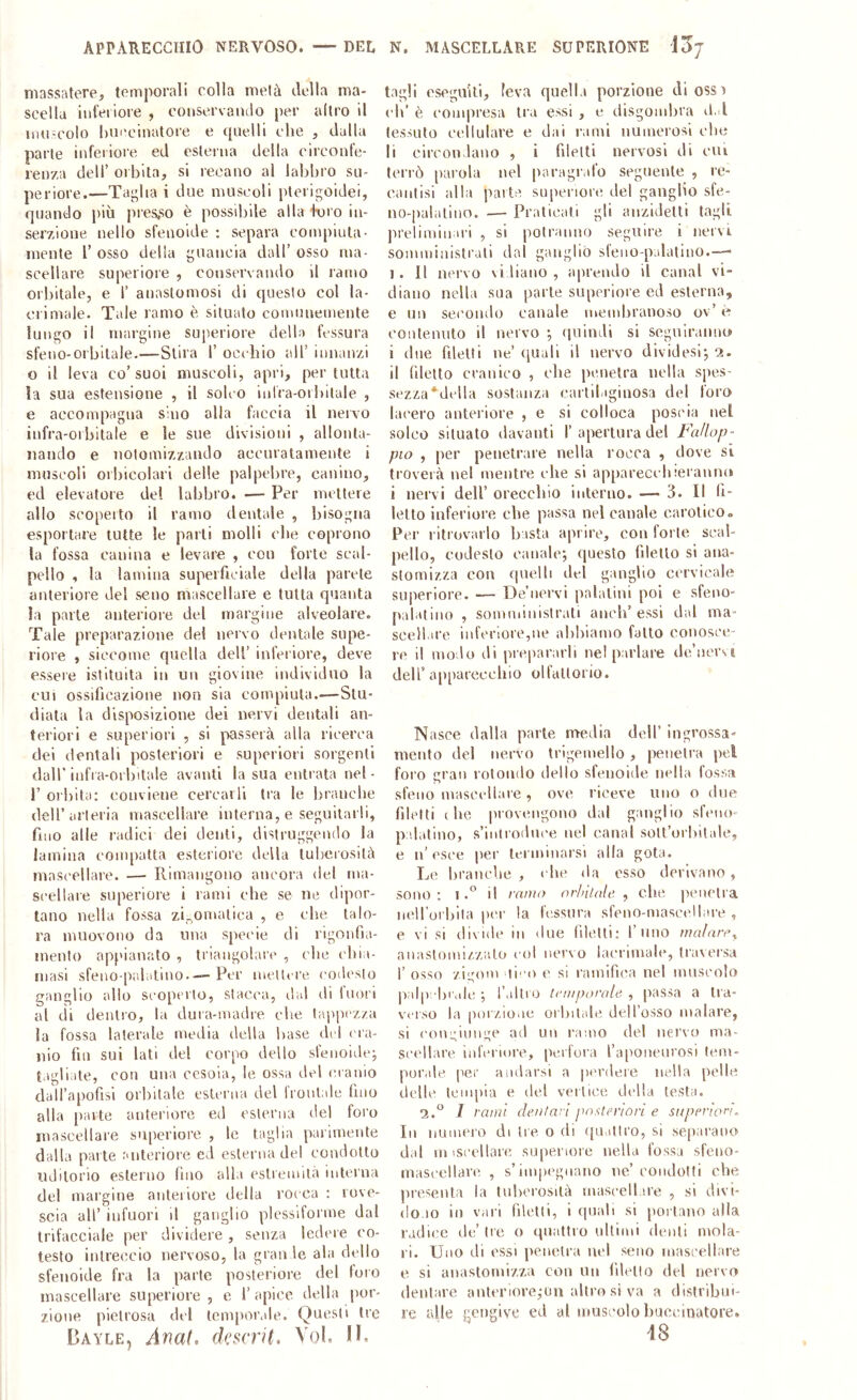 massatere, temporali colla metà della ma- scella inferiore , conservando per altro il liiu-colo hni'cinatore e quelli che , dalla parte infeiioie ed esterna della circonfe- renza dell’ oibita, si recano al labbro su- periore.—Taglia i due muscoli pterigoidei, quando più presso è possibile alla l’oro in- serzione nello sfeuolde : separa compiuta- mente r osso della guancia dall’ osso ma- scellare superiore , conservando il lamo orbitale, e 1’ anastomosi di questo col la- crimale. Tale ramo è situalo comunemente lungo il rnargiiìe superiore della fessura sfeno-orbilale.—Stira 1’ occhio all’ innanzi o il leva co’suoi muscoli, apri, per tutta la sua estensione , il solco iidia-orbitale , e accompagna sino alla faccia il neivo infra-orbitale e le sue divisioni , allonta- nando e noiomizzando accuratamente i muscoli orbicolari delle palpebre, canino, ed elevatore del labbro. .— Per mettere allo scoperto il ramo dentale , bisogna esportare tutte le parti molli che coprono la fossa canina e levare , con forte scal- pello 4 la lamina superficiale della parete anteriore del seno mascellare e tutta quanta la parte anteriore del margine alveolare. Tale preparazione del nervo dentale supe- riore , siccome quella dell’ inferiore, deve esseie istituita in un giovine individuo la CUI ossificazione non sia compiuta.—Stu- diata la disposizione dei nervi dentali an- teriori e superiori , si passerà alla ricerca dei dentali posteriori e superiori sorgenti dall'iafi a-oi bitale avanti la sua entrata nel- r oibita: conviene cercarli tra le branche dell’arteria mascellare interna, e seguitarli, fino alle radici dei denti, distruggendo la lamina compatta esteriore della tubeiosità mascellare. — Rimangono ancora del ma- scellare superiore i rami che se ne dipor- tano nella fossa zi_pmatica , e che talo- ra muovono da una S[)ecie di rigonfia- mento appianato , triangolare , che chia- masi sfeno-prdiitmo.-— Per lueUire codesto ganglio allo scoperto, stacca, dal «.li Inori al di dentro, la dura-madre che t;ippez/.a la fossa laterale media della base del ('la- lìio fin sui lati del corpo dello sfenoidcj tagliate, con una cesoia, le ossa del manio dall’apofisi orbitale esterna del Iroulale fino alla parte anteriore ed esterna del foro mascellare superiore , le taglia parimente dalla parte anteriore ed esterna del condotto uditorio esterno fino alla estremità interna del margine anteriore della l’occa ; rove- scia all’ infuori il ganglio plessiforme dal trifacciale per dividere , senza ledere co- lesto intreiìcio nervoso, la gran le ala dello sfenoide fra la parte posteriore del foro mascellare superiore , e 1’ apice della por- zione pietrosa del tcm[)oi\de. Questi tre Payle, Anat, dcsait, VoL H. tagli eseguili, leva quella porzione di ossa eh’ è compresa tra essi , e disgombra d,d tessuto cellulare e dai rami numei'osi che li circon lauo , i filetti nervosi di cui terrò parola nel paragiafo seguente , re- cantisi alla parte su|reriore del ganglio sfe- no-palalino. — Praticati gli anzidelti tagli j'ireliminari , si potranno seguire i nervi somministrati dal ganglio sfeiio-palatino.—■ 1. Il nervo vi diano , aprendo il canal vi- diano nella sua parte superiore ed esterna, e uu seeoudo canale membranoso ov’ è eoulenuto il nervo ; quindi si seguiraimo i due filetti ne’ quali il nervo dividesi-, *2. il filetto cranico , che penetra nella spes- sezza‘della sostanza cartilaginosa del foro lacero anteriore , e si colloca poscia nel solco situato davanti 1’apertura del FaHop- pio , per penetrare nella rocca , dove si troverà nel mentre che si apparecchieranno i nervi dell’ orecchio interno. — 3. Il fi- letto inferiore che passa nel canale carotico» Pei’ ritrovarlo h ista aprire, con fol te scal- pello, codesto canale; questo filetto si ana- stomizza con quelli del ganglio cervicale superiore. — De’uei’vi palatini poi e sfeuo- palatiiio , somuiiuislrati anch’essi dal ma- scellare inferiore,ue abbiamo fatto conosce- re il modo di prepararli nel parlare de’uervi deir a[)parecehio oltallorio. Nasce dalla parte media dell’ ingrossa- mento del nervo trigemello, penetra pel foro eran rotondo dello sfenoide nella fossa sfeno mascellare, ove l iceve uno o due filetti thè provengono dal ganglio sfeno- pilatino, s’imrodnee nel canal sotl’orhilale, e n'esce per terminarsi alla gota. Le branche , che ila esso derivano, sono: Iil ramo orhilale. , che penetra nell’urhila per la fessura sfeno-maseellare , e vi si divide in due filetti: l’imo ìnafan\ anastoini/zato eoi nervo lacrimale, Iraiersa 1’ osso zigom li'O e si ramifica nel muscolo |»alp d)i'ale ; l’allio icmporaltà , passa a tra- verso la porzione orlntide dell’osso inalare, si coni;iunge ad un ramo del nervo ma-^ scellare inl'erittre, perCura l’aponeurosi tem- porale per andarsi a perdere nella pelle delle tempia e del veilice dtdla testa. 2.° 1 rami denfaiì posteriori e snperìoru In numero di tre o di ([Uattro, si separano dal mtscellare superiore nella fossa sfeiio- mascellare , s’impegnano ne’condotti che presenta la tuberosità inaseell.ne , si divi- dono in vari filetti, i (piali si portano alla radice de’ tre o quattro ultimi denti mola- ri. Uno di essi penetra nel seno mascellare e si anastomizza con iin filetto del nervo dentare antcriore;un altro si va a distribui- re alle gengive ed al muscolo buecinatore.