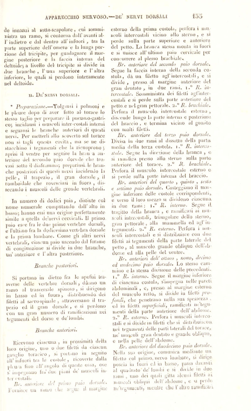 de innanzi al sotlo-scapolare, cui soinnil- iiislra un ramo, si conlorna dall avanti al* ì' indietio e dal dentro all’ ini’iiori , tra la parte superiore deU’onìero e la lunga por- zione del tricipite, per guadagnare d mar- gine posteriore e la taccia interna del deltoide', a livello del tricipite si divide ni due branche , 1’una superiore e l’altra inferiore, le quali si perdono interamente nel deltoide. 11. De NERVI DORSALI. * Preparnzloiìe.—Tolguisi i polmoni e le pleure dopo di aver fatto al torace lo stesso taglio per piep<irarc il jmcumo-gastri- coj in.cidansi i muscoli inter costali interni e seguansi le branclie anteriori di questi nervi. Per metterli allo scoverlo sul torace no-u si tagli questa cavità, ma se ne di- stacchino i tegumenti che la rimioprono 5 ajirisi il ventre per seguire la bran a an- teriore del si'coudo paio dorsale (die tro- vasi sotto il diaframma; prejiarinsL le bran- che posici lori di questi ner.vi incidendo la pelle, il trapezio, il gran dorsale , il romboidale che rovesciasi in fuora , dis- secando i muscoli delle gronde vertebrali. In numero di dodici paia, distinte col nome numerale computando dall’ alto in l>asso; hanno essi ima origine perfettamente simile a quella de’uervi cervicali. Il primo paio esce fra le due prime vertebre dorsali, e Tullimo fra la dodicesima verltdjra dorsale e la prima lombare. Come gli altri nervi vertebrali, ciascun paio uscendo dal torame di congiunzione si divide in due b.rancìie, Uii’ anteriore e 1’ altra posteriore. Branche poslertoru Si portano in dietro fra le apofisi Ira- svcrse delle vertebre dorsali , danno un ramo al trasversale spinoso, si dirigono in basso ed in fuora , dialribuendo dei filetti al sacro-spinale , alU'aversano il tra- pezio ed il gran dorsale , e si perdono con un gran numero di ramiticazioui nei Icgumenli del dorso e de’lombio Branche anteriori. Ricevono ciascuna , in prossimità della loro origine, uno u due (delti da ciascuu ganglio toracico , si pollano ni seguilo idi’infuori tra le coitole, ricoveite dalla ])kui'a lino all’angolo di queste ossa, ove s’ impegnano ha’ clut. [iiaiu de muscoli in- ter cobiali. Br. anteriore del primo paio dorsale, l'oinibcc uu ramo '.he segue il iiiaij,uic esterno della prima costola, jverfera i ma scoli intercostali vicino «Ilo sterno , e sì perde sulla parte superiiaio e anterioie del petto. La lir.mca stessa monta in Inori e si unisce all’ ultimo paio cervicale per concorrere al plesso brachiale.. Br. anleriore del secondo palo dorsale. Segue la faccia iiilcrua della seconda co- stola, dà uu filetto agl’intercostali, e si divide , presso al margine anteriore dei gran dentalo, in due rami, iR. lii- tercosude. Somministra dei filetti agl’iider- costali e si perde sulla parte anttU'iore del jietto e nclgran jiettorale. '2.^/i. brachiale. IVrfora il muscolo intercostale estoruo , discende lungo la parte iiili'iua e posteriore del braccio , e termina vicino al gomito con molti filetti. Br. anteriore dei terzo paio dorsale. Divisa in due rami al dissotlo didla parlo media della terza costola. 1 R. interco- stale. Segue la diiczioiie della branca , e si laiiiihca presso allo siei no sulla parlo anteriore del torace. 2.*^ R. bracìdale. Pi'ifora il muscolo, intercostale esterno e SI perde sulla [larte inierua del braccio. Br. anteriori del quarto , quinto , sesto e settimo paio dorsale. Coslcggiaiio il mai- giiic inferiore delle costole corrispondenti, e verso il loro mezzo si dividono ciascuna in due l’ami : i.^ R. interno. Segue il. tragitto della branca , e raiiiibcasi ai mu- scoli intercostali, triangolare dello storno, gran pettorale, alla mammella ed agl’111- Icgumeuli. 2.^ R. esterno. Perfora 1 mu- scoli iiilercoslab e si distribuisce con dutì lilelli ai tegumenti della parte laterale del ])ello , al muscolo grande obliquo dell’ab- dome ed alla pelle del ventre. Ri . anteriori delt’ ottavo , nono^ clecnno ed nndechno paio dorsale. Lo stesso cam- mino e la stessa divisione delle precedenti. 1R. interno. Segue il margine inferiore di ciasciioa costola, s’iuipegiui iiellc pareli abdominali , e, presso al margine esterno del muscolo retto, si divide in lilelli prò- fondi.) che pcuelraiio nella sua spessezza -, ed ili lilclti superficiali, r.imlficali nc tegu- menti della parte anteriore dell’abdomc. 2.® R. esterno. Perfora i muscoli interco- stali e SI divide in Ideili chiesi disLi ibuiscou nei icguiiieiili delle parli laterali del torace. He’ inn^àcoli gran dentalo e grande (^Uhquo, e nella pidlc dell’abdomc. Br. anteriore dei duodecinso paio dorsale. Nella sua origine, comunica mediante un. filetto col iiiimo nervo lombare, si dirige poscia in fuori cd in basso, passa davanii al quadrato de’lombi e si divide m duo rami , mio dei quali gilta afcuiil filetti ai jiiiiscoli obliqui dell’abdomc , c s! perdi; iic’tegumenli, lueuU'c clic l’aUio iauulica.si