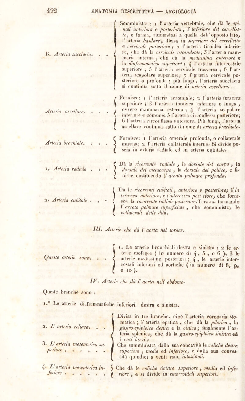 Bo ylricna succìayìa> ^rierta asc filare. Somministro : i 1' arteria vertebrale, che olà le spi' fiali anterìora e posierloPe , 1’ inferiore del cerrellei- lo, e torma, ritinemiosi a ojuella dell’opposto lato, l’arteria basilare ^ divisa in superiore del cerreìletto e cerebrale posteriore j *2 T arteria tiroidea infeiio' re, elle dà la cervicale asceudéfilé'. 3 l’arteria mani* maria interna , che dà la mediasluia anteriore e la diafratnmalica superiore ; ^ l’ arteria intercostale superiore ; 5 1’ arteria cervicale trasver^a ; 6 i’ ar- teiia scapolare superiore^ y ì’ arteria cervicale po- steriore o profonda ; più lungi, l’arteria succlavia si continua sotto il nome di arieria ascellare. Fornisce; i h arteria acromialej “2 1^ arteria toracica snpeiiore 5 3 f’arteria toracica inferiore o lunga , ovvero mammaria esterna ; 4 ‘U'teria scapolare inferiore e comune; 5 l’aliena circonflessa posìerif?re; 6 r arteria eireonflessa anteriore. Più lungi, 1’arteria ascellare continua sotto il nome di arierìa brachiale» Arteria brachiale. Fornisce: i Parferia omerale profonda, 0 collaterale esterna; 2 l’arteria collaterale internar Si divide po- scia in arteria radiale ed in arteria cubitale. 1, Arteria radiale . Dà la rìcorrenfe radiale , la dorsale del carpo , la dorsale del metacarpo , la dorsale del pollice, e fi- nisce costituendo 1’ arcala palmare profonda. 2. Arteria etihilale Dà le ricorrenti cubitali, anteriore e posteriore} V in terossea anteriore, e l’interossea post riorey che forni- sce la ricorrente radiale i)osteriore.Tv\:a\\u<x lormando P arcata palmare superficiale , che somministra le collaterali delle dita. IH. Arterie che dà l’ aorta nel torace» (Queste arterie sona. I. Le arterie bronchiali destra e sinistra ; 2 le a?-»- lerie esofagee ( in numero di 4 , 5 , o 6 ); 3 le ar terie lut diasliue posteriori ; 4 , 1® arterie inter- costali inferiori od aorliclie ( in numero di 8, 010). IH< Arterie che dà l’ aorta neU ahdome- Queste lirancbe sono ; ]. Le arterie diaframmatiche inferiori destra e sinistra. 2. L'arteria celiaca, . , 3. L’arteria mesenterica su- periore 4. T-^' arteria mesenterica in- feiiore Divisa in tre branche, cioè l’arteria coronaria sto- matica ; V arteria epatica , che dà la pilorica , la gastro epipioica destra e la cistica; finalmente Par- teria splenica, che dà la gastro-epipioica sinistra ed i vasi brevi ; Che somministra dalla sua concavità le coAV/ie superiore , media ed inferiore, e dalla sua conves- sità quindici a venti rami intesiiiiali. Che dà le coliche sinistre superiore , media ed infc’ riore , e si divide in emorroidali siiperìon»