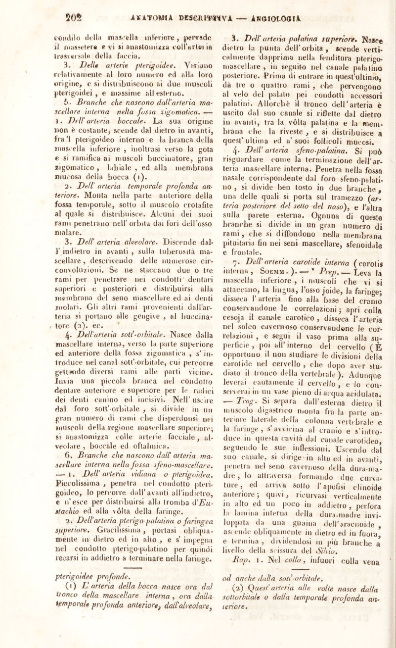 eoiìililo della mascella inferiore, pervade il massetere evi si anastoinlzza coll’tti'leria trasversale della faceia. 3. DelU arterie pterigoidee. Variano relativa mente al loro numero ed alla loro origine, e si dislribuiscoiK) ai due muscoli plerigoidei , e massime all esterno. 6. BraiU'he che nascono dall'arteria ma- sceliare interna nella fossa zigomatica. — I. Dell'arteria boccale. La sua origine non è costante, scende dal dietro in avanti, fi a ’l pterigoideo interno e la branca della mascella inferiore , inoltrasi verso la gota e si ramifica ai muscoli buccinatore, gran zigomatico , labiale , ed alla membrana mucosa della bocca (i). 2. DeW arteria temporale profonda an- teriore. Monta nella parte anteriore della fossa temporale, sotto il muscolo crotafite al quale si distribuisce. Alcuni dei suoi ran)i penetrano nell’orbita dai fori dell’osso malare. 3. Dell' arteria alveolare. Discende dal- 1’ indietro in avanti , sulla tuberosità ma- scellare , descrivendo delle numerose cir- convoluzioni. Se ne staccano due o tre rami per penetrare nei condotti dentari superiori e posteriori e distribuirsi alla membrana del seno mascellare ed ai denti molari. Gli altri rami provenienti dall’ar- teria si portano alle gengive , al buccina- r loie (a), ec. Dell'arteria soli'-orbitale. Nasce dalla mascellare interna, verso la parte superiore cd anteriore della fossa zigomatica , s’ in- troduce nel canal soti’-orbitale, cui percorre getUwido diversi rami alle parti vicine. Invia una piccola branca nel condotto dentare anteriore e superiore per le radici dei denti canino ed incisivi. Nell’ uscire dal foro solt’-orViltale , si divide in un gran numero di rami che disperdonsi nei muscoli della regione mascellare superiore; si anaslomizza colle arterie facciale, al- veolare, boccale ed oftalmica. 6. Branche che nascono dall' arteria ma- scellare interna nella fossa sfeno-mascetlare. — I. Dell’ arteria vidiana o pterigvìdea. Piccolissima , penetra nel condotto pteri- goideo, lo percorre dall’avanti aH’indielro, e n’esce per distribuirsi alla tromba (YEu- itachio ed alla vòlta della faringe. 2. Dell’arteria pterigo palatina o faringea superioi'e. Gracilissima , portasi obliqua- mente ui' dietro ed in allo , e s’ impegna nel condotto pterigo-palatino per quindi recarsi in addietro a terminare nella faringe. pterigoidee profonde. (i) L'arteria della bocca nasce ora dal iìonco della mascellare interna , ora dalla temporale profonda anteriorej dati’alveolare^ 3. Dell’arteria palatina superiore. Nasce dietro la punta dell'orbita , scende vertb ealmente dapprima nella fenditura pterigo- mascellaie , in seguito nel canale palatino posterioi'e. Prima di entrare in quest’ultimo, dà tre o quailio rami , ('ihe pervengono al velo del palalo pei condotti accessori palatini. Al lordi è il tronco dell’arteria è uscito dal suo canale si riflette dal dietro il) avanti, tra la vòlta palatina e la mem- brana cbe la riveste , e si distribuisce a quest’ultima ed a’suoi follicoli mucosi. 4. Dell’arteria sfeno-palatina. Si può risguardare come la terminazione dell’ar- teria mascellare interna. Penetra nella fossa nasale corrispondente dal foro sfeno-palati- 110, si divide ben tosto in due branche, una delle quali si porla sul tramezzo {ar- teria posteriore del setto del naso), e l’altra sulla parete esterna. Ognuna di queste brancbe si divide in un gran numero di rami, cbe si diffondono nella membrana pituitaria fin nei seni mascellare, sfenoidale e frontale. 7. Dell’ arteria carotide interna ( carotis interna , Soemm . ) * Prep. — Leva la mascella inferiore , i muscoli che vi si attaccano, la lingua, l’osso joide, la faringe; disseca 1’ arteria fino alla base del cranio conservandone le correlazioni ; apri colla cesoja il canale carotico, disseca i’arteria nel solco cavernoso conservandone le cor- relazioni , e segui il vaso prima alla su- perficie , poi all’interno del cervello (È opportuno il non studiare le divisioni della carotide nel cervello , cbe dopo aver stu- dialo il tronco della vertebrale ). Adunque leverai cautamente il cervello, e lo con- SCIA crai in un vase pieno di acqua acidulata. — Trag. Si separa daH’esferna dietro il muscolo digastrico molila fra la parte an- ici 101 e laici ale della colonna vertebrale e la faringe, s’avvicina al cranio e s’intro- duce in questa cavità dal canale carotideo, seguendo le sue inflessioni. Uscendo dal suo canale, si dirige'in allo ed in avanti, |ìci)clra nel seno cavernoso della dura-ma- die , lo atlia\eisa formando due curva- ture, ed arriva sotto l’apofisi cliaoide aiileiioie; quivi, ricurvasi verticalmente in alto ed un poco in addietro , perfora la lamina interna della dura-madre invi- luppala da una guaina deH’aracnoide , asiende obliquamente in dietro ed iu fuora, e lennina , dividendosi in più branche a livello della sc issura del Sihio, Bap. 1. Nel collo, infuori colla vena od anche dalla soli-orbitale. (2) Quest’arteria alle volle nasce dalla sotlorhitale o dalla temporale profonda an- leriore.