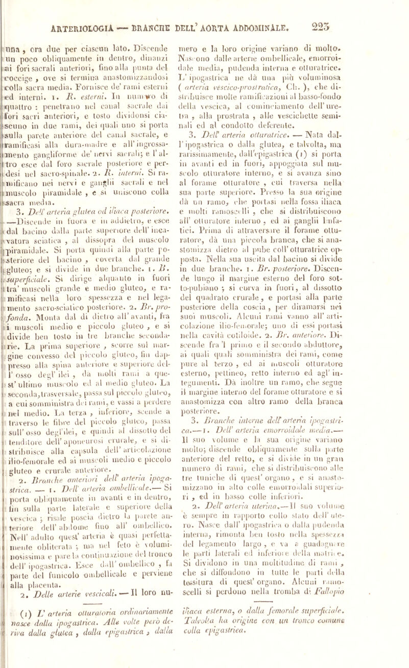 ntia , ora due per ciascun lato. Discende un poco obliquamente in dentro, dinanzi ai fori sacrali anteriori, fino alla punta del coccige , ove si termina anastomiz7,andosi colla sacra media. Fornisce de’ rami esterni cd interni, i. esterni. In num»»o di quattro : penetrano nel canal sacrale dai I fori sacri anteriori, e tosto dividonsi eia- l‘Senno in due rami, dei quali uno si porta 1-sulla parete anteriore del canal sacrale, e ! ramificasi alla dura-madre e all’ingrossa- iinento ganglitorme de’nervi sacrali; e 1’al- tro esce dal foro sacrale posteriore e per- desi nel sacro-spinale.'i. R- interni. Si ra- junificano nei nervi e gangli! saerall e nel il muscolo piramidale , e si uuiseouo colla bsaera media. 3. Deli' arteria glutea od iliaca posteriore. Discende in t'uora e in addietro, e esce i 1 dal bacino dalla parte superiore dell’inca- 'vatura sciatica , a! disso[ira del muscolo [piramidale. Si piorla quiiuii alla parte po- -steriore del bacino , eovei ta dal grande Lgluteo; e si divide in due branebe. i. R. superficiale. Si dirige al<|uaulo in fuori ’t tra’muscoli grande e medio gluteo, e ra- ti mificasi nella loro spessezza e nel lega- mento sacro-sciatico posteriore. 2, Rr. pro- li fonda. Monta dal di (lietio all’avanti, fra iti muscoli medio e piccolo gluteo, e si , divide beo tosto in tre branebe seconda- i rie. La prima superiore, scorre sul mar- i gine convesso del jiiccolo gluteo, lìii dap- j presso alla s-pma anteriore e siqiei lore del- 1’ osso degl’ ilei , da molti rami a (jue- 1 st’ultimo muscolo ed al medio gluteo. La t seconda,trasversale, passa sul piccolo gluteo, a cui somministra dei rami, e vassi a perdere » nel medio. La terza , inferiore, scende a 1 traverso le fibre del piccolo gluteo, [lassa 1 sull’osso degl’dei, e quindi al dissolto del 1 tenditore dell’ ajioiicurosi crurale, e si di- t slribuisce alta ca[)sula dell articolazione 1 ilio-femorale exl ai muscoli medio e piccolo I gluteo e crurale anteriore. 2. Rrane he anteriori dell’ arteria ipoga- strica. — I. Dell ’ arteria omhellicule.— Si porla obliijuamente in avanti e in dentro, fili sulla parte laterale e superiore della vescica; risale [loscia dietro la parete au- tei'iore dell’ abdome fino ali ombellieo. Nell’ adulto quest’ arteria è (juasi pcii'ella- rueiile obliterala ; ma nel feto e Nolumi- nosissima c pare la eouliuuazioue de! Iioiieo dell’ q'Ogastrica. Lsce dal! ombelbco , fa I parte del funicolo ombeliicale e perviene I alla placenta. 2. Delle arterie vescicali.'—Il loro nu- Ì(i) r arteria otturatoria ordinariamente nasce dalla ipogastrica. Alle volte però de- ijj nva dalla glutea j dalla epigastrica ^ dalla mero e la loro origine variano di mollo. Nascono dalle arterie ombeliicale, emorroi- dale inedia, pudenda interna e olluralrice. L’ ipogastrica ne dà una piò voluminosa ( arteria réscico-prosiratica, Cb. ), ebe di- stribuisce molte ramificazioni al basso-loudo della vescica, al comiuciumeuto dell’ure- tra , alla prostrala , alle vescielielte semi- nali cd al condotto deferente. 3. Dell’ arteria otturatrice. — Nata dal- r ipogastrica o dalla glutea, e talvolta, ma rarissimameute, dalTepigasliica (f) si porta in avanti ed in fuori, appoggiala sul mu- scolo otturatore interno, e si avanza sino al forame ollnrutore , cui traversa nella sua parte supcriore. Presso la sua origine dà un ramo, ebe portasi nella fossa iliaca e moki ramoscelli , che si distribuiscono all’ otturatore iuleruo , ed ai gangli! linfa- tici. Prima di attraversare il forame ollu- ralore, dà una piccola branca, che si ana- slomizza dietro al pube coll’otturatrice op- {)OSla. Nella sua uscita dal bacino si divide in due branebe. i. Br. posteriore. Discen- de lungo il margine esterno del foro sot- to-pnbianosi curva in fuori, al dissello del quadralo crurale , e portasi alla parte posteriore delia coscia , per diramarsi nei suoi muscoli. Alcuni rami vanno all’ arti- colazione ilio-fciiiorale; uno di essi portasi nella cavità cotiloide. 2. Br. anteriore. Di- scende fra ’l jiriiiio e il secondo abduttore, ai (juaii quali somministra dei rami, come pure al terzo , ed ai muscoli otturatore esterno, ['ellineo, retto interno ed agl’ in- tegumenti. Dà inoltre un ramo, che segue il marcine interno del forame otturatole e si anaslomizza con altro ramo della branca posteriore, 3. Branche interne dell or! eri a ipogastri- ca.— I. Dell’ arteria emorroidale media.—- Il suo volume e la sua origine variano molto; discende obliquamenU^ sulla parte anteriore del retto, e si divide in un gran numero di rami, ebe si distribuiscono alle tre liinii'be di quest’organo, e si anasto- mizzano in alto colle emorroidali siqieno- ri , €cl in basso colle inferiori. 2, Dell’ arteria uterina.— il suo volume è seaqire in rap[)orlo cullo stato dt.H’ule- 10. Nasce dall’ ipogastrica o dalla pudenda interna, limolila ben tosto nella spessezza del legamento largo , e va e guadagn. re le parti laterali ed infcrioie della luatrii e. Si dividono in una raulliludine di rami , clic si diffondono in tulle le parti della tessitura di (jucsl’ organo. Alcuni ramo- scelli si perdono nella tromba d* Fallopio iliaca esterna, o dalla jetnorede superficiale. Talvolta ha origine con un tronco comune colla epigastrica.