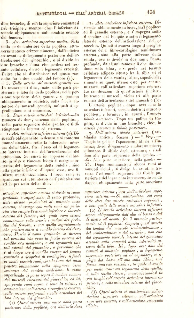 ANTERlOlOGJA feUt’ ARTERIA TIBIALE iM due branche» dì cui la superiore consumasi nel tricipite » mentre che 1’ inferiore di- scende ohiiquameute sul condilo esleruo del femore. 3. ^rt. ariicotare superiore rhedia. Nata dalla parte anteriore della poplilea, allia- versa tantosto orizzontalmente, dall’indietro in avanti , il legamento posteriore dell’ar- ticolazione del ginocchio , e si divide in due branche : 1’ una che perdesi nel tes- suto cellulare, dietro i legamenti crociati; r altra che si distribuisce irei grasso rac- colto fra i due condili del femore (t). 5. Ideile arterie de' muscoli pemeUi. In numero di due , nate dalle parti po- steriore e laterale della poplitea, nella por- zione superiore deila gamba , si poitano obliquamente in addietro, sulla faccia an- teriore de’ muscoli gemelli, ne’quali si ap- profondano e si diramano. 6. Delle arterie artieolari inferiori.—In numero di due , rKiscono dalla poplitea , nella parte superiore delia gamba, e si di- stinguono in interna ed esterna. \.u4rl. articolare inferiore interna (:^).D'i- scend’e ohliquanente in denti©,e si eonlorna immediatamente sotto la tuberosità inter- na della tibia, fra l’osso ed il legamen- to laterale interno dell’articolazione del ginocchio. Si curva in appresso dal bas- so in alto e rimonta lungo il margine in- terno del legamento della rotella , sino alla parte inferiore di tpiesl’ osso, ove fi- nisce anastomizzandosi. I suoi rami si spandono sul lato intiu'oo dell’ articolazione ed il periostio (.Iella tibia. articolare superiore esterna si dande in rancio profondo e superficiale. Il ramo proloiulo, date alcune produziom al muscolo vasto esternOf si sparge con molti rami sul perio- stio che cuopre hestrenatà inferiore e laterale esterna del femore , dei quali rami cdcwni comunicano colle arterie superiori del perio- stio del femore.^ e con quella segnatamente che penetra entro II condilo interno del detto osso. Poscia il ramo profondo si dirama sul periostio che veste la faccia esterna del condilo ora nominato, e sui legamenti late- rali esterni del ginocchio , e pervenuto che è al luogo ove il conddo esterno del femore comincia a ricoprirsi di cnrillagine, sifende^ in molti piccioli rami, ciascheduno dei quali penetra intimamente nella spugnosa ossea sostanza del condilo medesimo. Il ramo superficiale si porta sopra il tendine comune dei muscoli estensori del ginocchio, ed ivi, spargendo rami sopra e sotto la rotella, si anastomlzza coll' arteria circonflessa esterna, colle arterie perforanti e colle articolari del lato interno del ginocchio. (•) (fuest' arteria ora nasce dalla parte posteriore della poplitea^ ora dall articolate 3. .Arid orticai are inferióre esterna. Di'* Scende obliquamente in fuora, tra’l popliteo ed il gemello esterno , e s’ impegna solÉO il tendine del bicipite e sotto il legamento laterale esterno dell’articolazione del gi' nocchio. Quindi si avanza lungo il margine esterno della fibro-cartilagine semi-lunare esterna, sino alla parte inferiore della rotula , ove si divide in due rami: rimo, profondo, dà alcuni ramoscelli che discen- dono sulla tibia , e si perde nel tessuto cellulare adiposo situato fra la tibia ed il legamento della rotula; l’altro, superficiale, rimonta su q.uest’ ullirno osso per anasto- mizzarsi coll’articolare supcriore esterna. Le ramificazioni di quest’arteria si disti i- huiscono ai muscoli vicim ed alla parte esterna deirartieolazlone del ginocchio (3). L’ arteria poplitea , dopo aver date le articolari inferiori, scende dietro il muscolo popliteo , e fornisce , in avanti , F armeria tibiale anteriore. Dopo Un pollice di tra- gitto, si divide in due branche, cioè: lo arterie peronea e tibiale posteriore. 'j. Dell' arteria tibiale anteiiore ( art® tihialis antica , Soemm- ) —‘ * Prep. — Taglia la pelle e l’aponeurosi tibiale aH’iii- nanzi; dividi il legamento anulare anteriore; allontana il tibiale dagli e.sleusori; e. risali fimo alla parte superiore della gamba. ■—• iSii. Alla [Xirle anteriore della gamba —- Tr. Dopo somministi’ali alcuni rami ai muscoli vicini , si dirige in avanti e tra- versa restremità supcriore ilei tibiale po- steriore e del legamento interosseo; discende dappoi obliquamente nella parte anteriore superiore interna , ara daWarticolare supe-^ riore esterna. •— St anastomizza coi ramd delle altre due arterie articolari superiori , e con quelli delle arterie articolari inferiori. (2) D arteria articolare interna inferiore scorre obliquamente dall' alto al basso e dal di dietro all’ aimnli, fra I muscolo^ gastra- nemno ed il popliteo. Coperta quest arterics dai tendini del muscolo semi-membranoso , del semi-teiidinoso e del sartorio , non che dal legamento laterale interno del ginocchio ascende sulla sommità della tuberosità in-^ terna della tibia. Ivi , dopo aver dato dee rametti al muscolo popliteo , al legamento incrocialo posteriore ed al capsulare, si n- piega dal basso all’ alto sulla tibia , e ve forma una rete vascolare, la quale si stende per molto tratto sul legomeiHo della rotella, e sulla rotella stessa , anastomizzandosi in più luoghi coll' arteria articolare interna su- perìote, e colle articolari esterne del ginoc- chio. (3) Quest’ arteria si anastomlzza celiar, ticalare superiore esterna , coll articolare superiore interna, e coll articolare ricorrente tibiale.