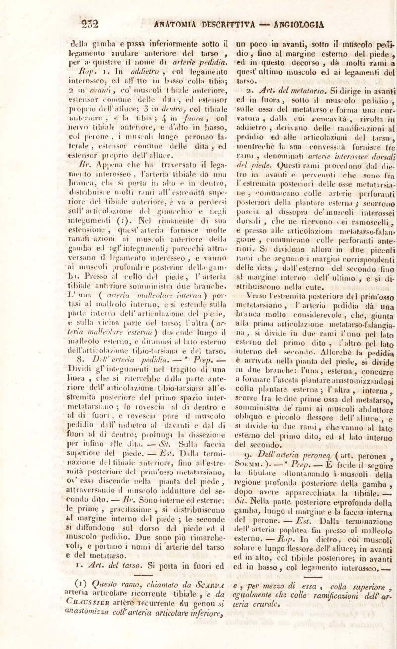 delln flamba c passa Inferiormente sotto il lef^amenlo anulare anteriore del tarso , per a' quistare il nome di arterie pedìdia. JRap. I. In addietro , eoi lej^'amenlo inlerossoo, ed ad' Ilo in basso colla tihiaj 2 in ovanti , co’ niuseoli tibiale anteriore, esleiisor comune delle dila , ed estmisor proprio dcH’iillucej 3 in dentro^ col tibiale anti'i iore , e la tibia j /j in fuora , col nervo tibiale anteriore, e d’alto in basso, col perone , i muscoli lungo peroneo la- terale , esiensor connine delle dita , ed estensor proprio dell’alluce. Br. Appena elle ha traversato il lega- mento inierosseo , Tarieria tibiale dà una ì)ranca, che si porla in alto e in dentro, dislribiiisi e molli rami all’estremità supe- riore dei ti!)lale anteriore, e va a perdersi sull’ arlieolazione del ginocehio e negli inlegurnenti ()). Ne! rimanente di sua estensione, quest’allerta fornisce molle ran.ifi,azioni ai museob anteriore della gamba ed agl'integumenti^ pareecbi attra- versano d legamento interosseo , e vanno ai muscoli jirofondi e posterior della gam- bi. Presso al cullo del piede, 1’arici ra tibiale anteriore sommiuislia due branche. L’ una ( arteria malleolare interna ) por* tasi al malleolo interno, e si estende sulla parte interna dell’ articolazione del piede, e sulla vicitta parie de! tarso*, 1’altra ( ur- tena maìleolore. esterna) discende lungo il malleolo esterno, e diramasi al lato esterno deU’articolazione libio-tarsiana e del tarso. 8. Dvlt arteria pedìdia. —• * Prep. — Dividi gl’ integumenti nel tragitto di una linea , che si riterrebbe dalla parte ante- riore deir articolazione tibio-tarsiana all’e- stremità posteriore del primo spazio inter- melatarsiaiio ; lo rovescia al di dentro e al di fuori , e rovescia pure i! muscolo jiedidio dall’ indietro al davanti e dal di fuori al di dentro; piohinga la dissezione per infino afie dita. .— Sit. Sulla faccia su|)erioie del piede. —Est. Dalla termi- nazione del tibiale anteriore, fino all’e-'ti’e- inità j)osterioie del prim’osso metatarsiaiio, ov'essa discende nella pianta de! piede, attraversamlo il musi’olo adduttore del se- condo dito, — Br. Sono interne ed esterne; le priore , gracilissime , si distribuiscono al margine interno del piede ; le seconde si dtfFondouo sul dorso del piede ed il muscolo pedidio. Due sono più riinarelie- voli, e portano i nomi di arterie del tarso e del metatarso. 1. Alt. del tarso. Si porta in fuori ed (i) Questo ramo, chiamato da Scarpa arteria articolare ricorrente tibiale, e da Chavssier al tère lecurrenle du genou si dnastomizza coWarteria articolare inferiorej un poco in avanti, sotto li muscolo pedi- dio , fino al margine esterno del piede , 'cd in questo decorso , dà molti rami a quest’ ultimo muscolo ed ai legamenti del tarso. 2. Art. del metatarso. Si dirige in avanti ed in fuora, sotto il muscolo pedidio , sulle ossa del metatarso e forma una cur- vatura , dalla cui jroneavità , rivolta iii addietro , derivano delle ramificazioni ai pedidio ed alte articolazioni del tarso, inentreehè la sua convessità fornisce tre rami , denominati arterie interossee dorsali del piede. Questi rauù pioceilono dal die- tro in avanti e pervenuti ebe sono fra r estremità poslerioii delle osse mofatarsia- ne , ■'omumeano colle ai U rie perforanti posteriori della plantare esterna ; scorrono poscia al dissopra deSnuscoli interossei dorsali , che ne ricevono ilei ramoscelli, e presso alle articolazioni melatarso-falan- giaiie , comunicano colle perforanti ante- riori. Si dividono allora in due piccoli rami che seguono i margini ('orrisj)ondenti delle d:ta , dairesterno del secondo fino a! margine interno dell’ ultimo , e si di- stribuiscono nella cute. Verso restremi là posteriore del prim’osso mefatarsiano , 1’ arteria pedidia dà una bianca mollo considerevole , ebe, giunta alla prima articolazione metatarso-falaiigia- tia , si divide in due rami l’uno pel lato esterno del primo dito , l’altro pel lato interno de! secondo. Allorché la pedidia è arrivata nella pianta del piede, si divide in due brauebe: l’uua , esterna, concorre a formare l’arcata plantare auastoinizzandosi colla plantare esterna ; 1’ altra , interna , scorre fra le due prime ossa del metatarso, somministra de’rami ai muscoli abtluttore oliliquo e piccolo flessore dell’alluce , e si divide ili due rami, che vanno al lato esterno del primo dito, ed al lato interno del secondo. 9. Dell'arteria peroneq ( art. peronea , Soemm. )• — * Prep. — D tacile il seguire la li|)uldre allontanando i-muscoli della regione profonda posteriore della gamba , dopo avere apparecchiala la tibiale. —. Su. Nella parte posteriore e»profonda delia gamba, lungo d margine e la faccia interna del ^ perone. — Est. Dalla terminazione dell’ arteria poplitea fin presso al malleolo esterno.—Rap. In dietro, coi muscoli solare e lungo flessore dell’alluce; in avanti ed in alto, col tibi de posteriore; in avanti ed in basso, col legamento interosseo.— e , per mezzo di essa , colla superiore , egualmente che colle ramificazioni deW ar> terla crurale.