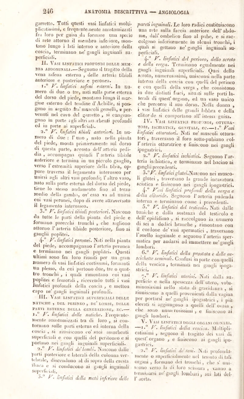 garretto. Tutti questi vasi linfatici molll- |)licatissinii, e freqiienle.nenie anastomlzzati fia loro per guisa da fortnare una sjiecie di rete attorno i! membro inferiore, mon- tano lungo i lati interno e anteriore delia coscia, terminano ne’ gangli inguinali su- perficiali. II. Vasi linfatici profondi delle mem- bra abdominali—Seguono d tragitto della vena safena esterna , delie arteiia tibiali anteriore e posteriore e peronea. K. linfatici safeni esterni. In nu- mero di due o tre, nati sulla parte esterna del dorso dei piede, nioutano luogo il mar- gine esterno del tendine d’Achille, si pon- gono in seguito fra’muscoli gemelli, 8 per- venuti nel cavo de! garretto , si congiuu- gono in parte £gli altri ass a henti profondi ed in parie ai superficiali. 2.” linfatici tibiali anteriori. In nu- mero di due ; 1’ uno , nato nella pianta del piede, monta [inmierarnente sul dorso di questa parte, accosto dell’arteria pedi- dia , accompagna quindi 1’ arteria tibiale anteriore e termina in un piccolo ganglio, verso r estremità superiore delia tibia, op- pure traversa il legamento inlerosseo per Unirsi agli altri vasi profondi, l’altro vaso, nato sulla parte esterna de! dorso del piede, tiene lo stesso andamento fino al terzo medio della gamba, ov’ esso va ad unirsi coi vasi peronei, dopo di avere attraversato il legamento inlerosseo. o.” linfatici tibiali posteriori. Nascono da tutte le parti della pianta del jiiede e formano parecchi tronchi , che saglio no attorno i’ arteria tibiale posteriore, fino ai ganglii popiitei. 4*” .linfatici peronei. Nati nella [lianla del piede, accompagnano l’arteria peronea e terminano nei gangli poplilei. Questi ultimi sono fra loro riuniti per un gran numero di vasi linfatici cortissimi, formanti Un plesso, da cui partono due, tre o quat- tro tronchi , i quali rimontano coi vasi popiitei e femorali , ricevendo tutti i vasi linlatici profondi della coscia , e metloa capo ne’ gangli inguinali profondi. HI. A'^asi lunfatut superficiali delle natiche , DEL PERINEO , De’ LOMBI, DELLE PARTI esterne DELLA GENERAZIONE, EC. J P^‘ linfatici delle natiche. Frequente- mente anastomizzali tra di loro , si con- tornano sulle parli esterna ed interna della cosi'ia , si riuniscono co’ suoi assorbenti supeificiali e con quelli del peritoneo e si portano nei gangli inguinali superficiali. 2.° P^. linfatici de lombi. Nascono dalle parli posteriore o laterali della colonna vei’- tcbr.ile, discendono al di sopra della cresta 'baca e si conducono ai gangli inguinali . supeirui,,|,. ° ^ P^. linfatici della metà inferiore delle pareti inguinali. Le loro radici costituiscono una rete sulla faccia anteriore dell’ abdo- ine, dall’ombelico fino al pube, e si rac- colgono inferiormente in alcuni tronclii, i quali si gettano ne’ ganglii inguinali su- perficiali. 4.° P^, linfatici del perineo, dello scroto e della verga. Terminano egualmente nei gangli inguinali superficiali. Quei dello scroto, numerosissimi, unisconsi nella parte interna della coscia con quelli del permeo e con quelli della verga , che consistono in due distinti fasci, situali sulle parti la- terali di quest’ organo, ed ini vaso unico Qie percorre il suo dorso. Nella donna , i vasi linfatici delle grandi labbra e della ciilor de si comportano all’ istessa guisa. IV. Vasi linfatici profondi, ottura- tori, ISCHIATICI, GENITALI, CC. 1 .” p^asi ìinfatici otturatori. Nati ne’ muscoli ottui'a- tori , traversano il foro sollo-pubiauo col- I arteria otturatrice e finiscono nei gangli ipogastrici. 2.*^ P^, linfatici ischiatici. Seguono l’ar- teria ischiatica, e terminano nel bacino ai ganglii precedenti. 0.°/^■ linfatici glutei.^àS,cov\o nei musco- li glutei , traversano la grande incavatura sciatica e finiscono nei gangli ijjogastrici. 4* P^asi linfatici profondi della verga e didla clitoride. Seguono 1’ arteria pueieiida interna e terminano come i precedenti. 5.*^ F*. linfatici del testicolo. Wiii dalle tuniche e dalla sostanza del testicolo e dell epididimo , si raccolgono in numei’O di sei a dodici branche , rimontano con il cordone de’ vasi spermatici , traversano ranello inguinale e seguono l’arteria sper- matica per andarsi ad immettere iie’iianTU lombari. ^ ° ^' linfatici della prostata e delle ve' scichelle seminali. Confusi in parte con quelli della vescica, terminali nei gangli ipoga- 7;'' ^> linfatici uterini. Nati dalla su- perficie e nella spessezza dell’utero, volu- nuiioslssimi nello stalo di gravidanza , si liuniscono a quelli provenienti dalia vagina per portarsi ne’ganglii ipogastrici, i'più elevati si aggiungono a quelli dell’ ovaia , die sono numtrosissimi , e finiscono ai gangli lombari. V. Vasi linfatici degli organi orinari. “1*'^ ^• linfatici della vescica. MoUipli- calissimi , seguono il tiagillo dei vasi di quest’ organo , e finiscono ai gangli ipo- gaslrici. 2.*^ P^. Unfallel deb reni. Nati [irofouda- niente o superficialmente nel tessuto di tali organi , formano dei (ronehi , ebe s’ uni- scono verso la di loro scissura , vanno a terminarsi ne’ gangli lombari, sui lati del- !’ aorta.