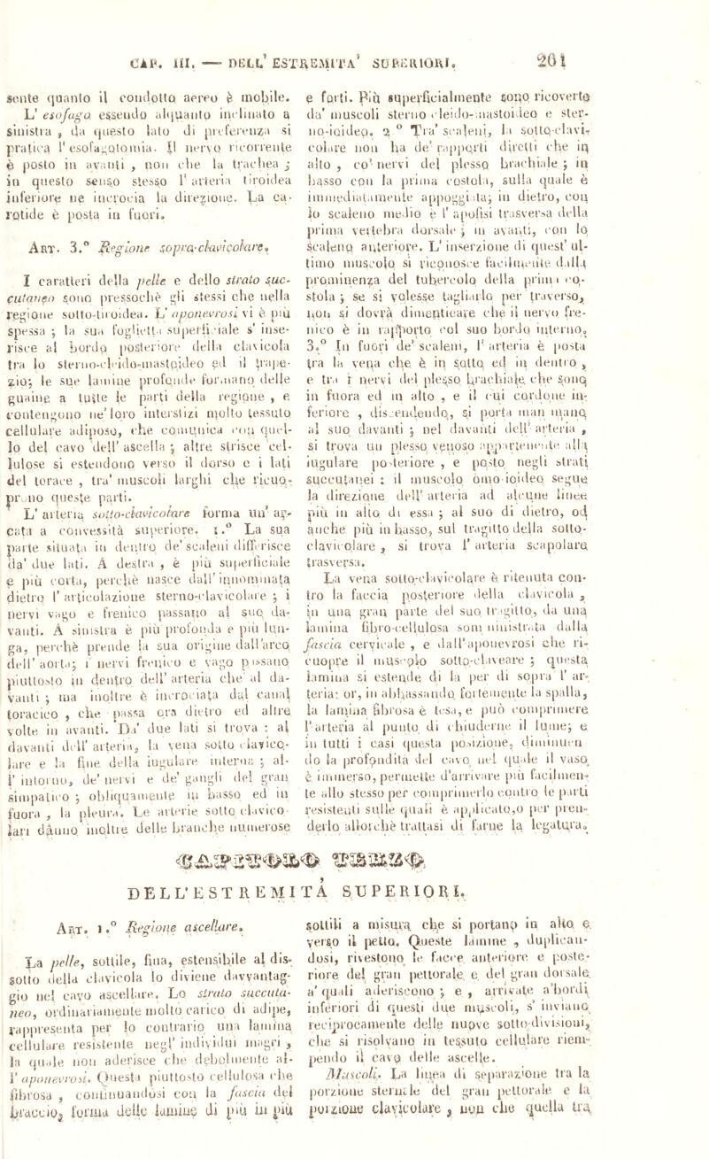 CÀF. ni. —’ dell’ estreauta’ suP.EII sente (juanlo \\ coiulottù. aereo è mobile. L’ esofago, e^semlo alciuaiitp inclinato a sinistra , ila questo lato di pnferenza si pratica 1* esofa^qlQinia. Il nei'vo ricorrente è posto in avanti , non che la tfacbea in questo seu^o stesso T arteria tiroidea inferiore ne incrocia la direzione. La ca- rotide è posta in fuori. Art. 3.” Regione j;ùpm-dai>icolare<, I caratteri della pelle e dello strato sue- cutaneo sono pressoché gli stessi che nella regione sotto-in oidea. ÌJ apone.vrosi s\ è più spessa ; la sua foglietta supef li -iale s’ inse- risce al boi'do [lostenorc della claiicola tra lo slerno-cleidoonastojdeo ed il pa|)e- g,Ì0*, le sue lanuue profonde formano delle guaine a Iurte le parti della regione , e contengono ne’loro interstizi njolto tessuto cellulare adiposo, che comunica con quel- lo del cavo 'dell’ ascella j altre, sU'isce 'cel- lulose si estendono verso il dorso e i lati del torace , tra’ inuscoìi larghi cUe ricuo,- pi\ no queste parti. L’ al iena suUo-ckmcoinre forma un’ an- cata a convessità superiore, rLa sua pai'te situala in dentro de’scaleni differisce ila’ due lati. A destra , è [)iìi superficiale e più corta, perchè nasce dall’iunoniuiata dietro I’ ai ticulazioue sterno-idavicolaie , i nervi vago e frenico piassimo al suo da- vanti. A sinistra è più profonda e pdi lun- ga, perchè prende la sua origine dall arco, (ieir aorta* t nervi frenico e vago pn.sano pinlloslo in clentro dell’ arteria che al da- vanti *, ma inoltre è incrociata da,l canal toracico , ohe passa ora dietro ed altre volte in avanti. Da’ due lati si trova : al davanti dell’ arteria, la vena sotto clavicQ- lare e la fine della iugulare intern;; ; al- i’ iatoruo, de’ nervi e de’ gangli del graii simpatico t obliquamente in basso ed ni finora, la pleura. Le arterie sotto idavico- lari dàniio uioUie delle hrauolie uuinerose 0 folti. Più sqperficialmenle sono ricoverto da’ muscoli sterno deido-mastoideo e stei’- no-ioideo, 2 Tra’ scaleni, la soUQ-clavL colare non ha de’ raiiporti diretti che iq allo , co- nervi del plesso brachiale j in basso con la jirima costola, sulla quale è iuiuiedialamenle appoggiala; in dietro, con k» scaleno medio è 1’ «[lofisi irasversa della prima veilidrra dorsale j in avanti, con lo scalena aiUeriore, L’ inser/done di quest’ ul- timo muscolo si riconosce facdincnie dalla pro.aiiuenza del tubercolo della prini i cq- stola j se si volesse tagliarlo per traverso,, non si dovrà dimenticare che il neryo fre- nico è in lap'jioiTo l'ol suo bordo iulenio. 3d In fuori de’ scaleni, 1’ arteria è posta tra la velia che, è in SQltq ed in denti o , e tra I nervi did plesso, brachiale, che sonq in fuora ed ni alto , e il cui cordone in- feriore , disreudendo, si porta man inaiiq al suo davanti ; nel davanti ilclf arteria , si trova un p.lessq venoso appaile nei ite allq iugulare poUeiiore , e posto negli strati suceutauei : il muscolo ònio ioideo, segue, la direzione deU* arteria ad alcune linee, più in alto di essa ; al suo di dietro, od anche più in basso, sul iragdlo della sollo- elavicolare , si trova l’ arteria scapolaro, trasversa. La vena solto-clavieolare è ritenuta con- tro la faccia posteriore della clavicola , pi una gran parte del suo, iraglilo, da una lamina fibro-cellulosa som iiinislrata dalla fascia cervicale , e »laira[)Onevrosi che ri- cuopre il muscolo sotto.-claveare ; cpicsta lamina si esleade di la per di sopra f ar- teria! or, in abbassando, foilemeule la spalla, la lanpua fibrosa è lesa, e può comprimere r arteria al punto di i hiudcrne il lume; e, in tulli i casi (luesla [lO'.izioiie, (.hiiiinucu do la profondità ilei cavo_ nel c|Uale il vaso_ è immerso, periuelte d’arrivare [)iù tacihnen- le allo stesso per com|)rimerlo conilo te parti resistenti sulle (juali è applicalo,o [icr preu- derlo allorché Irallasi di farne la Icgalurao DELL’ESTREMITÀ SUPERIORI. Art. I Regione ascellare^ La pelle., sottile, fina, estensibile al dis- gotto della chiyicola lo diviene davvantag- gio nel cavo ascellare. Lo strato succula- Ileo, ordinariamente mollo carico di adqie, ì’appreseuta per lo contraiio una lamina cellulare resistente negl’ iiuiividui magri , la qu.ile non aderisce che debolmente al- [' aponeerusi. Questa piuttosto cellulosa elie fibrosa , coulinuaiulosi con la fascia dei bi'dcoio, l'oiTua delio iamiuq di piu in più sottili a misura, che si portanq In alto 0. yeifio il petto. Queste lamine , du|dican- dosi, rivestono le facce anteriore e poste- riore de! gran pettorale e del gran dorsale a’ quali aderiscono ; e , ainvate a’bordi iiifèriori di cpresli due mqscolb s inviano reciprocamente delle nuqvc soltoalivisloui, che si risolvano in tessuto cellulare riem- pendo il cavq delle ascelle. IMuscolL La linea di separazione tra la porzione stel lar le del gran pettorale e la poiitiouo dciyjoolare ^ nu.u ohe qucila ira.