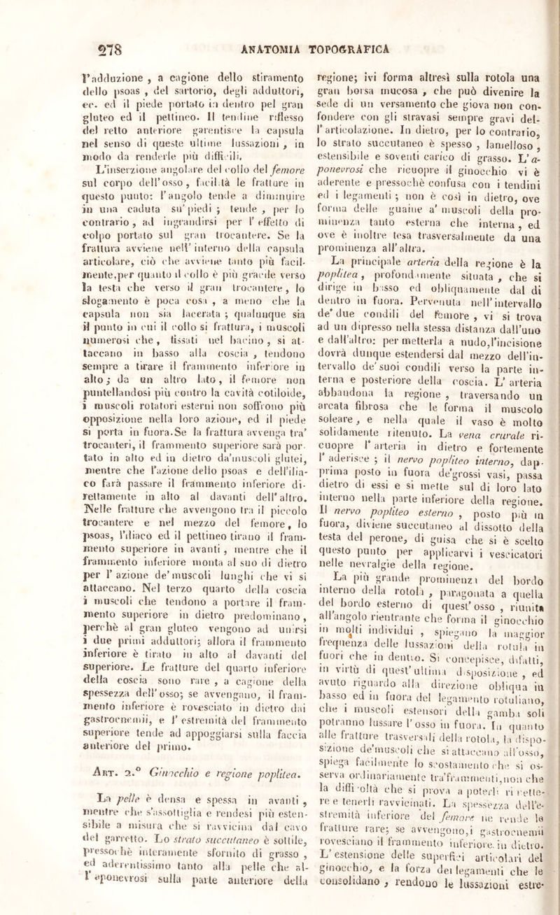 l’adduzione , a cagione dello stiramento dello psoas , del sartorio, degli adduttori, ec. ed il piede yiorlato i » dentro pel gran gluteo ed il peltineo. Il tendine riflesso del retto anteriore garentisre la capsula nel senso di queste ultime lussazioni , in modo da renderle più diffieili. L’inserzione angolare del collo dei femore sul corpo dell’osso, facildà le fratture in fjuesto punto*, l'angolo tende a diminuire in una caduta su’|)iedi ; tende , per lo contrario, ad ingrandirsi per 1’ effetto di colpo portalo sul gran trocantere. Se la frattura avviene nell’ interno della capsula articolare, ciò che avviene tanto più facil- mente,per quanto d collo è più gracile veiso la testa che verso il gran trocantere, lo slogamento è poca cosa , a meno che la capsula non sia lacerata ; qualunque sia il punto in cui il collo si frattura, i muscoli uumerosi che , tìssali nel hacino , si at- taccano in basso alla coscia , tendono sempre a tirare il frainmento inferiore in alto; da un altro lato, il femore non puntellandosi più eontio la cavità cotiloide, i muscoli rotatori esterni non soffrono più opposizione nella loro azione, ed il piede si porta in fuora.Se la fiattura avvenga tra’ trocanteri, il frammento superiore sarà por tato in alto ed in dietro da’inuscoli glutei, mentre che fazione dello psoas e deirilia* co farà passare il frammento inferiore di- rettamente in allo al davanti dell'altro. Kelle fratture che avvengono Ira il j)ic('olo trocantere e nel mezzo del femore, lo psoas, l’iliaco ed il peltineo tirano il fi-am- mento superiore iu avanti , mentre che il frammento inferiore monta al suo di dietro per l’azione de’muscoli lunghi che vi si attaccano. Nel terzo quarto della coscia i muscoli che tendono a portare il fram- mento superiore in dietro predominano, perchè a! gran gluteo vengono ad unirsi i due primi adduttori; allora il frammento inferiore è tirato in alto al davanti tlel superiore. Le h’attui'e del quarto mferioi'c della coscia sono rare , a cagione della spessezza dell’osso; se avvengano,, il fram- mento inferiore è rovesciato in dietro dai gastroenemii, e j’ estremità del frammento superiore tende ad appoggiarsi sulla faccia anteriore del primo. Art. 2.° Cr!nocchio e regione poplìlea. La pelle è densa e spessa in avanti , mentre che s’assottiglia e rendesi piti esten- sibile a misura che si ravvicina dal ca.vo del garretto. Lo stralo siiccutaneo è sottile, pressoché interamente sfornilo di grasso , ed aderentissimo tanto alla pelle che rd- f eponevi'osi sulla parte anteriore della regione; ivi forma altresì sulla rotola una gran borsa mucosa , che può divenire la Selle di un versamento che giova non con- fondei’e con gli stravasi sempre gravi del- r articolazione. Indietro, per lo contrario, 10 strato succutaneo è spesso , lameiloso , estensibile e soventi carico di grasso. L’a- ponevrosì che ricuopre il ginocchio vi è aderente e pressoché confusa con i tendini ed i legamenti ; non è così in dietro, ove forma delle guaine a’ muscoli della pro- minenza tanto esterna che interna, ed ove è inoltre tesa trasversalmente da una prominenza all’altra. La principale arteria della regione è la poplìlea, profondi mente situata, che si dirige in bisso ed ohliqnameiile dal di dentro in fuora. Pervenuta nell’intervallo de’due condili del fcinore , vi si trova ad un dipresso nella stessa distanza daH’uno e daU’aliro; permetterla a nudo,rincisione dovrà dunque estendersi dal mezzo deH’in- tervallo de'suoi condili verso la parte in- terna e posteriore della coscia. L’arteria abbandona la regione , traversando un arcala fibrosa che le forma il muscolo solcate, e nella quale il vaso è molto solidamente litenuto. La vena crurale ri- cuopie 1 arteria in dietro e fortemente 1 adeiisce ; il nervo pophteo interno, dap- piitna posto in fuora de’grossi vasi, passa dietro di essi e si mette sul di loro lato interno nella parte inferiore della regione. 11 nervo popliteo esterno , posto più ni fuora, diviene succutaneo al dissolto della testa del perone, di guisa che si è scelto questo punto per applicarvi i vescicatori nelle nevralgie della regione. La più grande prominenzi del bordo interno delia rotola , paragonata a quella del^ bordo esterno di quest’osso , riunita all angolo rientrante che forma il ginocchio in molti individui , spiegano la maggior frequenza delle lussazioni deii.i rotai,i in fuori che in deniio. Si concepisce, difatli, in virtù di quest’ultima disposizione, ed avuto riguardo alla direzione obliqua in basso ed in fuora del legamento rotuliauo, che i muscoli estensori della gamba soli potranno lussare l’osso in fuora. In quanto alle fratture trasversali della rotola, la dispo- sizione de’muscoli che si attaccamo ailosso, spiega facilmente lo scostamento che. si os- serva orjluanamentc tra’franimei)ti,non che la diflì’oltà che si prova a poterli ri rette- re e tenerli ravvicinati. La spessezza dell’e- slremità inferiore del femore ne rende la fialiuie lare; se avvengono,! gastroenemii rovesciano il frammento inferiore, in dietro. L’estensione delle superfici articolari del ginoci hio, e la iorza dei legamenti che le consolidano , rendono le lussazioni eslre*