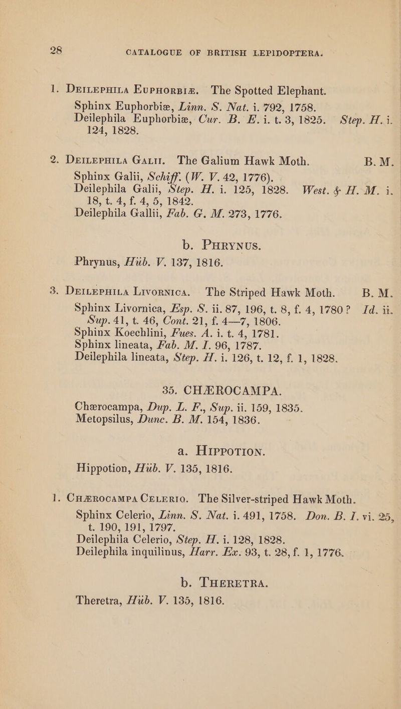 1. Dertepuina Eupuorsiz. The Spotted Elephant. Sphinx Euphorbie, Linn. S. Nat. i. 792, 1758. Deilephila Euphorbie, Cur. B. E.i. t. 3, 1825. Step. H.i. 124, 1828. 2. DEILEPHILA Gattt. The Galium Hawk Moth. B.M. Sphinx Galii, Schiff. (W. V. 42, 1776). Deilephila Galii, Step. H. i. 125, 1828. West. &amp; H. M. i. 18, t. 4, f. 4, 5, 1842. Deilephila Gallii, Fab. G. M. 273, 1776. b. PHRyYNUs. Phrynus, Hub. V. 137, 1816. 3. DerLepnita Livornica. The Striped Hawk Moth. B. MR Sphinx Livornica, Esp. S. ii. 87, 196, t. 8, f. 4, 1780? Td. ii. Sup. 41, t. 46, Cont. 21, f. 4—7, 1806. Sphinx Koechlini, Fues. A. i. t. 4, 1781. Sphinx lineata, Fab. M. I. 96, 1787. Deilephila lineata, Step. H. i. 126, t. 12, £ 1, 1828. 35. CHAAROCAMPA. Cherocampa, Dup. L. F., Sup. ii. 159, 1835. Metopsilus, Dunc. B. M. 154, 1836. a. HIPPoTION. Hippotion, Hub. V. 135, 1816. 1. Co#rocampa Ce erio. The Silver-striped Hawk Moth. Sphinx Celerio, Linn. S. Nat. i. 491, 1758. Don. B. I. vi. 25, t. 190, 191, 1797. Deilephila Celerio, Step. H. i. 128, 1828. Deilephila inquilinus, Harr. Ha. 93, t. 28, f. 1, 1776. b. THERETRA. Theretra, Hub. V. 135, 1816.