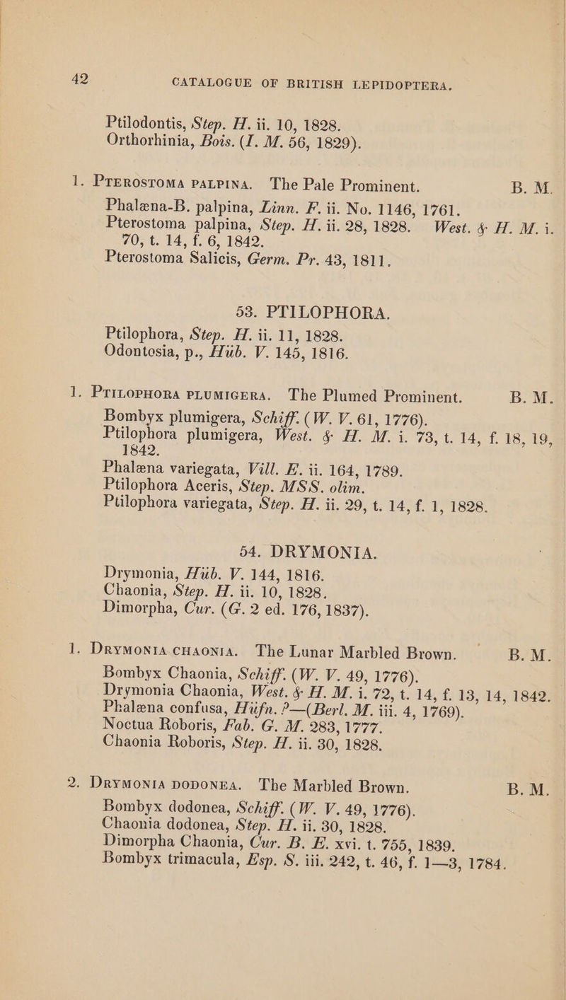 Ptilodontis, Step. H. ii. 10, 1828. Orthorhinia, Bois. (I. M. 56, 1829). 1. Prerostoma paupina. The Pale Prominent. B. M. Phalena-B. palpina, Linn. F. ii. No. 1146, 1761. Pterostoma palpina, Step. H. ii. 28,1828. West. &§& H. M. i. 70, t. 14, f. 6, 1842. Pterostoma Salicis, Germ. Pr. 43, 1811. 53. PTILOPHORA. Ptilophora, Step. H. ii. 11, 1828. Odontosia, p., Hub. V. 145, 1816. 1. PrinopHora PLUMIGERA. The Plumed Prominent. B. M. Bombyx plumigera, Schiff. (W. V. 61, 1776). Ptilophora plumigera, West. § H. M. i. 73, t. 14, f. 18, 19, 1842. Phalena variegata, Vill. HE. ii. 164, 1789. Ptilophora Aceris, Step. MSS. olim. Ptilophora variegata, Step. H. ii. 29, t. 14, f. 1, 1828. 54. DRYMONIA. Drymonia, Hub. V. 144, 1816. Chaonia, Step. H. ii. 10, 1828. Dimorpha, Cur. (G. 2 ed. 176, 1837). 1. Drymonta cHaonra. The Lunar Marbled Brown. | B. M. Bombyx Chaonia, Schiff. (W. V. 49, 1776). Drymonia Chaonia, West. & H. M. i. 72, t. 14, f. 18, 14, 1842. Phalena confusa, Hufn. ?—(Berl. M. iii. 4, 1769). Noctua Roboris, Fab. G. M. 283, 1777. Chaonia Roboris, Step. H. ii. 30, 1828. 2. Drymonia poponEA. The Marbled Brown. B. M. Bombyx dodonea, Schiff. (W. V. 49, 1776). Chaonia dodonea, Step. H. ii. 30, 1828. Dimorpha Chaonia, Cur. B. E. xvi. t. 755, 1839. Bombyx trimacula, Zsp. S. iii. 242, t. 46, f. 1—3, 1784.