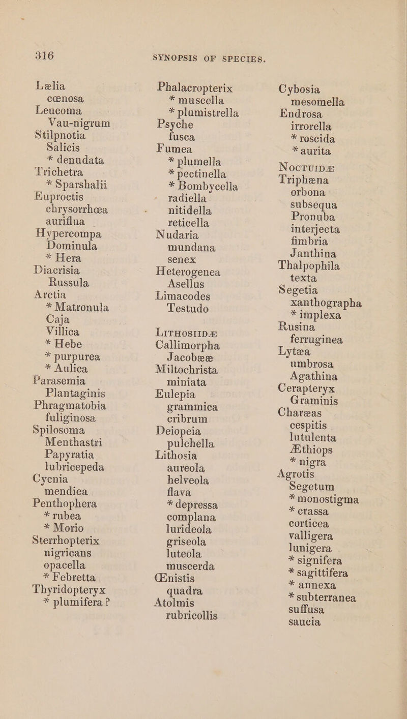 Lelia coenosa Leucoma Vau-nigrum Stilpnotia Salicis * denudata Trichetra * Sparshalii Euproctis chrysorrheea aurifiua _ Hypercompa Dominula * Hera Diacrisia Russula Aretia * Matronula Caja Villica * Hebe * purpurea * Aulica Parasemia Plantaginis Phragmatobia fuliginosa Spilosoma Menthastri Papyratia lubricepeda Cycnia mendica Penthophera * rubea * Morio Sterrhopterix nigricans opacella * Febretta Thyridopteryx * plumifera P Phalacropterix * muscella * plumistrella Psyche fusca Fumea * plumella * pectinella * Bombycella radiella nitidella reticella Nudaria mundana senex Heterogenea Asellus Limacodes Testudo LitHosiipa Callimorpha Jacobee Miltochrista miniata Eulepia grammica cribrum Deiopeia pulchella Lithosia aureola helveola flava * depressa complana lurideola griseola lutecla muscerda (Enistis quadra Atolmis rubricollis Cybosia mesomella Endrosa irrorella * roscida * aurita NoctTuip2z Triphena orbona subsequa Pronuba interjecta fimbria Janthina Thalpophila texta Segetia xanthographa * implexa Rusina ferruginea Lytea umbrosa Agathina Cerapteryx Graminis Chareas cespitis lutulenta Kthiops * nigra Agrotis Segetum * monostigma * crassa corticea valligera lunigera * sionifera * sagittifera * annexa * subterranea suffusa saucia