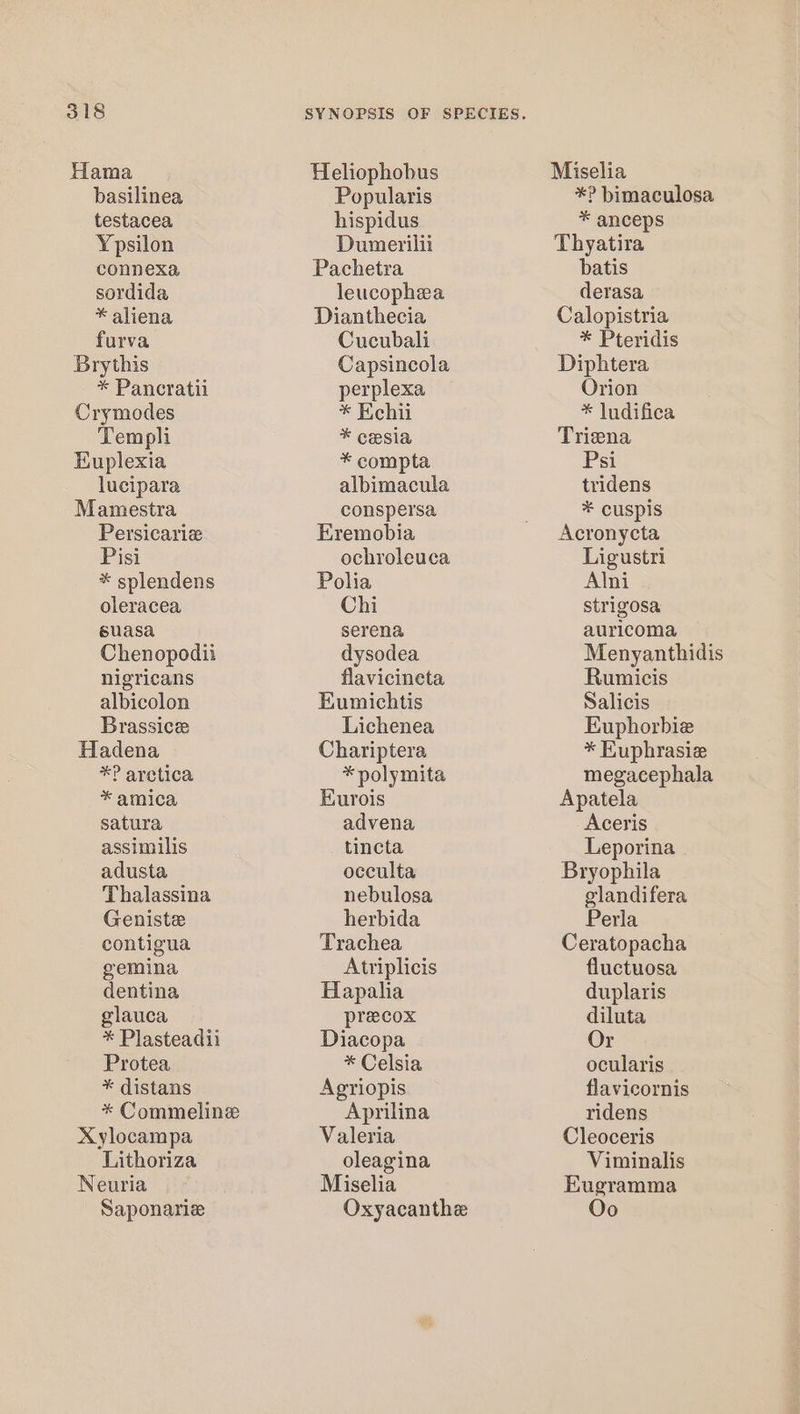Hama basilinea testacea Ypsilon connexa sordida * aliena furva Brythis * Pancratii Crymodes Templi Kuplexia lucipara Mamestra Persicariz Pisi * splendens oleracea suasa Chenopodii nigricans albicolon Brassice Hadena *P arctica * amica satura assimilis adusta Thalassina Geniste contigua gemina dentina glauca * Plasteadii Protea * distans * Commeline Xylocampa Lithoriza Neuria Saponarie Heliophobus Popularis hispidus Dumerilii Pachetra leucophea Dianthecia Cucubali Capsincola perplexa * Echii * cesia * compta albimacula conspersa Eremobia ochroleuca Polia Chi serena dysodea flavicineta Eumichtis Lichenea Chariptera *polymita Eurois advena tincta occulta nebulosa herbida Trachea Atriplicis Hapalia precox Diacopa * Celsia Agriopis Aprilina Valeria oleagina Miselia Oxyacanthe Miselia *? bimaculosa * anceps Thyatira batis derasa Calopistria * Pteridis Diphtera Orion * ludifica Triena Psi tridens ¥* cuspis Acronycta Ligustri Alni strigosa auricoma Menyanthidis Rumicis Salicis Euphorbie * Kuphrasie megacephala Apatela Aceris Leporina Bryophila glandifera Perla Ceratopacha fluctuosa duplaris diluta Or ocularis flavicornis ridens Cleoceris Viminalis Eugramma Oo