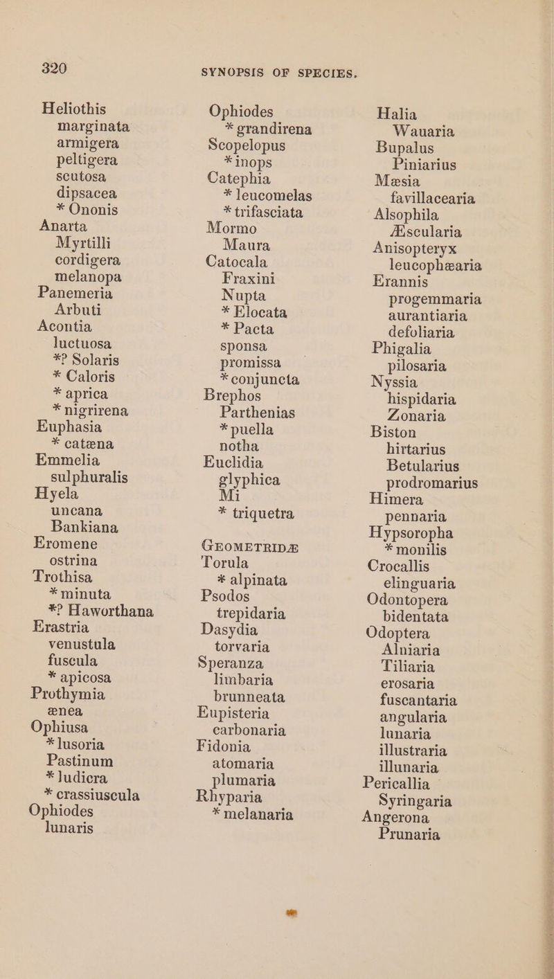 Heliothis marginata armigera peltigera scutosa dipsacea * Ononis Anarta Myrtilli cordigera melanopa Panemeria Arbuti Acontia luctuosa *? Solaris * Caloris * aprica * niogrirena Kuphasia * catena Emmelia sulphuralis Hyela uncana Bankiana Eromene ostrina Trothisa * minuta *? Haworthana Erastria venustula fuscula * apicosa Prothymia nea Ophiusa * lusoria Pastinum ¥* Judicra * crassiuscula Ophiodes lunaris Ophiodes * grandirena Scopelopus * inops Catephia * leucomelas * trifasciata Mormo Maura Catocala Fraxini Nupta * Klocata * Pacta sponsa promissa * conjuncta Brephos Parthenias * puella notha Euclidia glyphica Mi * triquetra GEOMETRIDZ Torula * alpinata Psodos trepidaria Dasydia torvaria Speranza limbaria brunneata Eupisteria carbonaria Fidonia atomaria plumaria Rhyparia * melanaria Halia Wauaria Bupalus Piniarius Mesia favillacearia Alsophila AXscularia Anisopteryx leucophearia Erannis progemmaria aurantiaria defoliaria Phigalia pilosaria Nyssia hispidaria Zonaria Biston hirtarius Betularius prodromarius Himera pennaria Hypsoropha * monilis Crocallis elinguaria Odontopera bidentata Odoptera Alniaria Tiliaria erosaria fuscantaria angularia lunaria illustraria illunaria Pericallia Syringaria Angerona Prunaria