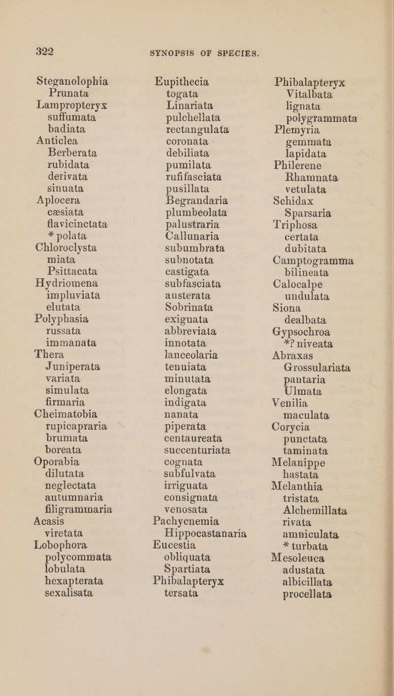 Steganolophia Prunata Lampropteryx suffumata badiata Anticlea Berberata rubidata derivata sinuata Aplocera cesiata flavicinctata * polata Chloroclysta miata Psittacata Hydriomena impluviata elutata Polyphasia russata immanata Thera Juniperata variata simulata firmaria Cheimatobia rupicapraria brumata boreata Oporabia dilutata neglectata autumnaria filigrammaria Acasis viretata Lobophora polycommata lobulata hexapterata togata Linariata pulchellata rectangulata coronata debiliata pumilata rufifasciata pusillata Begrandaria plumbeolata palustraria Callunaria subumbrata subnotata castigata subfasciata austerata Sobrinata exiguata abbreviata innotata lanceolaria tenuiata minutata elongata indigata nanata piperata centaureata succenturiata cognata subfulvata irriguata consignata venosata Hippocastanaria obliquata Spartiata Phibalapteryx Vitalbata lignata polygrammata Plemyria gemmata lapidata Philerene Rhamnata vetulata Schidax Sparsaria Triphosa certata dubitata Camptogramma bilineata Calocalpe undulata Siona dealbata Gypsochroa *? niveata Abraxas Grossulariata pantaria Ulmata Venilia maculata Corycia punctata taminata Melanippe hastata Melanthia tristata Alchemillata rivata amniculata * turbata Mesoleuca adustata albicillata