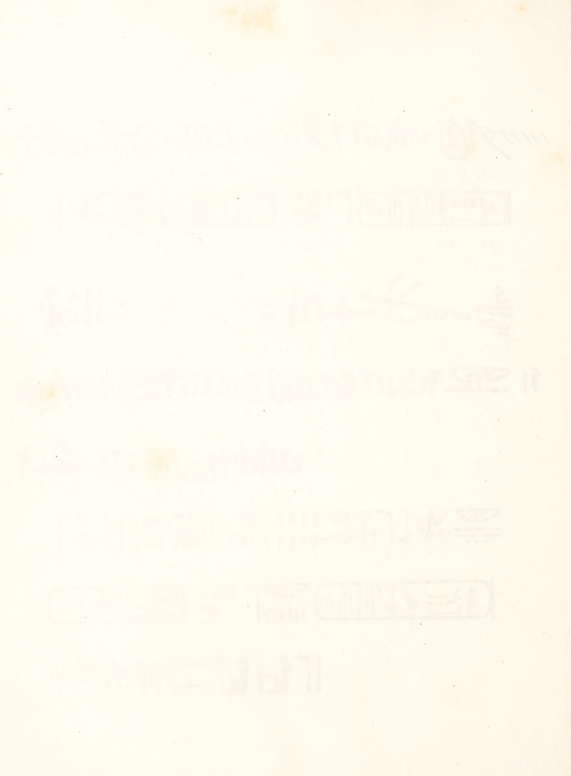 > . •f J »•* .-1 > ' k k . ‘ > • * ^ - ‘ i+' .V ■/ Tr.' T' \ \ 4A ^ % H y OR#’ » ' % \ ( •tA