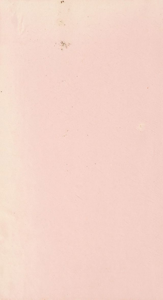 digitised image 2