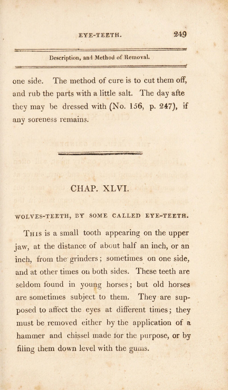 EYE-TEETH, 24$ Description, and Method of Removal. one side. The method of cure is to cut them off, and rub the parts with a little salt. The day afte they may be dressed with (No. 156, p. 247), if any soreness remains. CHAP. XLVI. WOLVES-TEETH, BY SOME CALLED EYE-TEETH. This is a small tooth appearing on the upper jaw, at the distance of about half an inch, or an inch, from the grinders; sometimes on one side, and at other times on both sides. These teeth are seldom found in young horses; but old horses are sometimes subject to them. They are sup- posed to affect the eyes at different times; they must be removed either by the application of a hammer and chissel made tor the purpose, or by filing them down level with the gums.