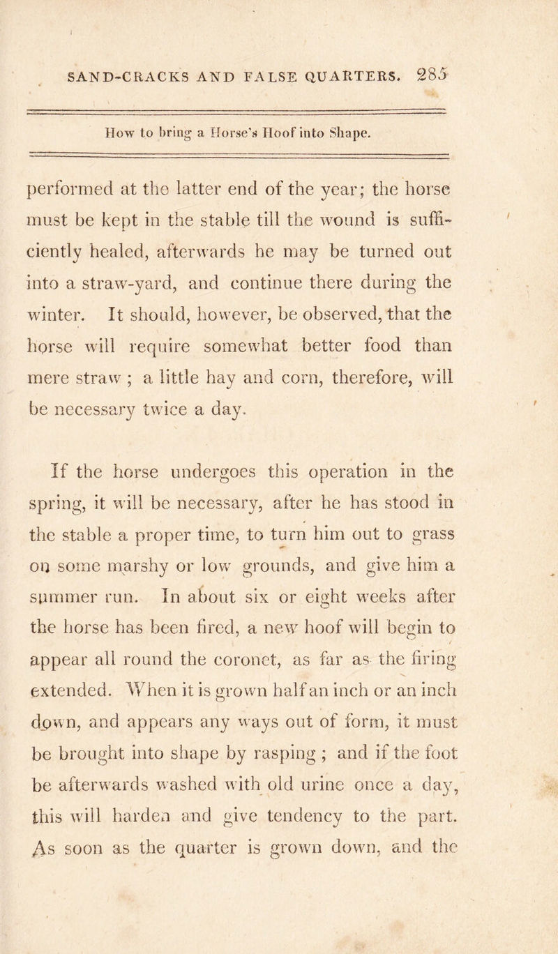 SAND-CRACKS AND FALSE QUARTERS* 285 How to bring a Horse's Hoof into Shape. performed at the latter end of the year; the horse must be kept in the stable till the wound is suffi- ciently healed, afterwards he may be turned out into a straw-yard, and continue there during the winter. It should, however, be observed, that the horse will require somewhat better food than mere straw ; a little hay and corn, therefore, will be necessary twice a day. If the horse undergoes this operation in the spring, it will be necessary, after he has stood in the stable a proper time, to turn him out to grass on some marshy or low grounds, and give him a summer run. In about six or eight weeks after the horse has been fired, a new hoof will begin to appear all round the coronet, as far as the firing extended. When it is grown half an inch or an inch dpwn, and appears any ways out of form, it must be brought into shape by rasping ; and if the foot be afterwards washed with old urine once a day, this will harden and give tendency to the part. As soon as the quarter is grown down, and the