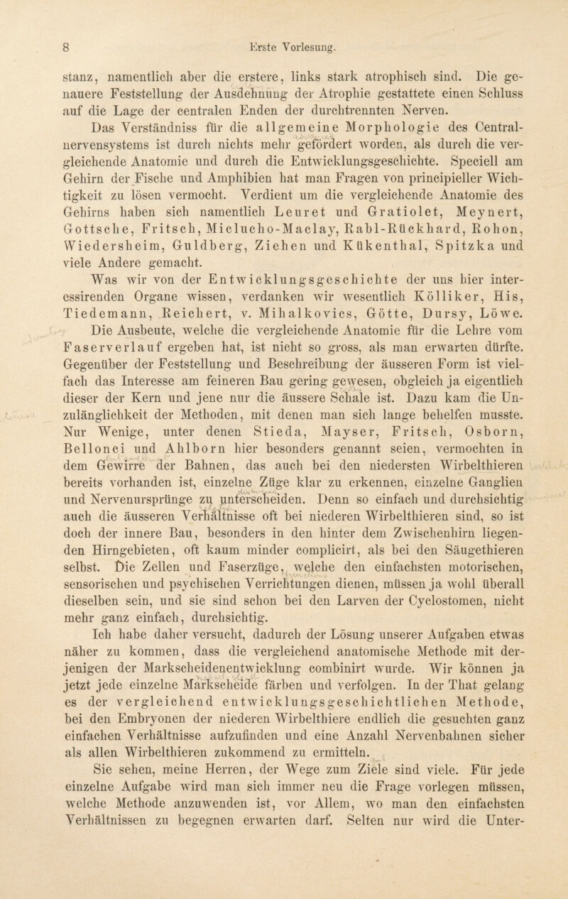 stanz, namentlich aber die erstere, links stark atrophisch sind. Die ge¬ nauere Feststellung der Ausdehnung der Atrophie gestattete einen Schluss auf die Lage der centralen Enden der durchtrennten Nerven. Das Verständniss für die allgemeine Morphologie des Central¬ nervensystems ist durch nichts mehr gefördert worden, als durch die ver¬ gleichende Anatomie und durch die Entwicklungsgeschichte. Speciell am Gehirn der Fische und Amphibien hat man Fragen von principieller Wich¬ tigkeit zu lösen vermocht. Verdient um die vergleichende Anatomie des Gehirns haben sich namentlich Leuret und Gratiolet, Meynert, Gottsche, Fritsch, Miclucho-Maclay, Rabl-Rückhard, Rohon, Wiedersheim, Guldberg, Ziehen und Kükenthal, Spitzka und viele Andere gemacht. Was wir von der Entwicklungsgeschichte der uns hier inter- essirenden Organe wissen, verdanken wir wesentlich Kölliker, His, Tiedemann, Reichert, v. Mihalkovics, Götte, Dursy, Löwe. Die Ausbeute, welche die vergleichende Anatomie für die Lehre vom Faserverlauf ergeben hat, ist nicht so gross, als man erwarten dürfte. Gegenüber der Feststellung und Beschreibung der äusseren Form ist viel¬ fach das Interesse am feineren Bau gering gewesen, obgleich ja eigentlich dieser der Kern und jene nur die äussere Schale ist. Dazu kam die Un¬ zulänglichkeit der Methoden, mit denen man sich lange behelfen musste. Nur Wenige, unter denen Stieda, Mayser, Fritsch, Osborn, Bellonci und Ahlborn hier besonders genannt seien, vermochten in dem Gewirre der Bahnen, das auch bei den niedersten Wirbelthieren bereits vorhanden ist, einzelne Züge klar zu erkennen, einzelne Ganglien und Nervenursprünge zu unterscheiden. Denn so einfach und durchsichtig auch die äusseren Verhältnisse oft bei niederen Wirbelthieren sind, so ist doch der innere Bau, besonders in den hinter dem Zwischenhirn liegen¬ den Hirngebieten, oft kaum minder complicirt, als bei den Säugethieren selbst. Die Zellen und Faserzüge, welche den einfachsten motorischen, sensorischen und psychischen Verrichtungen dienen, müssen ja wohl überall dieselben sein, und sie sind schon bei den Larven der Cyclostomen, nicht mehr ganz einfach, durchsichtig. Ich habe daher versucht, dadurch der Lösung unserer Aufgaben etwas näher zu kommen, dass die vergleichend anatomische Methode mit der¬ jenigen der Markscheidenentwicklung combinirt wurde. Wir können ja jetzt jede einzelne Markscheide färben und verfolgen. In der That gelang es der vergleichend entwicklungsgeschichtlichen Methode, bei den Embryonen der niederen Wirbelthiere endlich die gesuchten ganz einfachen Verhältnisse aufzufinden und eine Anzahl Nervenbahnen sicher als allen Wirbelthieren zukommend zu ermitteln. Sie sehen, meine Herren, der Wege zum Ziele sind viele. Für jede einzelne Aufgabe wird man sich immer neu die Frage vorlegen müssen, welche Methode anzuwenden ist, vor Allem, wo man den einfachsten Verhältnissen zu begegnen erwarten darf. Selten nur wird die Unter-