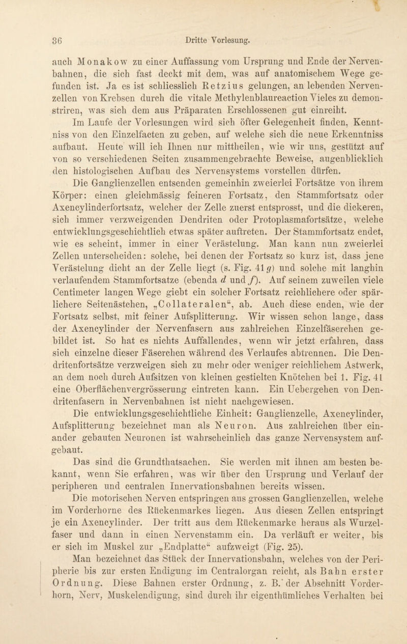 auch Monakow zu einer Auffassung vom Ursprung und Ende der Nerven¬ bahnen, die sich fast deckt mit dem, was auf anatomischem Wege ge¬ funden ist. Ja es ist schliesslich Retzius gelungen, an lebenden Nerven¬ zellen von Krebsen durch die vitale Methylenblaureaction Vieles zu demon- striren, was sich dem aus Präparaten Erschlossenen gut einreiht. Im Laufe der Vorlesungen wird sich öfter Gelegenheit finden, Kennt- niss von den Einzeltacten zu gehen, auf welche sich die neue Erkenntniss aufbaut. Heute will ich Ihnen nur mittheilen, wie wir uns, gestützt auf von so verschiedenen Seiten zusammengebrachte Beweise, augenblicklich den histologischen Aufbau des Nervensystems vorstellen dürfen. Die Ganglienzellen entsenden gemeinhin zweierlei Fortsätze von ihrem Körper: einen gleichmässig feineren Fortsatz, den Stammfortsatz oder Axencylinderfortsatz, welcher der Zelle zuerst entsprosst, und die dickeren, sich immer verzweigenden Dendriten oder Protoplasmafortsätze, welche entwicklungsgeschichtlich etwas später auftreten. Der Stammfortsatz endet, wie es scheint, immer in einer Verästelung. Man kann nun zweierlei Zellen unterscheiden: solche, bei denen der Fortsatz so kurz ist, dass jene Verästelung dicht an der Zelle liegt (s. Fig. 41 g) und solche mit langbin verlaufendem Stammfortsatze (ebenda d und f). Auf seinem zuweilen viele Centimeter langen Wege giebt ein solcher Fortsatz reichlichere oder spär¬ lichere Seitenästchen, „Collateralen“, ab. Auch diese enden, wie der Fortsatz selbst, mit feiner Aufsplitterung. Wir wissen schon lange, dass der Axencylinder der Nervenfasern aus zahlreichen Einzelfäserchen ge¬ bildet ist. So hat es nichts Auffallendes, wenn wir jetzt erfahren, dass sich einzelne dieser Fäserchen während des Verlaufes abtrennen. Die Den¬ dritenfortsätze verzweigen sich zu mehr oder weniger reichlichem Astwerk, an dem noch durch Aufsitzen von kleinen gestielten Knötchen bei 1. Fig. 41 eine Oberflächenvergrösserung eintreten kann. Ein Uebergehen von Den¬ dritenfasern in Nervenbahnen ist nicht nachgewiesen. Die entwicklungsgeschichtliche Einheit: Ganglienzelle, Axencylinder, Aufsplitterung bezeichnet man als Neuron. Aus zahlreichen über ein¬ ander gebauten Neuronen ist wahrscheinlich das ganze Nervensystem auf¬ gebaut. Das sind die Grundthatsachen. Sie werden mit ihnen am besten be¬ kannt, wenn Sie erfahren, was wir über den Ursprung und Verlauf der peripheren und centralen Innervationsbahnen bereits wissen. Die motorischen Nerven entspringen aus grossen Ganglienzellen, welche im Vorderhorne des Rückenmarkes liegen. Aus diesen Zellen entspringt je ein Axencylinder. Der tritt aus dem Rückenmarke heraus als Wurzel¬ faser und dann in einen Nervenstamm ein. Da verläuft er weiter, bis er sich im Muskel zur „Endplatte“ aufzweigt (Fig. 25). Man bezeichnet das Stück der Innervationsbahn, welches von der Peri¬ pherie bis zur ersten Endigung im Centralorgan reicht, als Bahn erster Ordnung. Diese Bahnen erster Ordnung, z. B. der Abschnitt Vorder¬ horn, Nerv, Muskelendigung, sind durch ihr eigenthiimliches Verhalten bei