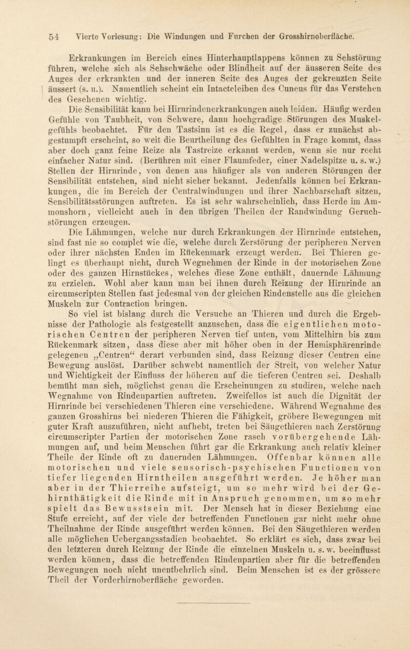 Erkrankungen im Bereich eines Hinterhauptlappens können zu Sehstörung führen, welche sich als Sehschwache oder Blindheit auf der äusseren Seite des Auges der erkrankten und der inneren Seite des Auges der gekreuzten Seite I äussert (s. u.). Namentlich scheint ein Intactcleiben des Cuneus für das Verstehen des Gesehenen wichtig. Die Sensibilität kann bei Hirnrindenerkrankungen auch leiden. Häufig werden Gefühle von Taubheit, von Schwere, dann hochgradige Störungen des Muskel¬ gefühls beobachtet. Für den Tastsinn ist es die Regel, dass er zunächst ab¬ gestumpft erscheint, so weit die Beurtheilung des Gefühlten in Frage kommt, dass aber doch ganz feine Reize als Tastreize erkannt werden, wenn sie nur recht einfacher Natur sind. (Berühren mit einer Flaumfeder, einer Nadelspitze u. s. w.) Stellen der Hirnrinde, von denen aus häufiger als von anderen Störungen der Sensibilität entstehen, sind nicht sicher bekannt. Jedenfalls können bei Erkran¬ kungen, die im Bereich der Central Windungen und ihrer Nachbarschaft sitzen, Sensibilitätsstörungen auftreten. Es ist sehr wahrscheinlich, dass Herde im Am¬ monshorn, vielleicht auch in den übrigen Theilen der Randwindung Geruch¬ störungen erzeugen. Die Lähmungen, welche nur durch Erkrankungen der Hirnrinde entstehen, sind fast nie so complet wie die, welche durch Zerstörung der peripheren Nerven oder ihrer nächsten Enden im Rückenmark erzeugt werden. Bei Thieren ge¬ lingt es überhaupt nicht, durch Wegnehmen der Rinde in der motorischen Zone oder des ganzen Hirnstückes, welches diese Zone enthält, dauernde Lähmung zu erzielen. Wohl aber kann man bei ihnen durch Reizung der Hirnrinde an circumscripten Stellen fast jedesmal von der gleichen Rindenstelle aus die gleichen Muskeln zur Contraction bringen. So viel ist bislang durch die Versuche an Thieren und durch die Ergeb¬ nisse der Pathologie als festgestellt anzusehen, dass die eigentlichen moto¬ rischen Centren der peripheren Nerven tief unten, vom Mittelhirn bis zum Rückenmark sitzen, dass diese aber mit höher oben in der Hemisphärenrinde gelegenen „Centren“ derart verbunden sind, dass Reizung dieser Centren eine Bewegung auslöst. Darüber schwebt namentlich der Streit, von welcher Natur und Wichtigkeit der Einfluss der höheren auf die tieferen Centren sei. Deshalb bemüht man sich, möglichst genau die Erscheinungen zu studiren, welche nach Wegnahme von Rindenpartien auftreten. Zweifellos ist auch die Dignität der Hirnrinde bei verschiedenen Thieren eine verschiedene. Während Wegnahme des ganzen Grosshirns bei niederen Thieren die Fähigkeit, gröbere Bewegungen mit guter Kraft auszuführen, nicht aufhebt, treten bei Säugethieren nach Zerstörung circumscripter Partien der motorischen Zone rasch vorübergehende Läh¬ mungen auf, und beim Menschen führt gar die Erkrankung auch relativ kleiner Theile der Rinde oft zu dauernden Lähmungen. Offenbar können alle motorischen und viele sensorisch-psychischen Functionen von tiefer liegenden Ilirntheilen ausgeführt werden. Je höher man aber in der Thierreihe aufsteigt, um so mehr wird bei der G e - hirnthätigkeit die Rinde mit in Anspruch genommen, umso mehr spielt das Bewusstsein mit. Der Mensch hat in dieser Beziehung eine Stufe erreicht, auf der viele der betreffenden Functionen gar nicht mehr ohne Theilnahme der Rinde ausgeführt werden können. Bei den Säugethieren werden alle möglichen Uebergangsstadien beobachtet. So erklärt es sich, dass zwar bei den letzteren durch Reizung der Rinde die einzelnen Muskeln u. s. w. beeinflusst werden können, dass die betreffenden Rindenpartien aber für die betreffenden Bewegungen noch nicht unentbehrlich sind. Beim Menschen ist es der grössere Theil der Vorderhirnoberfläche geworden.