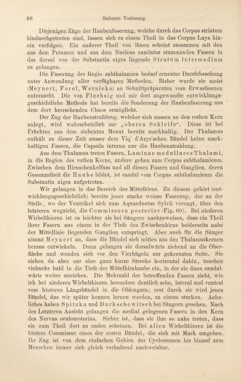 Diejenigen Züge der Haubenfaserung, welche durch das Corpus Striatum hindurchgetreten sind, lassen sich zu einem Theil in das Corpus Luys hin¬ ein verfolgen. Ein anderer Theil von ihnen scheint zusammen mit den aus dem Putamen und aus dem Nucleus caudatus stammenden Fasern in das dorsal von der Substantia nigra liegende Stratum intermedium zu gelangen. Die Faserung der Regio subthaiamica bedarf erneuter Durchforschung unter Anwendung aller verfügbaren Methoden. Bisher wurde sie meist (Meynert, Forel, Wer nicke) an Schnittpräparaten vom Erwachsenen untersucht. Die von Flechsig und mir dort angewandte entwicklungs¬ geschichtliche Methode hat bereits die Sonderung der Haubenfaserung aus dem dort herrschenden Chaos ermöglicht. Der Zug der Haubenstrahlung, welcher sich aussen an den rothen Kern anlegt, wird wahrscheinlich zur „oberen Schleife“. Diese ist bei Früchten aus dem siebenten Monat bereits markhaltig. Der Thalamus enthält zu dieser Zeit ausser dem Viq7 d’Azyr’schen Bündel keine mark- haltigen Fasern, die Capsula interna nur die Haubenstrahlung. Aus dem Thalamus treten Fasern, Laminae medullaresThalami, in die Region des rothen Kerns, andere gehen zum Corpus subthalamicum. Zwischen dem Hirnschenkelfuss und all diesen Fasern und Ganglien, deren Gesammtheit die Haube bildet, ist caudal vom Corpus subthalamicum die Substantia nigra aufgetreten. Wir gelangen in das Bereich des Mittelhirns. Zu diesem gehört (ent¬ wicklungsgeschichtlich) bereits jener starke weisse Faserzug, der an der Stelle, wo der Ventrikel sich zum Aquaeductus Sylvii verengt, über den letzteren wegzieht, die Commissura posterior (Fig. 60). Bei niederen Wirbelthieren ist es leichter als bei Säugern nachzuweisen, dass ein Theil ihrer Fasern aus einem in der Tiefe des Zwischenhirns beiderseits nahe der Mittellinie liegenden Ganglion entspringt. Aber auch für die Säuger nimmt Meynert an, dass die Bündel sich mitten aus den Thalamuskernen heraus entwickeln. Dann gelangen sie dorsalwärts ziehend an die Ober¬ fläche und wenden sich vor den Vierhügeln zur gekreuzten Seite. Sie ziehen da aber nur eine ganz kurze Strecke horizontal dahin, tauchen vielmehr bald in die Tiefe der Mittelhirnhaube ein, in der sie dann caudal- wärts weiter streichen. Die Mehrzahl der betreffenden Fasern zieht, wie ich bei niederen Wirbelthieren besonders deutlich sehe, lateral und ventral vom hinteren Längsbündel in die Oblongata; erst durch sie wird jenes Bündel, das wir später kennen lernen werden, zu einem starken. Aelin- liches haben S p i t z k a und D a r k s c h e w i t s c h bei Säugern gesehen. Nach des Letzteren Ansicht gelangen die medial gelegenen Fasern in den Kern des Nervus oculomotorius. Sicher ist, dass sie ihm so nahe treten, dass sie zum Theil dort zu enden scheinen. Bei allen Wirbelthieren ist die hintere Commissur eines der ersten Bündel, die sich mit Mark umgeben. Ihr Zug ist von dem einfachen Gehirn der Cyclostomen bis hinauf zum Menschen immer sich gleich verhaltend nachweisbar.