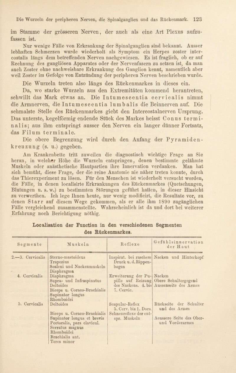 im Stamme der grösseren Nerven, der auch als eine Art Plexus aufzu¬ fassen ist. Nur wenige Fälle von Erkrankung der Spinalganglien sind bekannt. Ausser lebhaften Schmerzen wurde wiederholt als Symptom ein Herpes zoster inter- costalis längs dem betreffenden Nerven nachgewiesen. Es ist fraglich, ob er auf Rechnung des gangliösen Apparates oder der Nervenfasern zu setzen ist, da man auch Zoster ohne nachweisbare Erkrankung des Ganglion kennt, namentlich aber weil Zoster im Gefolge von Entzündung der peripheren Nerven beschrieben wurde. Die Wurzeln treten also längs des Rückenmarkes in dieses ein. Da, wo starke Wurzeln aus den Extremitäten kommend herantreten, schwillt das Mark etwas an. Die Intumescentia cervicalis nimmt die Armnerven, die Intumescentia lumbalis die Beinnerven auf. Die schmälste Stelle des Rückenmarkes giebt den Intercostalnerven Ursprung. Das unterste, kegelförmig endende Stück des Markes heisst Conus termi¬ nal i s; aus ihm entspringt ausser den Nerven ein langer dünner Fortsatz, das Filum terminale. Die obere Begrenzung wird durch den Anfang der Pyramiden¬ kreuzung (s. u.) gegeben. Am Krankenbette tritt zuweilen die diagnostisch wichtige Frage an Sie heran, in welcher Höhe die Wurzeln entspringen, denen bestimmte gelähmte Muskeln oder anästhetische Hautpartien ihre Innervation verdanken. Man hat sich bemüht, diese Frage, der die reine Anatomie nie näher treten konnte, durch das Thier exp eriment zu lösen. Für den Menschen ist wiederholt versucht worden, die Fälle, in denen localisirte Erkrankungen des Rückenmarkes (Quetschungen, Blutungen u. s. w.) zu bestimmten Störungen geführt hatten, in dieser Hinsicht zu verwerthen. Ich lege Ihnen heute, nur wenig modificirt, die Resultate vor, zu denen Starr auf diesem Wege gekommen, als er alle ihm 1890 zugänglichen Fälle vergleichend zusammenstellte. Wahrscheinlich ist da und dort bei weiterer Erfahrung noch Berichtigung nöthig. Localisation der Function in den verschiedenen Segmenten des Rückenmarkes. Segm ente Muskeln Reflexe Gefühlsinnervation der Haut 2.—3. Cervicalis Sterno-mastoideus Trapezius Scaleni und Nackenmuskeln Diaphragma Inspirat, bei raschem Druck u. d. Rippen¬ bogen Nacken und Hinterkopf 4. Cervicalis Diaphragma Supra- und Infraspinatus Deltoides Biceps u. Coraco-Brachialis Supinator longüs Rhomboidei Erweiterung der Pu¬ pille auf Reizung des Nackens. 4. bis 7. Cervic. Nacken Obere Schultergegend Aussenseite des Armes 5. Cervicalis Deltoides Biceps u. Coraco-Brachialis Supinator longus et brevis Pectoralis, pars clavicul. Serratus magnus Rhomboidei Brachialis ant. Teres minor Scapular-Reflex 5. Cerv. bis 1. Dors. Sehnenreflexe der ent- spr. Muskeln Rückseite der Schulter und des Armes Aeussere Seite des Ober¬ und Vorderarmes