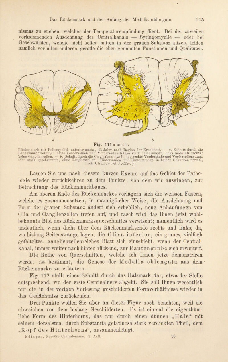 nismus zu suchen, welcher der Temperaturempfindung dient. Bei der zuweilen vorkommenden Ausdehnung des Centralkanals — Syringomyelie — oder bei Geschwülsten, welche nicht selten mitten in der grauen Substanz sitzen, leiden nämlich vor allen anderen gerade die eben genannten Functionen und Qualitäten. Rückenmark mit Poliomyelitis anterior acuta, 43 Jahre nach Beginn der Krankheit. — a. Schnitt durch die Lendenanschwellung; beide Vordersäulen und Vorderseitenstränge stark geschrumpft, links mehr als rechts; keine Ganglienzellen. — b. Schnitt durch die Cervicalanschwellung; rechte Vordersäule und Vorderseitenstrang sehr stark geschrumpft, ohne Ganglienzellen. Hintersäulen und Hinterstränge in beiden Schnitten normal, nach Charcot et Joffroy. Lassen Sie uns nach diesem kurzen Excurs auf das Gebiet der Patho¬ logie wieder zurückkehren zu dem Punkte, von dem wir ausgingen, zur Betrachtung des Rückenmarkbaues. Am oberen Ende des Rückenmarkes verlagern sich die weissen Fasern, welche es zusammensetzen, in mannigfacher Weise, die Ausdehnung und Form der grauen Substanz ändert sich erheblich, neue Anhäufungen von Glia und Ganglienzellen treten auf, und rasch wird das Ihnen jetzt wohl- bekannte Bild des Rückenmarksquerschnittes verwischt; namentlich wird es undeutlich, wenn dicht über dem Rückenmarksende rechts und links, da, wo bislang Seitenstränge lagen, die Oliva inferior, ein graues, vielfach gefälteltes, ganglienzellenreiches Blatt sich einschiebt, wenn der Central¬ kanal, immer weiter nach hinten rückend, zur Rauten grübe sich erweitert. Die Reihe von Querschnitten, welche ich Ihnen jetzt demonstriren werde, ist bestimmt, die Genese der Medulla oblongata aus dem Rückenmarke zu erläutern. Fig. 112 stellt einen Schnitt durch das Halsmark dar, etwa der Stelle entsprechend, wo der erste Cervicalnerv abgeht. Sie soll Ihnen wesentlich nur die in der vorigen Vorlesung geschilderten Formverhältnisse wieder in das Gedächtniss zurückrufen. Drei Punkte wollen Sie aber an dieser Figur noch beachten, weil sie abweichen von dem bislang Geschilderten. Es ist einmal die eigenthüm- liche Form des Hinterhorns, das nur durch einen dünnen „Hals“ mit seinem dorsalsten, durch Substantia gelatinosa stark verdickten Theil, dem „Kopf des Hinterhorns“, zusammenhängt. Edinger, Nervöse Centralorgane. 3. Aufl. 10