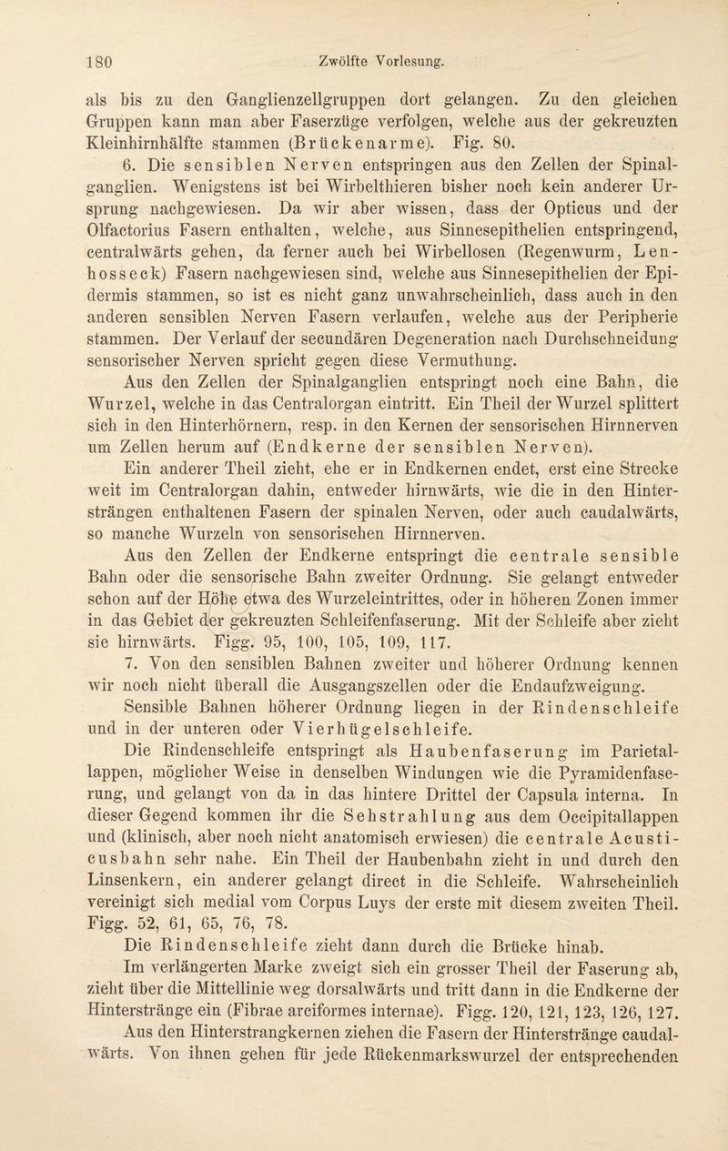 als bis zu den Ganglienzellgruppen dort gelangen. Zu den gleichen Gruppen kann man aber Faserzüge verfolgen, welche aus der gekreuzten Kleinhirnhälfte stammen (Brückenarme). Fig. 80. 6. Die sensiblen Nerven entspringen aus den Zellen der Spinal¬ ganglien. Wenigstens ist bei Wirbelthieren bisher noch kein anderer Ur¬ sprung nachgewiesen. Da wir aber wissen, dass der Opticus und der Olfactorius Fasern enthalten, welche, aus Sinnesepithelien entspringend, centralwärts gehen, da ferner auch bei Wirbellosen (Regenwurm, Len- hosseck) Fasern nachgewiesen sind, welche aus Sinnesepithelien der Epi¬ dermis stammen, so ist es nicht ganz unwahrscheinlich, dass auch in den anderen sensiblen Nerven Fasern verlaufen, welche aus der Peripherie stammen. Der Verlauf der secundären Degeneration nach Durchschneidung sensorischer Nerven spricht gegen diese Vermuthung. Aus den Zellen der Spinalganglien entspringt noch eine Bahn, die Wurzel, welche in das Centralorgan eintritt. Ein Theil der Wurzel splittert sich in den Hinterhörnern, resp. in den Kernen der sensorischen Hirnnerven um Zellen herum auf (Endkerne der sensiblen Nerven). Ein anderer Theil zieht, ehe er in Endkernen endet, erst eine Strecke weit im Centralorgan dahin, entweder hirnwärts, wie die in den Hinter¬ strängen enthaltenen Fasern der spinalen Nerven, oder auch caudalwärts, so manche Wurzeln von sensorischen Hirnnerven. Aus den Zellen der Endkerne entspringt die centrale sensible Bahn oder die sensorische Bahn zweiter Ordnung. Sie gelangt entweder schon auf der Hükp etwa des Wurzeleintrittes, oder in höheren Zonen immer in das Gebiet djer gekreuzten Schleifenfaserung. Mit der Schleife aber zieht sie hirnwärts. Figg. 95, 100, 105, 109, 117. 7. Von den sensiblen Bahnen zweiter und höherer Ordnung kennen wir noch nicht überall die Ausgangszeilen oder die Endaufzweigung. Sensible Bahnen höherer Ordnung liegen in der Rindenschleife und in der unteren oder Vierhügelschleife. Die Rindenschleife entspringt als Haubenfaserung im Parietal¬ lappen, möglicher Weise in denselben Windungen wie die Pyramidenfase¬ rung, und gelangt von da in das hintere Drittel der Capsula interna. In dieser Gegend kommen ihr die SehStrahlung aus dem Occipitallappen und (klinisch, aber noch nicht anatomisch erwiesen) die centrale Acusti- cusbahn sehr nahe. Ein Theil der Haubenbahn zieht in und durch den Linsenkern, ein anderer gelangt direct in die Schleife. Wahrscheinlich vereinigt sich medial vom Corpus Luys der erste mit diesem zweiten Theil. Figg. 52, 61, 65, 76, 78. Die Rindenschleife zieht dann durch die Brücke hinab. Im verlängerten Marke zweigt sich ein grosser Theil der Faserung ab, zieht über die Mittellinie weg dorsalwärts und tritt dann in die Endkerne der Hinterstränge ein (Fibrae arciformes internae). Figg. 120, 121, 123, 126, 127. Aus den Hinterstrangkernen ziehen die Fasern der Hinterstränge caudal¬ wärts. Von ihnen gehen für jede Rückenmarkswurzel der entsprechenden