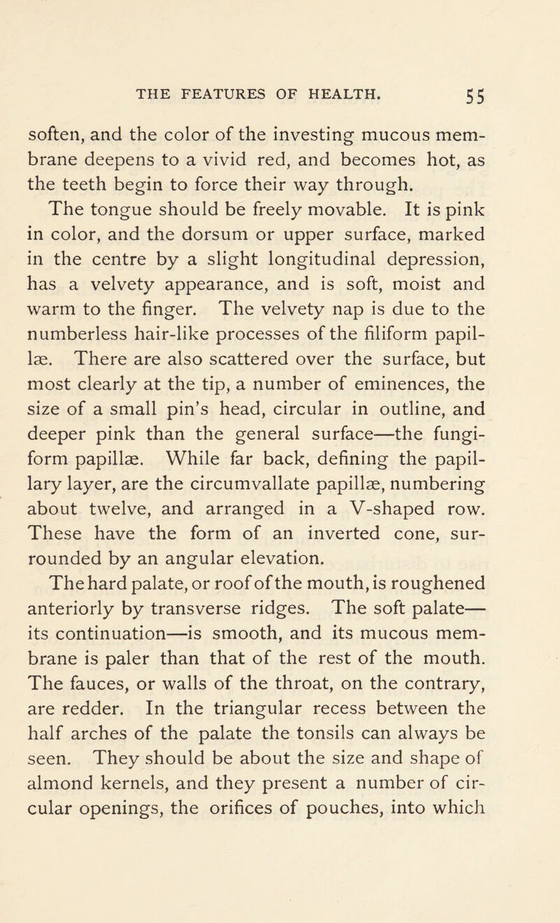 soften, and the color of the investing mucous mem¬ brane deepens to a vivid red, and becomes hot, as the teeth begin to force their way through. The tongue should be freely movable. It is pink in color, and the dorsum or upper surface, marked in the centre by a slight longitudinal depression, has a velvety appearance, and is soft, moist and warm to the finger. The velvety nap is due to the numberless hair-like processes of the filiform papil¬ lae. There are also scattered over the surface, but most clearly at the tip, a number of eminences, the size of a small pin’s head, circular in outline, and deeper pink than the general surface—the fungi¬ form papillae. While far back, defining the papil¬ lary layer, are the circumvallate papillae, numbering about twelve, and arranged in a V-shaped row. These have the form of an inverted cone, sur¬ rounded by an angular elevation. The hard palate, or roof of the mouth, is roughened anteriorly by transverse ridges. The soft palate— its continuation—is smooth, and its mucous mem¬ brane is paler than that of the rest of the mouth. The fauces, or walls of the throat, on the contrary, are redder. In the triangular recess between the half arches of the palate the tonsils can always be seen. They should be about the size and shape of almond kernels, and they present a number of cir¬ cular openings, the orifices of pouches, into which