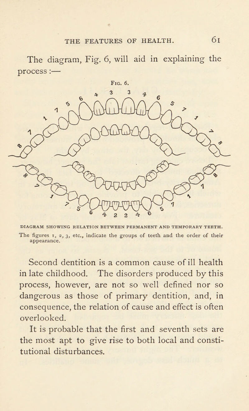 The diagram, Fig. 6, will aid in explaining the process:— Fig. 6. DIAGRAM SHOWING RELATION BETWEEN PERMANENT AND TEMPORARY TEETH. The figures i, 2, 3, etc., indicate the groups of teeth and the order of their appearance. Second dentition is a common cause of ill health in late childhood. The disorders produced by this process, however, are not so well defined nor so dangerous as those of primary dentition, and, in consequence, the relation of cause and effect is often overlooked. It is probable that the first and seventh sets are the most apt to give rise to both local and consti¬ tutional disturbances.