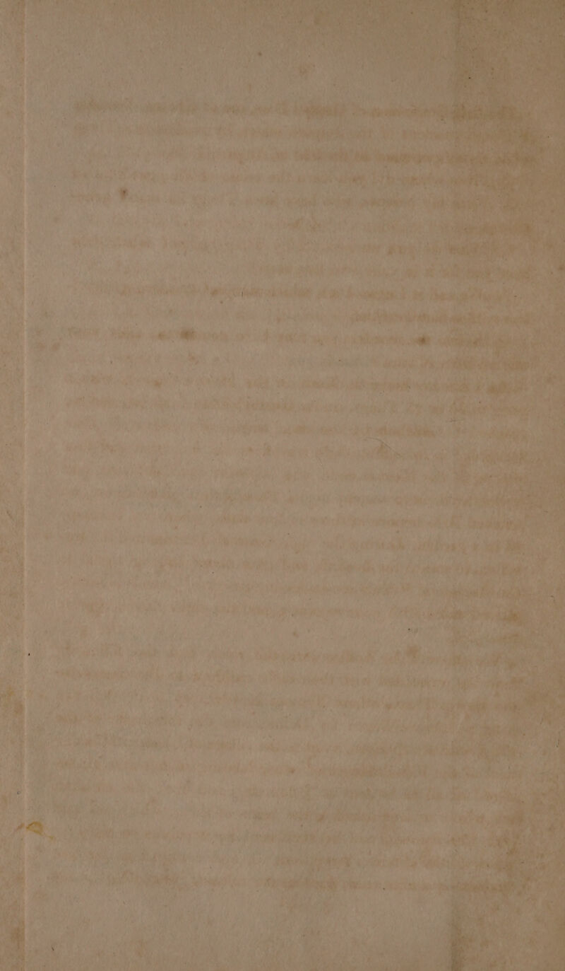 He wre J ; , . } Lai ea ae Ae ae ee adh vie a Ng Pf . Tu ; betas ve Pi i ein SEN = Cises vebaien we ey he Mal a Lua hei 45) WN iy i Hien ei iin vietonees wh Pee: Mae Fel. Sigh a prays &; ‘a senior nine pe se CRE Bs 4 be a pepiaceeh ¥ | a Me SR, Te Me if inaiaioeli oor eRe ee Ms Bee eS ne oll ai wi Sholay cna hat fi a) iat 4 oats ep a Obs ek ‘ey. ik Me SY Si att RN aed} ta pI Sige Phra Bets.) -, Saya 3 vyich Ki eh phaeta lg tg puis eid sats x eget, 7 ® <div a pel ts Pe et ‘ad Syst ibe. tty hae eh wes bins base cei Pe Ac hans ‘3 f