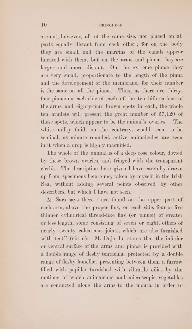 are not, however, all of the same size, nor placed on all parts equally distant from each other; for on the body they are small, and the margins of the canals appear lineated with them, but on the arms and pinne they are larger and more distant. On the extreme pinne they are very small, proportionate to the length of the pinna and the developement of the membrane, for their number is the same on all the pmne. Thus, as there are thirty- four pinne on each side of each of the ten bifurcations of the arms, and eighty-four brown spots in each, the whole ten armlets will present the great number of 57,120 of these spots, which appear to be the animal’s ovaries. The white milky fluid, on the contrary, would seem to be seminal, as minute rounded, active animalcules are seen in it when a drop is highly magnified. The whole of the animal is of a deep rose colour, dotted by these brown ovaries, and fringed with the transparent cirrhi. The description here given I have carefully drawn up from specimens before me, taken by myself in the Trish Sea, without adding several points observed by other describers, but which I have not seen. M. Sars says there “are found on the upper part of each arm, above the proper fins, on each side, four or five thinner cylindrical thread-like fins (or pimne) of greater or less length, some consisting of seven or eight, others of nearly twenty calcareous joints, which are also furnished with feet” (cirrhi). M. Dujardin states that the inferior or ventral surface of the arms and pinne is provided with a double range of fleshy tentacula, protected by a double range of fleshy lamellz, presenting between them a furrow filled with papille furnished with vibratile cilia, by the motions of which animalcule and microscopic vegetables are conducted along the arms to the mouth, in order to