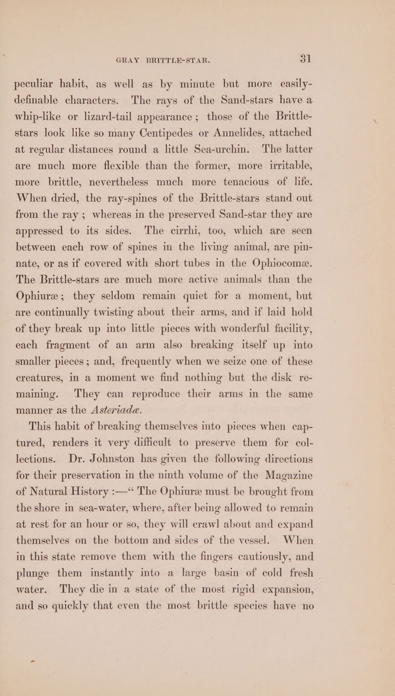 peculiar habit, as well as by minute but more easily- _ definable characters. The rays of the Sand-stars have a whip-like or lizard-tail appearance ; those of the Brittle- stars look like so many Centipedes or Annelides, attached at regular distances round a little Sea-urchin. The latter are much more flexible than the former, more irritable, more brittle, nevertheless much more tenacious of life. When dried, the ray-spines of the Brittle-stars stand out from the ray ; whereas in the preserved Sand-star they are appressed to its sides. The cirrhi, too, which are seen between each row of spines in the living animal, are pin- nate, or as if covered with short tubes in the Ophiocome. The Brittle-stars are much more active animals than the Ophiure ; they seldom remain quiet for a moment, but are continually twisting about their arms, and if laid hold of they break up into little pieces with wonderful facility, each fragment of an arm also breaking itself up into smaller pieces; and, frequently when we seize one of these creatures, in a moment we find nothing but the disk re- maining. They can reproduce their arms in the same manner as the Asteriade. This habit of breaking themselves into pieces when cap- tured, renders it very difficult to preserve them for col- lections. Dr. Johnston has given the following directions for their preservation in the ninth volume of the Magazine of Natural History :—‘“ The Ophiure must be brought from the shore in sea-water, where, after being allowed to remain at rest for an hour or so, they will crawl about and expand themselves on the bottom and sides of the vessel. When in this state remove them with the fingers cautiously, and plunge them instantly into a large basin of cold fresh water. They die in a state of the most rigid expansion, and so quickly that even the most brittle species have no