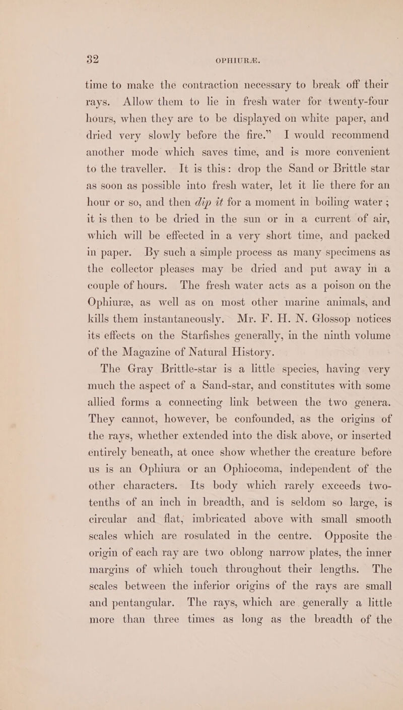 time to make the contraction necessary to break off their rays. Allow them to lie in fresh water for twenty-four hours, when they are to be displayed on white paper, and dried very slowly before the fire.” I would recommend another mode which saves time, and is more convenient to the traveller. It is this: drop the Sand or Brittle star as soon as possible into fresh water, let it lie there for an hour or so, and then dip it for a moment in boiling water ; it is then to be dried in the sun or in a current of air, which will be effected in a very short time, and packed in paper. By such a simple process as many specimens as the collector pleases may be dried and put away in a couple of hours. The fresh water acts as a poison on the Ophiuree, as well as on most other marine animals, and kills them instantaneously. Mr. F. H. N. Glossop notices its effects on the Starfishes generally, in the ninth volume of the Magazine of Natural History. The Gray Brittle-star is a little species, having very much the aspect of a Sand-star, and constitutes with some allied forms a connecting lnk between the two genera. They cannot, however, be confounded, as the origins of the rays, whether extended into the disk above, or inserted entirely beneath, at once show whether the creature before us is an Ophiura or an Ophiocoma, independent of the other. characters. Its body which rarely exceeds two- tenths of an inch in breadth, and is seldom so large, is circular and flat, imbricated above with small smooth scales which are rosulated in the centre. Opposite the origin of each ray are two oblong narrow plates, the inner margins of which touch throughout their lengths. The scales between the inferior origins of the rays are small and pentangular. The rays, which are generally a little more than three times as long as the breadth of the