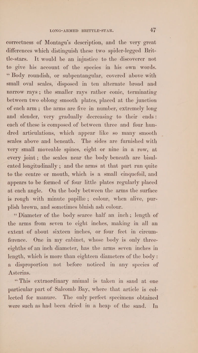 correctness of Montagu’s description, and the very great differences which distinguish these two spider-legged Brit- tle-stars. It would be an injustice to the discoverer not to give his account of the species in his own words. ‘“‘ Body roundish, or subpentangular, covered above with small oval scales, disposed in ten alternate broad and narrow rays; the smaller rays rather conic, terminating between two oblong smooth plates, placed at the junction of each arm ; the arms are five in number, extremely long and slender, very gradually decreasing to their ends: each of these is composed of between three and four hun- dred articulations, which appear like so many smooth scales above and beneath. The sides are furnished with very small moveable spines, eight or nine in a row, at every joint; the scales near the body beneath are bisul- cated longitudinally ; and the arms at that part run quite to the centre or mouth, which is a small cinquefoil, and appears to be formed of four little plates regularly placed at each angle. On the body between the arms the surface is rough with minute papille; colour, when alive, pur- plish brown, and sometimes bluish ash colour. ‘‘ Diameter of the body scarce half an inch; length of the arms from seven to eight imches, making in all an extent of about sixteen inches, or four feet in circum- ference. One in my cabinet, whose body is only three- eighths of an inch diameter, has the arms seven inches in length, which is more than eighteen diameters of the body : a disproportion not before noticed in any species of Asterias. “This extraordinary animal is taken in sand at one particular part of Salcomb Bay, where that article is col- Jected for manure. The only perfect specimens obtained were such as had been dried in a heap of the sand. In