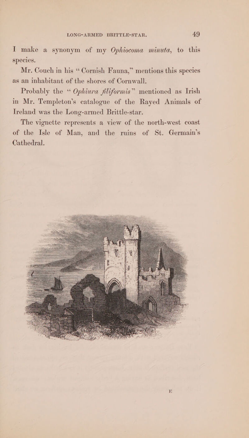 I make a synonym of my Ophiocoma minuta, to this species. Mr. Couch in his “ Cornish Fauna,” mentions this species as an inhabitant of the shores of Cornwall. Probably the “ Ophiura filiformis” mentioned as Irish in Mr. Templeton’s catalogue of the Rayed Animals of Ireland was the Long-armed Brittle-star. The vignette represents a view of the north-west coast of the Isle of Man, and the ruins of St. Germain’s Cathedral.