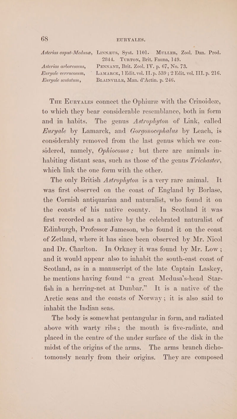 Asterias caput-Meduse, LinNmwus, Syst. 1101. Muir, Zool. Dan. Prod. 2844. Turton, Brit. Fauna, 149. Asterias arborescens, PENNANT, Brit. Zool. IV. p. 67, No. 73. Euryale verrucosum, © LAMARCK, | Edit. vol. II.p. 539 ; 2 Edit. vol. III. p. 216. Euryale scutatum, BLAINVILLE, Man. d’Actin. p. 246. Tue Evryates connect the Ophiure with the Crinoidez, to which they bear considerable resemblance, both in form and in habits. The genus Asfrophyton of Link, called Euryale by Lamarck, and Gorgonocephalus by Leach, is considerably removed from the last genus which we con- sidered, namely, Ophiocoma; but there are animals in- habiting distant seas, such as those of the genus 7richaster, which link the one form with the other. The only British Astrophyton is a very rare animal. It was first observed on the coast of England by Borlase, the Cornish antiquarian and naturalist, who found it on the coasts of his native county. In Scotland it was first recorded as a native by the celebrated naturalist of Edinburgh, Professor Jameson, who found it on the coast of Zetland, where it has since been observed by Mr. Nicol and Dr. Charlton. In Orkney it was found by Mr. Low ; and it would appear also to inhabit the south-east coast of Scotland, as in a manuscript of the late Captain Laskey, he mentions having found “a great Medusa’s-head Star- fish in a herring-net at Dunbar.” It is a native of the Arctic seas and the coasts of Norway; it is also said to inhabit the Indian seas. The body is somewhat pentangular in form, and radiated above with warty ribs; the mouth is five-radiate, and placed im the centre of the under surface of the disk in the midst of the origins of the arms. The arms branch dicho- tomously nearly from their origis. They are composed