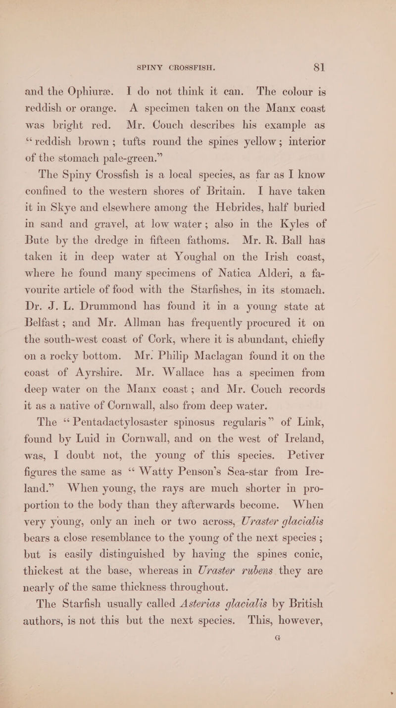 and the Ophiure. I do not think it can. The colour is reddish or orange. A specimen taken on the Manx coast was bright red. Mr. Couch describes his example as ‘“‘yeddish brown; tufts round the spines yellow; interior of the stomach pale-green.” The Spiny Crossfish is a local species, as far as I know confined to the western shores of Britain. I have taken it in Skye and elsewhere among the Hebrides, half buried in sand and gravel, at low water; also in the Kyles of Bute by the dredge in fifteen fathoms. Mr. R. Ball has taken it m deep water at Youghal on the Irish coast, where he found many specimens of Natica Alderi, a fa- vourite article of food with the Starfishes, in its stomach. Dr. J. L. Drummond has found it in a young state at Belfast ; and Mr. Allman has frequently procured it on the south-west coast of Cork, where it is abundant, chiefly on a rocky bottom. Mr. Philip Maclagan found it on the coast of Ayrshire. Mr. Wallace has a specimen from deep water on the Manx coast; and Mr. Couch records it as a native of Cornwall, also from deep water. The ‘* Pentadactylosaster spmosus regularis” of Link, found by Luid in Cornwall, and on the west of Ireland, was, I doubt not, the young of this species. Petiver figures the same as ‘‘ Watty Penson’s Sea-star from Ire- land.” When young, the rays are much shorter in pro- portion to the body than they afterwards become. When very young, only an inch or two across, Uraster glacialis bears a close resemblance to the young of the next species ; but is easily distinguished by havimg the spines conic, thickest at the base, whereas in Uraster rubens they are nearly of the same thickness throughout. The Starfish usually called Asterias glacialis by British authors, is not this but the next species. This, however, G