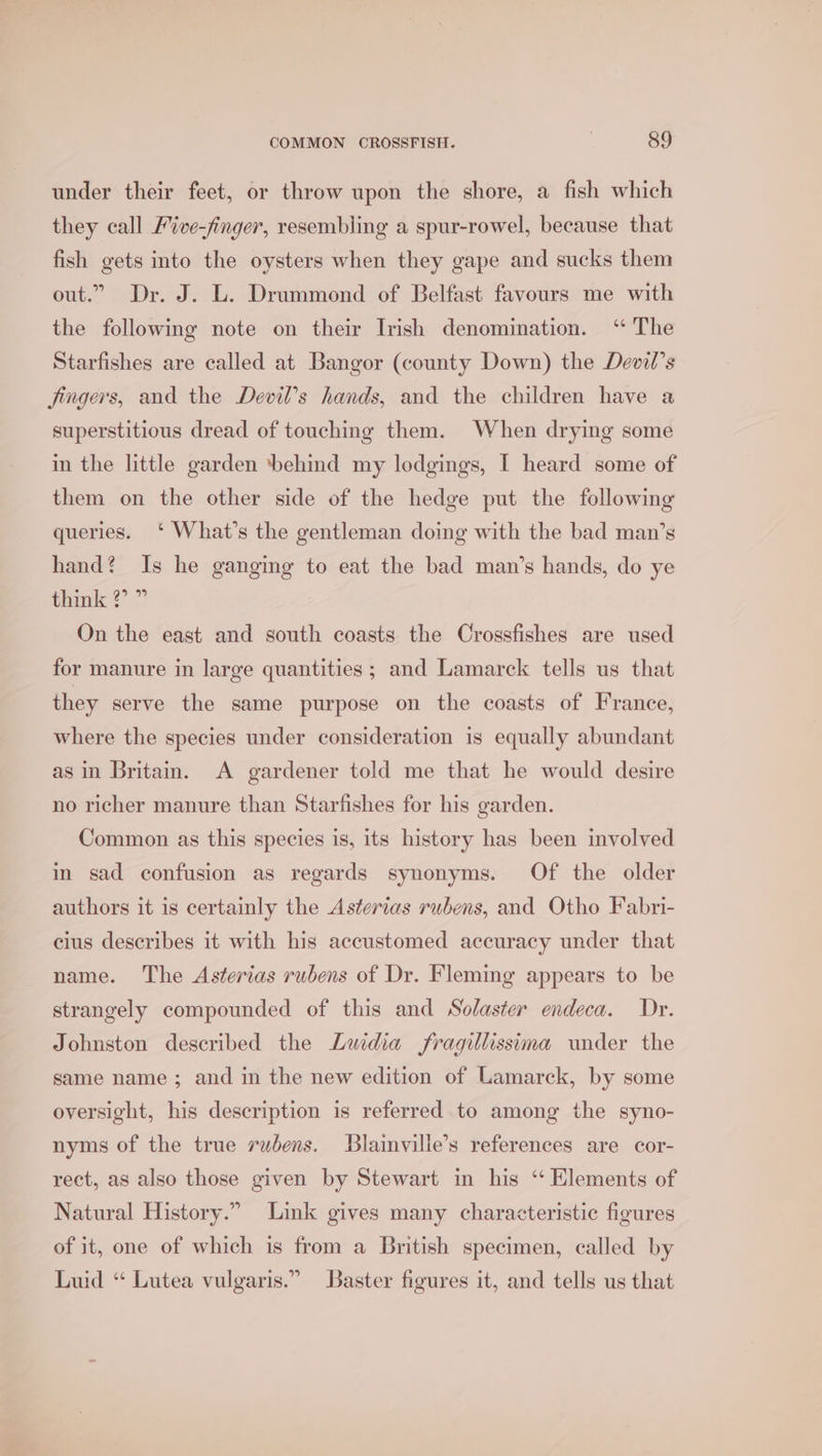 under their feet, or throw upon the shore, a fish which they call Five-finger, resembling a spur-rowel, because that fish gets into the oysters when they gape and sucks them out.” Dr. J. L. Drummond of Belfast favours me with the following note on their Irish denomination. “ The Starfishes are called at Bangor (county Down) the Devil’s jingers, and the Devil’s hands, and the children have a superstitious dread of touching them. When drying some in the little garden ‘behind my lodgings, I heard some of them on the other side of the hedge put the following queries. ‘ What’s the gentleman doing with the bad man’s hand? Is he ganging to eat the bad man’s hands, do ye think 2”) On the east and south coasts the Crossfishes are used for manure in large quantities ; and Lamarck tells us that they serve the same purpose on the coasts of France, where the species under consideration is equally abundant as in Britam. A gardener told me that he would desire no richer manure than Starfishes for his garden. Common as this species is, its history has been involved in sad confusion as regards synonyms. Of the older authors it is certainly the Asterias rubens, and Otho Fabri- cius describes it with his accustomed accuracy under that name. The Asterias rubens of Dr. Fleming appears to be strangely compounded of this and Solaster endeca. Dr. Johnston described the Lwdia fragillissima under the same name ; and in the new edition of Lamarck, by some oversight, his description is referred to among the syno- nyms of the true rubens. Blainville’s references are cor- rect, as also those given by Stewart in his ‘“‘ Elements of Natural History.” Link gives many characteristic figures of it, one of which is from a British specimen, called by Luid “ Lutea vulgaris.” Baster figures it, and tells us that