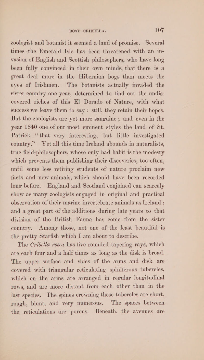 zoologist and botanist it seemed a land of promise. Several times the Emerald Isle has been threatened with an in- vasion of English and Scottish philosophers, who have long been fully convinced in their own minds, that there is a great deal more in the Hibernian bogs than meets the eyes of Irishmen. The botanists actually imvaded the sister country one year, determined to find out the undis- covered riches of this El Dorado of Nature, with what success we leave them to say: still, they retain their hopes. But the zoologists are yet more sanguine ; and even in the year 1840 one of our most eminent styles the land of St. Patrick “that very interesting, but little investigated country.” Yet all this time Ireland abounds in naturalists, true field-philosophers, whose only bad habit is the modesty which prevents them publishing their discoveries, too often, until some less retiring students of nature proclaim new facts and new animals, which should have been recorded long before. England and Scotland conjoined can scarcely show as many zoologists engaged in origmal and practical observation of their marine invertebrate animals as Ireland ; and a great part of the additions during late years to that division of the British Fauna has come from the sister country. Among those, not one of the least beautiful is the pretty Starfish which I am about to describe. The Cribella rosea has five rounded tapering rays, which are each four and a half times as long as the disk is broad. The upper surface and sides of the arms and disk are covered with triangular reticulating spiniferous tubercles, which on the arms are arranged in regular longitudinal rows, and are more distant from each other than in the last species. The spines crowning these tubercles are short, rough, blunt, and very numerous. The spaces between the reticulations are porous. Beneath, the avenues are