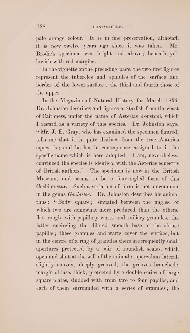 pale orange colour. It is in fine preservation, although it is now twelve years ago since it was taken. Mr. Brodie’s specimen was bright red above; beneath, yel- lowish with red margins. In the vignette on the preceding page, the two first figures represent the tubercles and spinules of the surface and border of the lower surface ; the third and fourth those of the upper. In the Magazine of Natural History for March 1836, Dr. Johnston describes and figures a Starfish from the coast of Caithness, under the name of Asterias Jonstoni, which I regard as a variety of this species. Dr. Johnston says, “Mr. J. E. Gray, who has examined the specimen figured, tells me that it is quite distinct from the true Asterias equestris ; and he has in consequence assigned to it the specific name which is here adopted. I am, nevertheless, convinced the species is identical with the Asterias equestris of British authors.” The specimen is now in the British Museum, and seems to be a four-angled form of this Cushion-star. Such a variation of form is not uncommon in the genus Goniaster. Dr. Johnston describes his animal thus: ‘‘ Body square; sinuated between the angles, of which two are somewhat more produced than the others, flat, rough, with papillary warts and miliary granules, the latter encircling the dilated smooth base of the obtuse papille ; these granules and warts cover the surface, but in the centre of a ring of granules there are frequently small apertures protected by a pair of roundish scales, which open and shut at the will of the animal ; operculum lateral, slightly convex, deeply grooved, the grooves branched ; margin obtuse, thick, protected by a double series of large square plates, studded with from two to four papille, and each of them surrounded with a series of granules; the