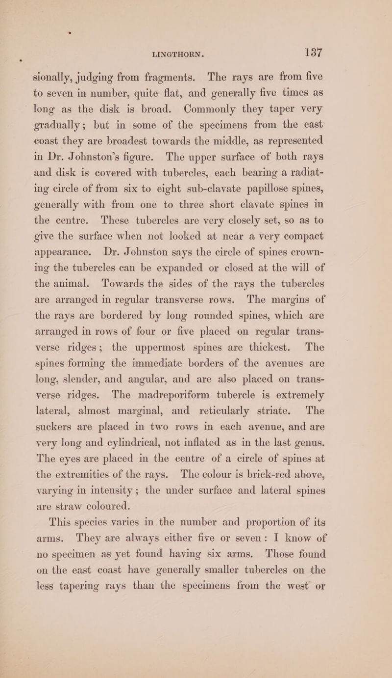 sionally, judging from fragments. The rays are from five to seven in number, quite flat, and generally five times as long as the disk is broad. Commonly they taper very gradually ; but in some of the specimens from the east coast they are broadest towards the middle, as represented in Dr. Johnston’s figure. The upper surface of both rays and disk is covered with tubercles, each bearing a radiat- ing circle of from six to eight sub-clavate papillose spines, generally with from one to three short clavate spines in the centre. These tubercles are very closely set, so as to give the surface when not looked at near a very compact appearance. Dr. Johnston says the circle of spines crown- ing the tubercles can be expanded or closed at the will of the animal. ‘Towards the sides of the rays the tubercles are arranged in regular transverse rows. The margins of the rays are bordered by long rounded spines, which are arranged in rows of four or five placed on regular trans- verse ridges; the uppermost spines are thickest. The spines forming the immediate borders of the avenues are long, slender, and angular, and are also placed on trans- verse ridges. The madreporiform tubercle is extremely lateral, almost marginal, and reticularly striate. The suckers are placed in two rows in each avenue, and are very long and cylindrical, not inflated as in the last genus. The eyes are placed in the centre of a circle of spines at the extremities of the rays. The colour is brick-red above, varying in intensity; the under surface and lateral spines are straw coloured. This species varies in the number and proportion of its arms. They are always either five or seven: I know of no specimen as yet found having six arms. Those found on the east coast have generally smaller tubercles on the less tapermg rays than the specimens from the west or